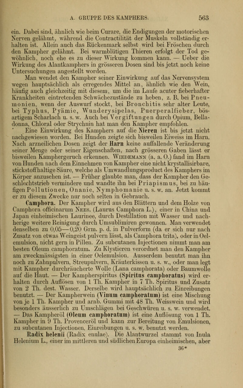 ein. Dabei sind, ähnlich wie beim Curare, die Endigungen der motorischen Nerven gelähmt, während die Contractilität der Muskeln vollständig er- halten ist. Allein auch das Rückenmark selbst wird bei Fröschen durch den Kampher gelähmt. Bei warmblütigen Thieren erfolgt der Tod ge- wöhnlich, noch ehe es zu dieser Wirkung kommen kann. — lieber die Wirkung des Alantkamphers in grösseren Dosen sind bis jetzt, noch keine Untersuchungen angestellt worden. Man wendet den Kampher seiner Einwirkung auf das Nervensystem wegen hauptsächlich als erregendes Mittel an, ähnlich wie den Wein, häufig auch gleichzeitig mit diesem, um die im Laufe acuter fieberhafter Krankheiten eintretenden Schwächezustände zu heben, z. B. bei Pneu- monien, wenn der Auswurf stockt, bei Bronchitis sehr alter Leute, bei Typhus, Pyämie, Wunderysipelas, Puerperalfieber, bös- artigem Scharlach u. s. w. Auch bei Vergiftungen durch Opium, Bella- donna, Chloral oder Strychnin hat man den Kampher empfohlen. Eine Einwirkung des Kamphers auf die Nieren ist bis jetzt nicht nachgewiesen worden. Bei Hunden zeigte sich bisweilen Eiweiss im Harn. Nach arzneilichen Dosen zeigt der Harn keine auffallende Veränderung seiner Menge oder seiner Eigenschaften, nach grösseren Gaben lässt er bisweilen Kamphergeruch erkennen. Wiedemann (a. a. 0.) fand im Harn von Hunden nach dem Einnehmen von Kampher eine nicht krystallisirbare, stickstoffhaltige Säure, welche als Umwandlungsproduct des Kamphers im Körper anzusehen ist. — Früher glaubte man, dass der Kampher den Ge- schlechtstrieb vermindere und wandte ihn bei Priapismus, bei zu häu- figen Pollutionen, Onanie, Nymphomanie u. s.w. an. Jetzt kommt er zu diesem Zwecke nur noch selten in Gebrauch. Campliora. Der Kampher wird aus den Blättern und dem Holze von Camphora officinarum Nees. (Lauras Camphora L.), einer in China und Japan einheimischen Laurinee, durch Destillation mit Wasser und nach- herige weitere Reinigung durch Umsublimiren gewonnen. Man verwendet denselben zu 0,05—0,20 Grm. p. d. in Pulverform (da er sich nur nach Zusatz von etwas Weingeist pulvern lässt, als Camphora trita), oder inOel- emulsion, nicht gern in Pillen. Zu subcutanen Injectionen nimmt man am besten Oleum camphoratum. Zu Klystieren verordnet man den Kampher am zweckmässigsten in einer Oelemulsion. Ausserdem benutzt man ihn noch zu Zahnpulvern, Streupulvern, Kräuterkissen u. s. w., oder man legt mit Kampher durchräucherte Wolle (Lana camphorata) oder Baumwolle auf die Haut. — Der Kampherspiritus (Spiritus caniphoratus) wird er- halten durch Auflösen von 1 Th. Kampher in 7 Th. Spiritus und Zusatz von 2 Th. dest. Wasser. Derselbe wird hauptsächlich zu Einreibungen benutzt. — Der Kampherwein (Vinum camphoratum) ist eine Mischung von je 1 Th. Kampher und arab. Gummi mit 48 Th. Weisswein und wird besonders äusserlich zu Umschlägen bei Geschwüren u. s. w. verwendet. — Das Kampheröl (Oleum camphoratum) ist eine Auflösung von 1 Th. Kampher in 9 Th. Provenceröl und kann zur Bereitung von Emulsionen, zu subcutanen Injectionen, Einreibungen u. s. w. benutzt werden. Radix helenii (Radix enulae). Die Alantwurzel stammt von Inula Helenium L., einer im mittleren und südlichen Europa einheimischen, aber 36*