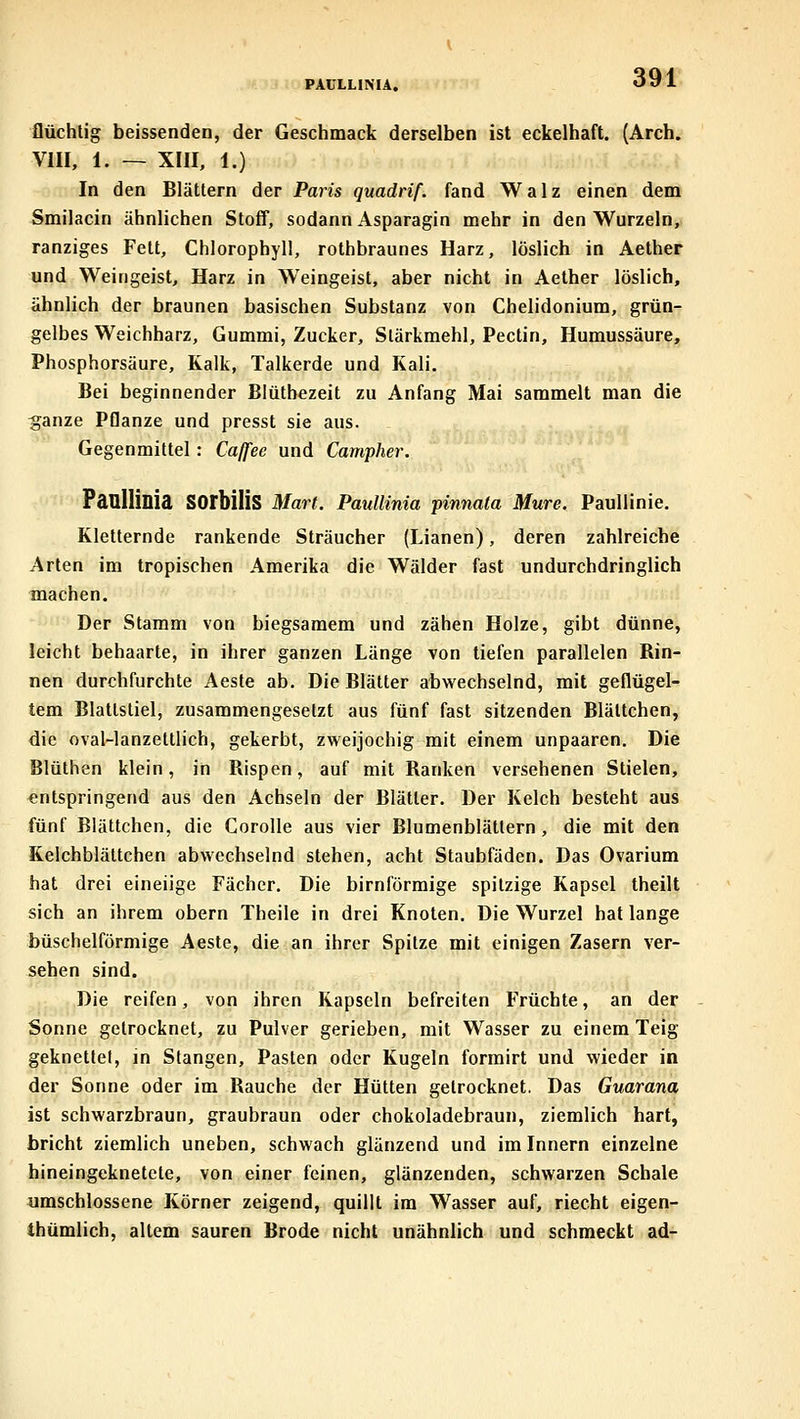 PAULLINU. flüchtig beissenden, der Geschmack derselben ist eckelhaft. (Arch. VIII, 1. ~ XIII, 1.) In den Blättern der Paris quadrif. fand Walz einen dem Smilacin ähnlichen Stoff, sodann Asparagin mehr in den Wurzeln, ranziges Fett, Chlorophyll, rothbraunes Harz, löslich in Aether und Weingeist, Harz in Weingeist, aber nicht in Aether löslich, ähnlich der braunen basischen Substanz von Chelidonium, grün- gelbes Weichharz, Gummi, Zucker, Slärkmehl, Pectin, Humussäure, Phosphorsäure, Kalk, Talkerde und Kali. Bei beginnender Biütbezeit zu Anfang Mai sammelt man die ^anze Pflanze und presst sie aus. Gegenmittel: Caffee und Campher, Panllinia SOrbiliS Man. PaulUma pinnata Mure. Paullinie. Kletternde rankende Sträucher (Lianen), deren zahlreiche Arten im tropischen Amerika die Wälder fast undurchdringlich machen. Der Stamm von biegsamem und zähen Holze, gibt dünne, leicht behaarte, in ihrer ganzen Länge von tiefen parallelen Rin- nen durchfurchte Aeste ab. Die Blätter abwechselnd, mit geflügel- tem Blattstiel, zusammengesetzt aus fünf fast sitzenden Blältchen, die oval-lanzettlich, gekerbt, zweijochig mit einem unpaaren. Die Blüthen klein, in Rispen, auf mit Ranken versehenen Stielen, entspringend aus den Achseln der Blätter. Der Kelch besteht aus fünf Blättchen, die Corolle aus vier Blumenblättern, die mit den Kelchblättchen abwechselnd stehen, acht Staubfäden. Das Ovarium hat drei eineiige Fächer. Die birnförmige spitzige Kapsel theilt sich an ihrem obern Theile in drei Knoten. Die Wurzel hat lange büschelförmige Aeste, die an ihrer Spitze mit einigen Zasern ver- sehen sind. Die reifen, von ihren Kapseln befreiten Früchte, an der Sonne getrocknet, zu Pulver gerieben, mit Wasser zu einem Teig geknetlel, in Stangen, Pasten oder Kugeln forrairt und wieder in der Sonne oder im Rauche der Hütten getrocknet. Das Guarana ist schwarzbraun, graubraun oder chokoladebraun, ziemlich hart, bricht ziemlich uneben, schwach glänzend und im Innern einzelne hineingeknetete, von einer feinen, glänzenden, schwarzen Schale umschlossene Körner zeigend, quillt im Wasser auf, riecht eigen- ihümlich, altem sauren Brode nicht unähnlich und schmeckt ad-