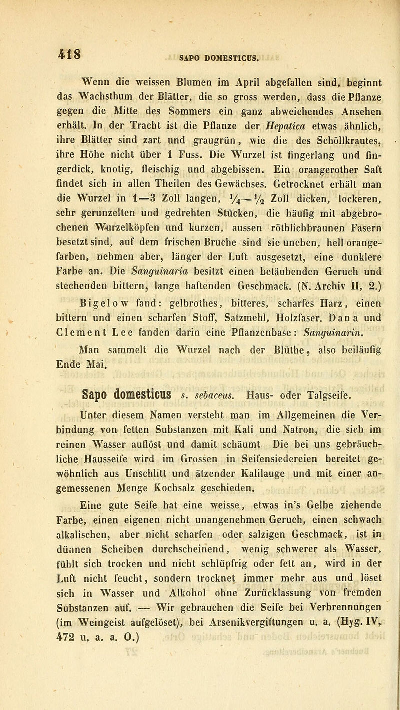 SAPO DOMESTICÜS. Wenn die weissen Blumen im April abgefallen sind, beginnt das Wachslhum der Blätter, die so gross werden, dass die Pflanze gegen die Mitte des Sommers ein ganz abweichendes Ansehen erhält. In der Tracht ist die Pflanze der Hepalica etwas ähnlich, ihre Blätter sind zart und graugrün, wie die des Schöllkrautes, ihre Höhe nicht über 1 Fuss. Die Wurzel ist fingerlang und fin- gerdick, knotig, fleischig und abgebissen. Ein orangerother Saft findet sich in allen Theilen des Gewächses, Getrocknet erhält man die Wurzel in 1—3 Zoll langen, y^^—% Zoll dicken, lockeren, sehr gerunzelten und gedrehten Stücken, die häufig mit abgebro- chenen W4irzelköpfen und kurzen, aussen rölhiichbraunen Fasern besetzt sind, auf dem frischen Bruche sind sie uneben, hell orange- farben, nehmen aber, länger der Luft ausgesetzt, eine dunklere Farbe an. Die Sanguinaria besitzt einen betäubenden Geruch und stechenden bittern, lange haftenden Geschmack. (N, Archiv II, 2.) Bigelow fand: gelbrothes, bitteres, scharfes Harz, einen bittern und einen scharfen Stoff, Satzmehl, Holzfaser, Dana und Clement Lee fanden darin eine Pflanzenbase: Sanguinarin. Man sammelt die Wurzel nach der ßlüthe, also beiläufig Ende Mai. SapO domestiCUS s. sebaceus. Haus- oder Talgseife. Unter diesem Namen versieht man im Allgemeinen die Ver- bindung von fetten Substanzen mit Kali und Natron, die sich im reinen Wasser auflöst und damit schäumt Die bei uns gebräuch- liche Hausseife wird im Grossen in Seifensiedereien bereitet ge- wöhnlich aus ünschlitt und ätzender Kalilauge und mit einer an- gemessenen Menge Kochsalz geschieden. Eine gute Seife hat eine weisse, etwas in's Gelbe ziehende Farbe, einen eigenen nicht unangenehmen Geruch, einen schwach alkalischen, aber nicht scharfen oder salzigen Geschmack, ist in dünnen Scheiben durchscheinend, wenig schwerer als Wasser, fühlt sich trocken und nicht schlüpfrig oder fett an, wird in der Luft nicht feucht, sondern trocknet immer mehr aus und löset sich in Wasser und Alkohol ohne Zurücklassung von fremden Substanzen auf. — Wir gebrauchen die Seife bei Verbrennungen (im Weingeist aufgelöset), bei Arsenikvergiftungen u. a. (Hyg. IV, 472 u. a. a. 0.)