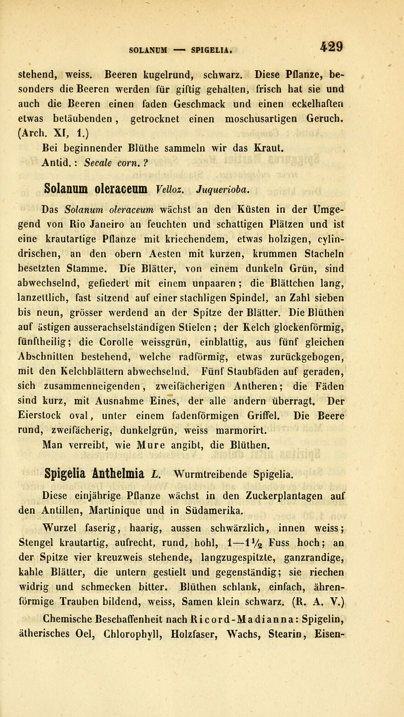 SOLANUM — SPIGELIA. stehend, weiss. Beeren kugelrund, schwarz. Diese Pflanze, be- sonders die Beeren werden für giftig gehalten, frisch hat sie und auch die Beeren einen faden Geschmack und einen eckelhaften etwas betäubenden, getrocknet einen moschusartigen Geruch. (Arch. XI, 1.) Bei beginnender Blüthe sammeln wir das Kraut. Antid.: Seeale com. ? Solanum oleracenm Veiioz. Juquerioba. Das Solanum oleraceum wächst an den Küsten in der Umge- gend von Rio Janeiro an feuchten und schattigen Plätzen und ist eine krautartige Pflanze mit kriechendem, etwas holzigen, cylin- drischen, an den obern Aesten mit kurzen, krummen Stacheln besetzten Stamme. Die Blätter, von einem dunkeln Grün, sind abwechselnd, gefiedert mit einem unpaaren; die Blättchen lang, lanzeltlich, fast sitzend auf einer stachligen Spindel, an Zahl sieben bis neun, grösser werdend an der Spitze der Blätter. Die Blüthen auf ästigen ausserachselständigen Stielen ; der Kelch glockenförmig, fünflheilig; die Corolle weissgrün, einblaltig, aus fünf gleichen Abschnitten bestehend, welche radförmig, etwas zurückgebogen, mit den Kelchblättern abwechselnd. Fünf Staubfäden auf geraden, sich zusammenneigenden, zweifächerigen Anlheren; die Fäden sind kurz, mit Ausnahme Eines, der alle andern überragt. Der Eierstock oval, unter einem fadenförmigen Griffel. Die Beere rund, zweifächerig, dunkelgrün, weiss marmorirt. Man verreibt, wie Mure angibt, die Blüthen, Spigelia Anthelmia L. Wurmtreibende Spigelia. Diese einjährige Pflanze wächst in den Zuckerplantagen auf den Antillen, Martinique und in Südamerika. Wurzel faserig, haarig, aussen schwärzlich, innen weiss; Stengel krautartig, aufrecht, rund, hohl, 1—l'/g Fuss hoch; an der Spitze vier kreuzweis stehende, langzugespitzte, ganzrandige, kahle Blätter, die untern gestielt und gegenständig; sie riechen widrig und schmecken bitter. Blüthen schlank, einfach, ähren- förmige Trauben bildend, weiss, Samen klein schwarz. (R. A. V.) Chemische Beschaffenheit nach Ricord-Madianna: Spigelin, ätherisches Oel, Chlorophyll, Holzfaser, Wachs, Stearin, Eisen-