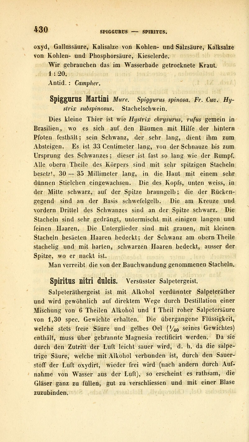 SPIGGÜRUS — SPIRITDS. oxyd, Gallussäure, Kalisalze von Kohlen- und Salzsäure, Kalksalae von Kohlen- und Phosphorsäure, Rieselerde. Wir gebrauchen das im Wasserbade getrocknete Kraut. 1 :20. Anlid. : Campher. SpiggUrUS Martini Mure. Spiggums spinosa. Fr. Cuv. Eij- slrix subspinosus. Stachelschwein. Dies kleine Thier ist wie Hystrix chrysurus, rufus gemein in Brasilien, wo es sich auf den Bäumen mit Hilfe der hintern Pfoten festhält; sein Schwanz, der sehr lang, dient ihm zum Absteigen. Es ist 33 Centimeter lang, von der Schnauze bis zum Ursprung des Schwanzes; dieser ist fast so lang wie der Rumpf. Alle obern Theile des Körpers sind mit sehr spitzigen Stacheln besetzt, 30 — 35 Millimeter lang, in die Haut mit einem sehr dünnen Stielchen eingewachsen. Die des Kopfs, unten weiss, in der Mitte schwarz, auf der Spitze braungelb; die der Rücken- gegend sind an der Basis schwefelgelb. Die am Kreuze und vordem Drittel des Schwanzes sind an der Spitze schwarz. Die Stacheln sind sehr gedrängt, untermischt mit einigen langen und feinen Haaren. Die Unterglieder sind mit grauen, mit kleinen Stacheln besäelen Haaren bedeckt; der Schwanz am obern Theile stachelig und mit harten, schwarzen Haaren bedeckt, ausser der Spitze, wo er nackt ist. Man verreibt die von der Bauchwandung genommenen Stacheln. Spiritus nitri dnlciS. Versüsster Salpetergeist. Salpelerälhergeist ist mit Alkohol verdünnter Salpeteräther und wird gewöhnlich auf direktem Wege durch Destillation einer Mischung von 6 Theilen Alkohol und 1 Theil roher Salpetersäure von 1,30 spec. Gewichte erhalten. Die übergangene Flüssigkeit, welche stets freie Säure und gelbes Oel (V40 seines Gewichtes) enthält, muss über gebrannte Magnesia rectificirt werden. Da sie durch den Zutritt der Luft leicht sauer wird, d. h. da die salpe- trige Säure, welche mit Alkohol verbunden ist, durch den Sauer- stoff der Luft oxydirt, wieder frei wird (nach andern durch Auf- nahme von Wasser aus der Luft), so erscheint es rathsam, die Gläser ganz zu füllen, gut zu verschliessen und mit einer Blase zuzubinden.