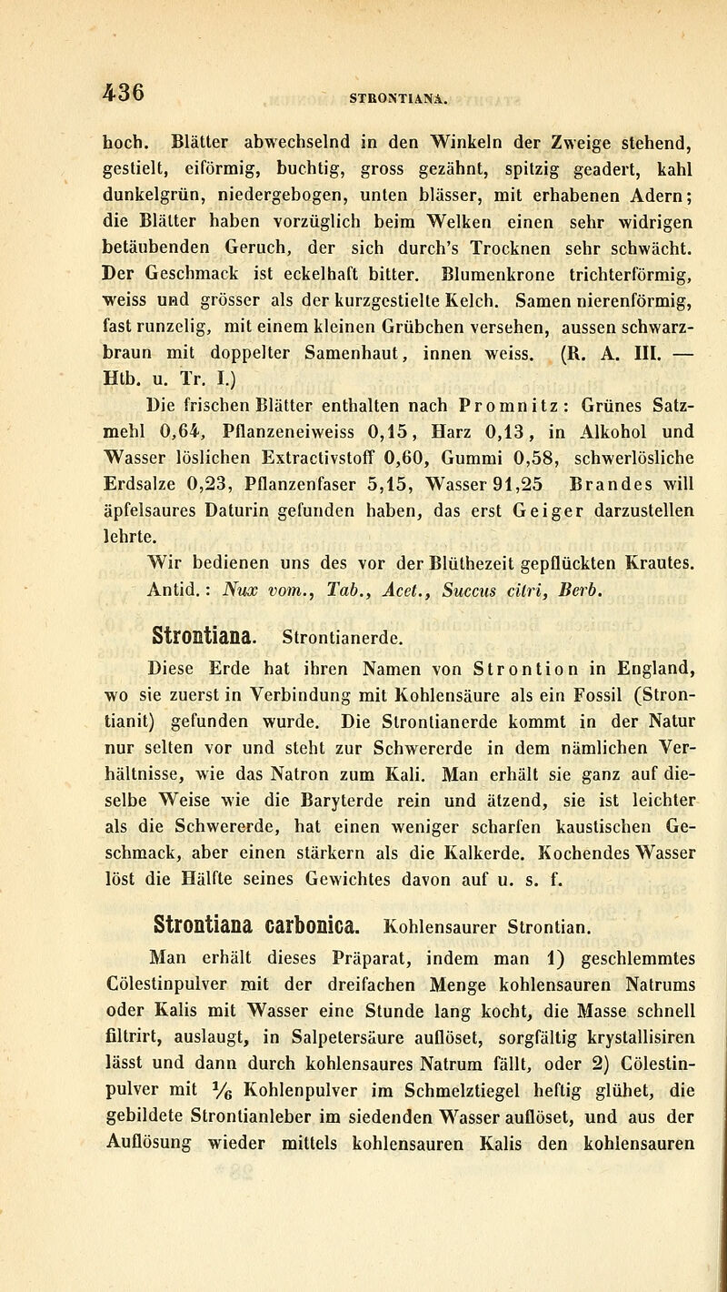 STßOKTlANÄ. hoch, Blätter abwechselnd in den Winkeln der Zweige stehend, gestielt, eiförmig, buchtig, gross gezähnt, spitzig geädert, kahl dunkelgrün, niedergebogen, unten blässer, mit erhabenen Adern; die Blätter haben vorzüglich beim Welken einen sehr widrigen betäubenden Geruch, der sich durch's Trocknen sehr schwächt. Der Geschmack ist eckelhaft bitter. Blumenkrone trichterförmig, weiss ußd grösser als der kurzgestielle Kelch. Samen nierenförmig, fast runzelig, mit einem kleinen Grübchen versehen, aussen schwarz- braun mit doppelter Samenhaut, innen weiss. (R. A. III. — Htb. u. Tr. I.) Die frischen Blätter enthalten nach Promnitz: Grünes Satz- mehl 0,64, Pflanzeneiweiss 0,15, Harz 0,13, in Alkohol und Wasser löslichen ExtractivstofF 0,60, Gummi 0,58, schwerlösliche Erdsalze 0,23, Pflanzenfaser 5,15, Wasser 91,25 Brandes will äpfelsaures Daturin gefunden haben, das erst Geiger darzustellen lehrte. Wir bedienen uns des vor der Blüthezeit gepflückten Krautes. Antid.: Nux vom., Tab., Äcet., Succus citri, Berb. Strontiana. Strontianerde. Diese Erde hat ihren Namen von Strontion in England, wo sie zuerst in Verbindung mit Kohlensäure als ein Fossil (Stron- tianit) gefunden wurde. Die Strontianerde kommt in der Natur nur selten vor und steht zur Schwererde in dem nämlichen Ver- hältnisse, wie das Natron zum Kali. Man erhält sie ganz auf die- selbe Weise wie die Baryterde rein und ätzend, sie ist leichter als die Schwererde, hat einen weniger scharfen kaustischen Ge- schmack, aber einen stärkern als die Kalkerde. Kochendes Wasser löst die Hälfte seines Gewichtes davon auf u. s. f. Strontiana Carbonica. Kohlensaurer Strontian. Man erhält dieses Präparat, indem man 1) geschlemmtes Cölestinpulver mit der dreifachen Menge kohlensauren Natrums oder Kalis mit Wasser eine Stunde lang kocht, die Masse schnell filtrirt, auslaugt, in Salpetersäure auflöset, sorgfältig krystallisiren lässt und dann durch kohlensaures Natrum fällt, oder 2) Cölestin- pulver mit Ve Kohlenpulver im Schmelztiegel heftig glühet, die gebildete Strontianleber im siedenden Wasser auflöset, und aus der Auflösung wieder mittels kohlensauren Kalis den kohlensauren