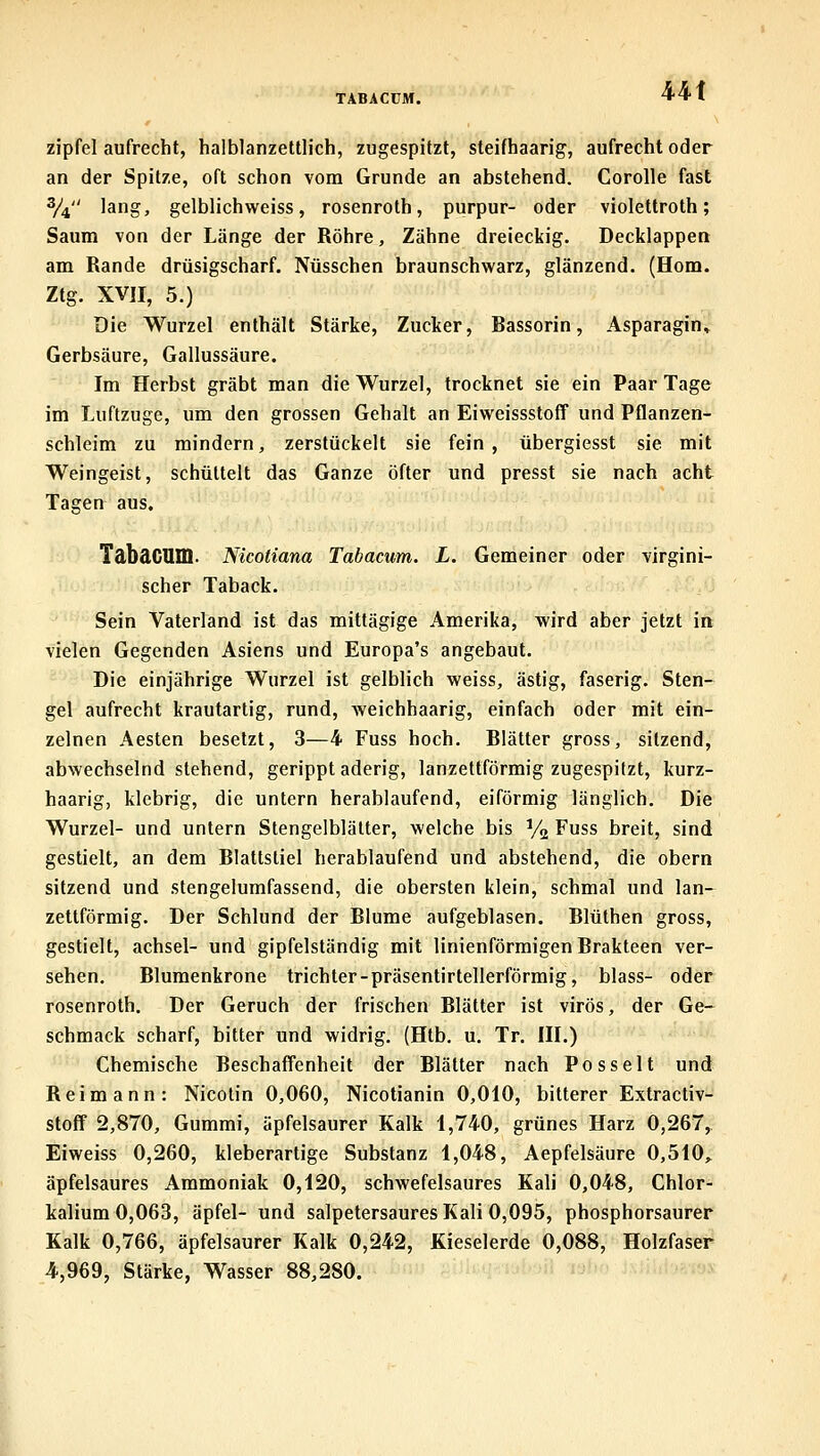 TABACUM. Zipfel aufrecht, halblanzettlich, zugespitzt, steifhaarig, aufrecht oder an der Spitze, oft schon vom Grunde an abstehend. Corolle fast 3/4 lang, gelblichweiss, rosenroth, purpur- oder violettroth; Saum von der Länge der Röhre, Zähne dreieckig. Decklappen am Rande drüsigscharf. Nüsschen braunschwarz, glänzend. (Hom. Ztg. XVII, 5.) Die Wurzel enthält Stärke, Zucker, Bassorin, Asparagin» Gerbsäure, Gallussäure. Im Herbst gräbt man die Wurzel, trocknet sie ein Paar Tage im Luftzuge, um den grossen Gehalt an Eiweissstoff und Pflanzen- schleim zu mindern, zerstückelt sie fein, übergiesst sie mit Weingeist, schüttelt das Ganze öfter und presst sie nach acht Tagen aus. TäbdCUm. Nicotiana Tabacum. L. Gemeiner oder virgini- scher Taback. Sein Vaterland ist das mittägige Amerika, wird aber jetzt in vielen Gegenden Asiens und Europa's angebaut. Die einjährige Wurzel ist gelblich weiss, ästig, faserig. Sten- gel aufrecht krautartig, rund, weichhaarig, einfach oder mit ein- zelnen Aesten besetzt, 3—4 Fuss hoch. Blätter gross, sitzend, abwechselnd stehend, gerippt aderig, lanzettförmig zugespitzt, kurz- haarig, klebrig, die untern herablaufend, eiförmig länglich. Die Wurzel- und untern Stengelblätter, welche bis Va Fuss breit, sind gestielt, an dem Blattstiel herablaufend und abstehend, die obern sitzend und stengelumfassend, die obersten klein, schmal und lan- zettförmig. Der Schlund der Blume aufgeblasen. Blüthen gross, gestielt, achsel- und gipfelständig mit linienförmigen Brakteen ver- sehen. Bluraenkrone triebter-präsentirtellerförmig, blass- oder rosenroth. Der Geruch der frischen Blätter ist virös, der Ge- schmack scharf, bitter und widrig. (Htb. u. Tr. III.) Chemische Beschaffenheit der Blätter nach Posselt und Reimann: Nicotin 0,060, Nicotianin 0,010, bitterer Extractiv- stoff 2,870, Gummi, äpfelsaurer Kalk 1,740, grünes Harz 0,267, Eiweiss 0,260, kleberartige Substanz 1,048, Aepfelsäure 0,510,. äpfelsaures Ammoniak 0,120, schwefelsaures Kali 0,048, Chlor- kalium 0,063, äpfel- und salpetersaures Kali 0,095, phosphorsaurer Kalk 0,766, äpfelsaurer Kalk 0,242, Kieselerde 0,088, Holzfaser 4,969, Stärke, Wasser 88,280.