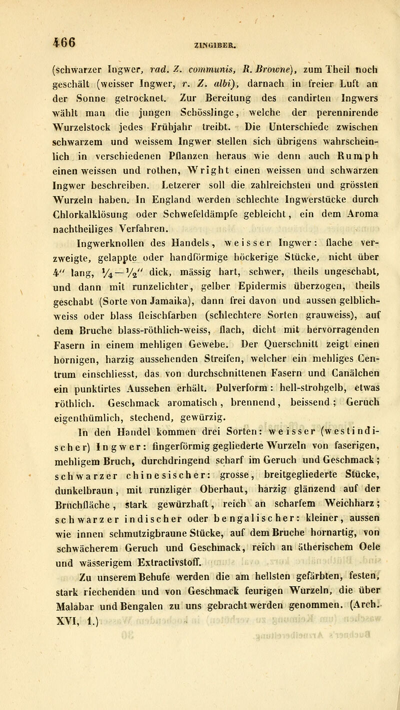 (schwarzer Ingwer, rad. Z. communis, R. Browne), zum Theil noch geschält (weisser Ingwer, r. Z. albi), darnach in freier Luft an der Sonne getrocknet. Zur Bereitung des candirten Ingwers wählt man die jungen Schösslinge, welche der perennirende Wurzelstock jedes Frühjahr treibt. Die Unterschiede zwischen schwarzem und weissem Ingwer stellen sich übrigens wahrschein- lich in verschiedenen Pflanzen heraus wie denn auch Ruraph einen weissen und rothen, Wright einen weissen und schwarzen Ingwer beschreiben. Letzerer soll die zahlreichsten und grössten Wurzeln haben. In England werden schlechte Ingwerstücke durch Chlorkalklösung oder Schwefeldämpfe gebleicht, ein dem Aroma nachtheiliges Verfahren. Ingwerknollen des Handels, weisser Ingwer: flache ver- zweigte, gelappte oder bandförmige höckerige Stücke, nicht über 4 lang, V4 —Va dick, massig hart, schwer, theils ungeschabt, und dann mit runzelichter, gelber Epidermis überzogen, theils geschabt (Sorte von Jamaika), dann frei davon und aussen gelblich- weiss oder blass fleischfarben (schlechtere Sorten grauweiss), auf dem Bruche blass-röthlich-weiss, flach, dicht mit hervorragenden Fasern in einem mehligen Gewebe. Der Querschnitt zeigt einen hornigen, harzig aussehenden Streifen, welcher ein mehliges Cen- trum einschliesst, das von durchschnittenen Fasern und Canälchen ein punktirtes Ausseben erhält. Pulverform: hell-strohgelb, etwas röthlich. Geschmack aromatisch, brennend, beissend ; Geruch eigenthümlich, stechend, gewürzig. In den Handel kommen drei Sorten: weisser (westindi- scher) Ingwer: fingerförmig gegliederte Wurzeln von faserigen, mehligem Bruch, durchdringend scharf im Geruch und Geschmack ; schwarzer chinesischer: grosse, breitgegliederte Stücke, dunkelbraun, mit runzliger Oberhaut, harzig glänzend auf der Briichfläche, stark gewürzhaft, reich an scharfem Weichharz; schwarzer indischer oder bengalischer: kleiner, aussen wie innen schmutzigbraune Stücke, auf dem Bruche hornartig, von schwächerem Geruch und Geschmack, reich an ätherischem Oele und wässerigem Extractivstoff. Zu unserem Behufe werden die am hellsten gefärbten, festen, stark riechenden und von Geschmack feurigen Wurzeln, die über Malabar und Bengalen zu uns gebracht werden genommen. {Arch. XVI, 1.)