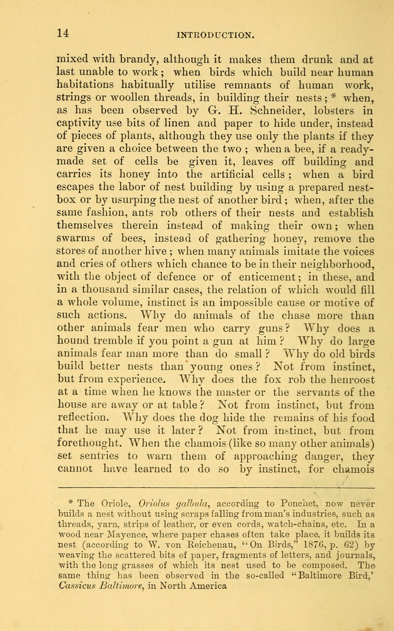 mixed with brandy, although it makes them drunk and at last unable to work; when birds which build near human habitations habitually utilise remnants of human work, strings or woollen threads, in building their nests ; * when, as has been observed by Gr. H. Schneider, lobsters in captivity use bits of linen and paper to hide under, instead of pieces of plants, although they use only the plants if they are given a choice between the two ; when a bee, if a ready- made set of cells be given it, leaves off building and carries its honey into the artificial cells ; when a bird escapes the labor of nest building by using a prepared nest- box or by usurping the nest of another bird ; when, after the same fashion, ants rob others of their nests and establish themselves therein instead of making their own; when swarms of bees, instead of gathering honey, remove the stores of another hive ; when many animals imitate the voices and cries of others which chance to be in their neighborhood, with the object of defence or of enticement; in these, and in a thousand similar cases, the relation of which would fill a whole volume, instinct is an impossible cause or motive of such actions. Why do animals of the chase more than other animals fear men who carry guns ? Why does a hound tremble if you point a gun at him ? Why do large animals fear man more than do small ? Why do old birds build better nests than young ones ? Not from instinct, but from experience. Why does the fox rob the henroost at a time when he knows the master or the servants of the house are away or at table ? Not from instinct, but from reflection. Why does the dog hide the remains of his food that he may use it later ? Not from instinct, but from forethought. When the chamois (like so many other animals) set sentries to warn them of approaching danger, they cannot have learned to do so by instinct, for chamois * The Oriole, Oriolus galbula, according to Poncliet, now never btdlds a nest without using scraps falling from man's industries, such as threads, yarn, strips of leather, or even cords, watch-chains, etc. In a wood near Mayence, where paper chases often take place, it builds its nest (according to W. von Reichenau, On Birds, 1876, p. 62) by weaving the scattered bits of paper, fragments of letters, and journals, with the long grasses of which its nest used to be composed. The same thing has been observed in the so-called Baltimore Bird,' Cassicus Baltimore, in North America
