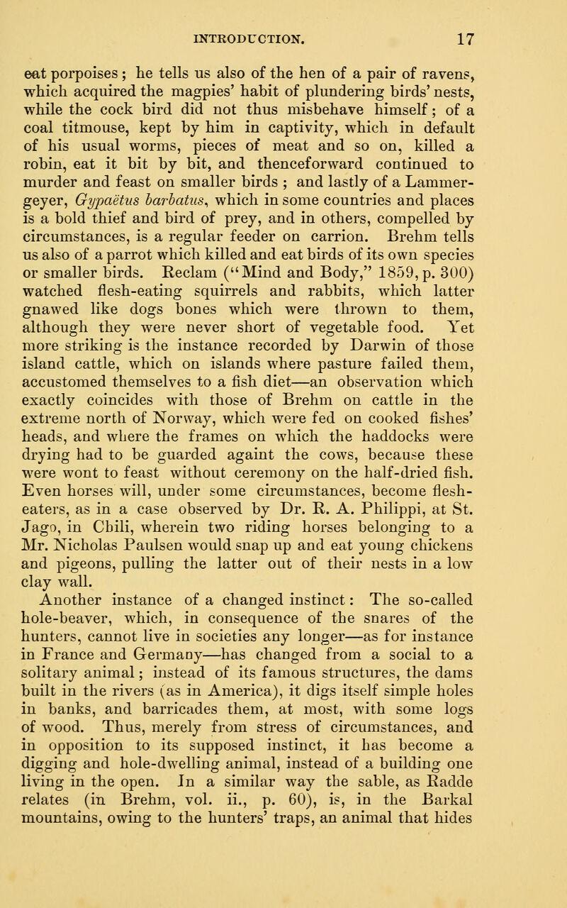 eat porpoises ; lie tells us also of the hen of a pair of ravens, which acquired the magpies' habit of plundering birds' nests, while the cock bird did not thus misbehave himself; of a coal titmouse, kept by him in captivity, which in default of his usual worms, pieces of meat and so on, killed a robin, eat it bit by bit, and thenceforward continued to murder and feast on smaller birds ; and lastly of a Lammer- geyer, Gypaetus harhatus^ which in some countries and places is a bold thief and bird of prey, and in others, compelled by circumstances, is a regular feeder on carrion. Brehm tells us also of a parrot which killed and eat birds of its own species or smaller birds. Reclam (Mind and Body, 1859, p. 300) watched flesh-eating squirrels and rabbits, which latter gnawed like dogs bones which were thrown to them, although they were never short of vegetable food. Yet more striking is the instance recorded by Darwin of those island cattle, which on islands where pasture failed them, accustomed themselves to a fish diet—an observation which exactly coincides with those of Brehm on cattle in the extreme north of Norway, which were fed on cooked fishes' heads, and where the frames on which the haddocks were drying had to be guarded againt the cows, because these were wont to feast without ceremony on the half-dried fish. Even horses will, under some circumstances, become flesh- eaters, as in a case observed by Dr. R. A. Philippi, at St. Jago, in Cbili, wherein two riding horses belonging to a Mr. Nicholas Paulsen would snap up and eat young chickens and pigeons, pulling the latter out of their nests in a low clay wall. Another instance of a changed instinct: The so-called hole-beaver, which, in consequence of the snares of the hunters, cannot live in societies any longer—as for instance in France and Germany—has changed from a social to a solitary animal; instead of its famous structures, the dams built in the rivers (as in America), it digs itself simple holes in banks, and barricades them, at most, with some logs of wood. Thus, merely from stress of circumstances, and in opposition to its supposed instinct, it has become a digging and hole-dwelling animal, instead of a building one living in the open. In a similar way the sable, as Radde relates (in Brehm, vol. ii., p. 60), is, in the Barkal mountains, owing to the hunters' traps, an animal that hides