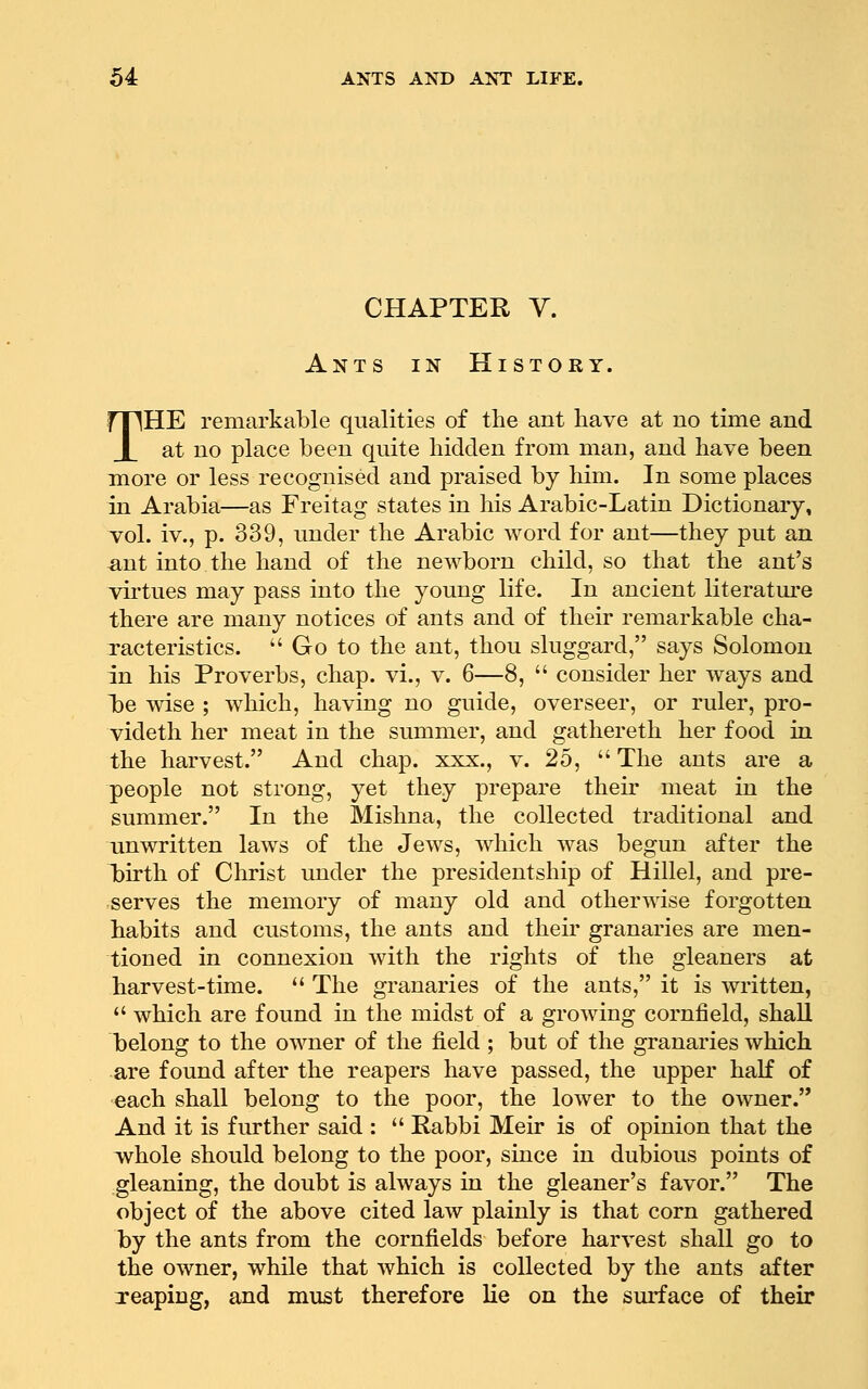 CHAPTER Y. Ants in History. THE remarkable qualities of the ant have at no time and at no place been quite hidden from man, and have been more or less recognised and praised by him. In some places in Arabia—as Freitag states in his Arabic-Latin Dictionary, vol. iv., p. 339, under the Arabic word for ant—they put an ant into the hand of the newborn child, so that the ant's virtues may pass into the young life. In ancient literatm'e there are many notices of ants and of their remarkable cha- racteristics.  Go to the ant, thou sluggard, says Solomon in his Proverbs, chap, vi., v. 6—8,  consider her ways and 1)6 wise ; which, having no guide, overseer, or ruler, pro- videth her meat in the summer, and gathereth her food in the harvest. And chap, xxx., v. 25,  The ants are a people not strong, yet they prepare their meat in the summer. In the Mishna, the collected traditional and unwritten laws of the Jews, which was begun after the birth of Cln'ist under the presidentship of Hillel, and pre- serves the memory of many old and otherwise forgotten habits and customs, the ants and their granaries are men- tioned in connexion with the rights of the gleaners at harvest-time.  The granaries of the ants, it is written,  which are found in the midst of a growing cornfield, shall belong to the owner of the field ; but of the granaries which are found after the reapers have passed, the upper half of each shall belong to the poor, the lower to the owner. And it is further said :  Rabbi Meir is of opinion that the whole should belong to the poor, since in dubious points of gleaning, the doubt is always in the gleaner's favor. The object of the above cited law plainly is that corn gathered by the ants from the cornfields before harvest shall go to the owner, while that which is collected by the ants after Teaping, and must therefore lie on the surface of their