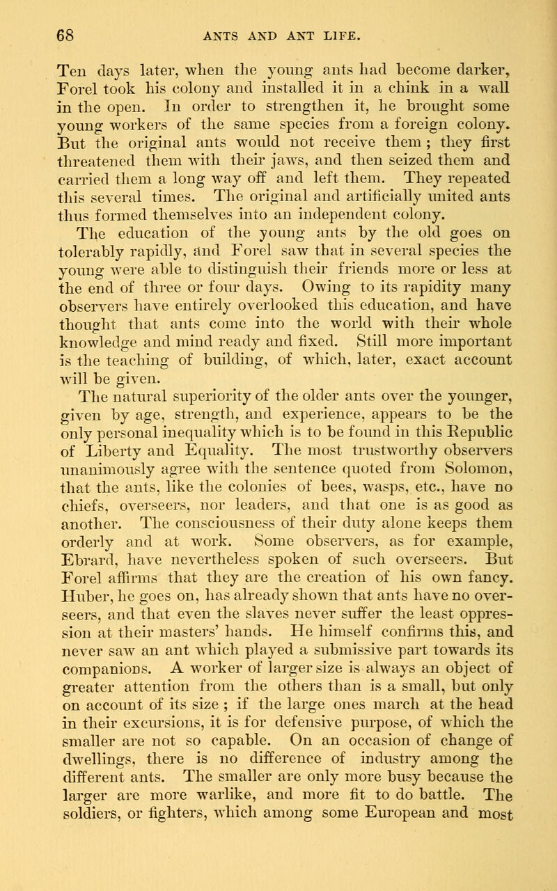 Ten days later, when the young ants had become darker, Forel took his colony and installed it in a chink in a wall in the open. In order to strengthen it, he brought some young workers of the same species from a foreign colony. But the original ants would not receive them ; they first threatened them with their jaws, and then seized them and carried them a long way off and left them. They repeated this several times. The original and artificially united ants thus formed themselves into an independent colony. The education of the young ants by the old goes on tolerably rapidly, and Forel saw that in several species the young were able to distinguish their friends more or less at the end of three or four days. Owing to its rapidity many observers have entirely overlooked this education, and have thought that ants come into the world with their whole knowledge and mind ready and fixed. Still more important is the teaching of building, of which, later, exact account will be given. The natural superiority of the older ants over the younger, given by age, strength, and experience, appears to be the only personal inequality which is to be found in this Eepublic of Liberty and Equality. The most trustworthy observers unanimously agree with the sentence quoted from Solomon, that the ants, like the colonies of bees, wasps, etc., have no chiefs, overseers, nor leaders, and that one is as good as another. The consciousness of their duty alone keeps them orderly and at work. Some observers, as for example, Ebrard, have nevertheless spoken of such overseers. But Forel affirms that they are the creation of his own fancy. Huber, he goes on, has already shown that ants have no over- seers, and that even the slaves never suffer the least oppres- sion at their masters' hands. He himself confirms this, and never saw an ant which played a submissive part towards its companioDS. A worker of larger size is always an object of greater attention from the others than is a small, but only on account of its size ; if the large ones march at the head in their excursions, it is for defensive purpose, of w^hich the smaller are not so capable. On an occasion of change of dwellings, there is no difference of industry among the different ants. The smaller are only more busy because the larger are more warlike, and more fit to do battle. The soldiers, or fighters, which among some European and most