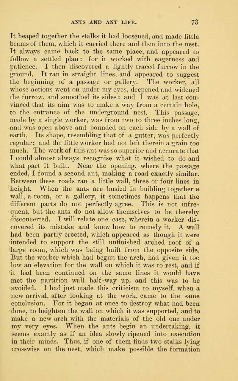 It heaped together the stalks it liad loosened, and made little beams of them, which it carried there and then into the nest. It always came back to the same place, and appeared to follow a settled plan: for it worked with eagerness and patience. I then discovered a lightly traced furrow in the ground. It ran in straight lines, and appeared to suggest the beginning of a passage or gallery. The worker, all whose actions went on under my eyes, deepened and widened the furrow, and smoothed its sides: and 1 was at last con- vinced that its aim was to make a way from a certain hole, to the entrance of the underground nest. This passage, made by a single worker, was from two to three inches long, and was open above and bounded on each side by a wall of earth. Its shape, resembling that of a gutter, was perfectly regular; and the little worker had not left therein a grain too much. The work of this ant was so superior and accurate that I could almost always recognise what it wished to do and what part it built. Near the opening, where the passage ended, I found a second ant, making a road exactly similar. Between these roads ran a little wall, three or four lines in 'heio-ht. When the ants are busied in buildino: tos^ether a wall, a room, or a gallery, it sometimes happens that the different parts do not perfectly agree. This is not infre- quent, but the ants do not allow themselves to be thereby •disconcerted. I will relate one case, wherein a worker dis- covered its mistake and knew how to remedy it. A wall had been partly erected, which appeared as though it were •intended to support the still unfinished arched roof of a 'large room, which was being built from the opposite side. But the worker which had begun the arch, had given it too low an elevation for the wall on which it was to rest, and if it had been continued on the same lines it would have met the partition wall half-way up, and this was to be avoided. I had just made this criticism to myself, when a new arrival, after looking at the work, came to the same conclusion. For it began at once to destroy what had been done, to heighten the wall on which it was supported, and to make a new arch with the materials of the old one under my very eyes. When the ants begin an undertaking, it seems exactly as if an idea slowly ripened into execution in their minds. Thus, if one of them finds two stalks lying •crosswise on the nest, which make possible the formation