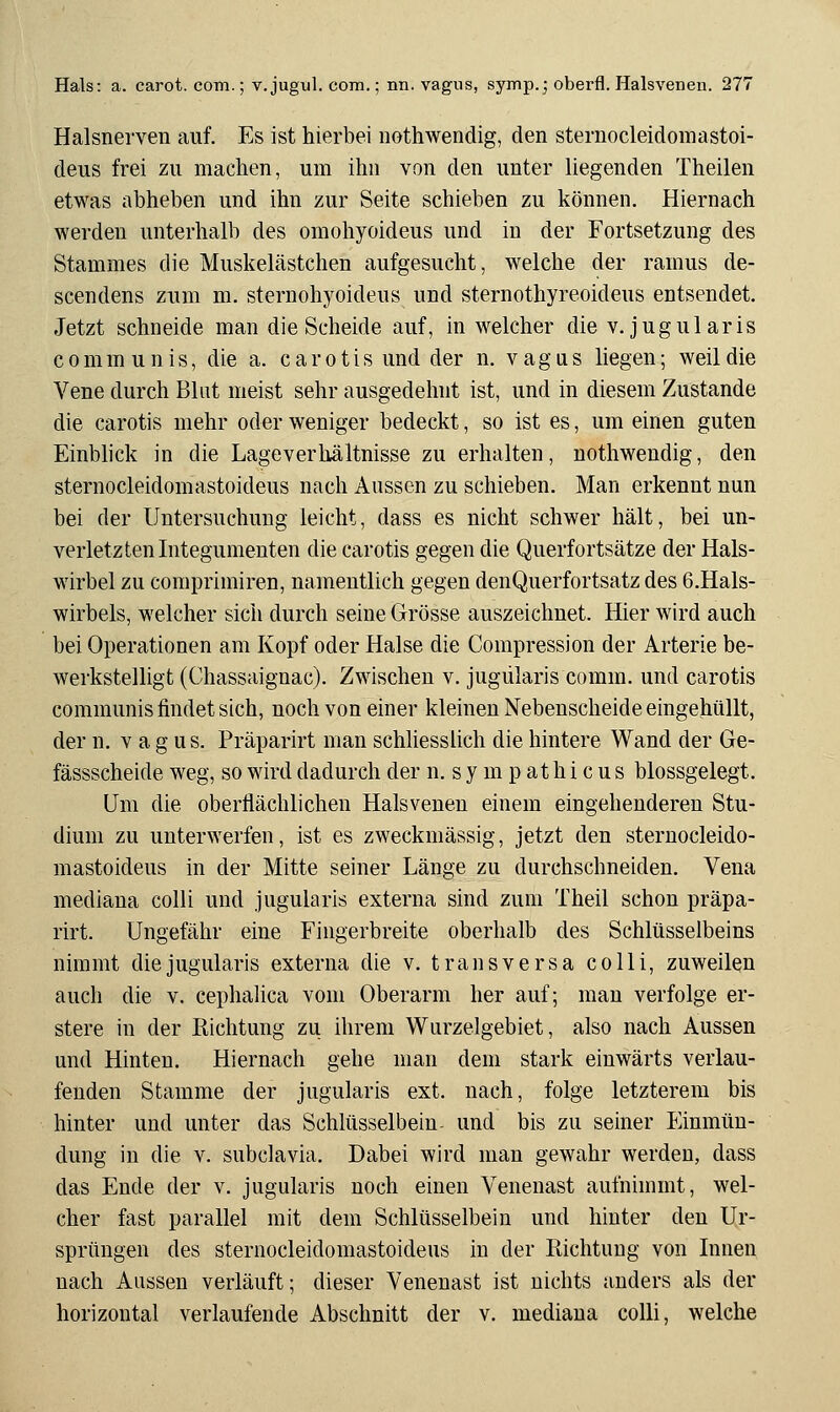 Halsnei'ven auf. Es ist hierbei nothwendig, den sternocleidomastoi- deus frei zu machen, um ihn von den unter liegenden Theilen etwas abheben und ihn zur Seite schieben zu können. Hiernach werden unterhalb des omohyoideus und in der Fortsetzung des Stammes die Muskelästchen aufgesucht, welche der ramus de- scendens zum m. sternohyoideus und sternothyreoideus entsendet. Jetzt schneide man die Scheide auf, in welcher die v. jugularis communis, die a. carotis und der n. vagus liegen; weil die Vene durch Blut meist sehr ausgedehnt ist, und in diesem Zustande die carotis mehr oder weniger bedeckt, so ist es, um einen guten Einbhck in die Lageverhältnisse zu erhalten, nothwendig, den sternocleidomastoideus nach Aussen zu schieben. Man erkennt nun bei der Untersuchung leicht, dass es nicht schwer hält, bei un- verletzten Integumenten die carotis gegen die Querfortsätze der Hals- wirbel zu comprimiren, namentlich gegen denQuerfortsatz des 6.Hals- wirbels, welcher sich durch seine Grösse auszeichnet. Hier wird auch bei Operationen am Kopf oder Halse die Compression der Arterie be- werkstelligt (Chassaignac). Zwischen v. jugularis comm. und carotis communis findet sich, noch von einer kleinen Nebenscheide eingehüllt, der n. vagus. Präparirt man schliesslich die hintere Wand der Ge- fässscheide weg, so wird dadurch der n. s y m p at h i c u s blossgelegt. Um die oberflächlichen Halsvenen einem eingehenderen Stu- dium zu unterwerfen, ist es zweckmässig, jetzt den sternocleido- mastoideus in der Mitte seiner Länge zu durchschneiden. Vena mediana colli und jugularis externa sind zum Theil schon präpa- rirt. Ungefähr eine Fingerbreite oberhalb des Schlüsselbeins nimmt die jugularis externa die v. transversa colli, zuweilen auch die v. cephalica vom Oberarm her auf; man verfolge er- stere in der Richtung zu ihrem Wurzelgebiet, also nach Aussen und Hinten. Hiernach gehe man dem stark einwärts verlau- fenden Stamme der jugularis ext. nach, folge letzterem bis hinter und unter das Schlüsselbein- und bis zu seiner Einmün- dung in die v. subclavia. Dabei wird man gewahr werden, dass das Ende der v. jugularis noch einen Venenast aufnimmt, wel- cher fast parallel mit dem Schlüsselbein und hinter den Ur- sprüngen des sternocleidomastoideus in der Richtung von Innen nach Aussen verläuft; dieser Venenast ist nichts anders als der horizontal verlaufende Abschnitt der v. mediana colli, welche
