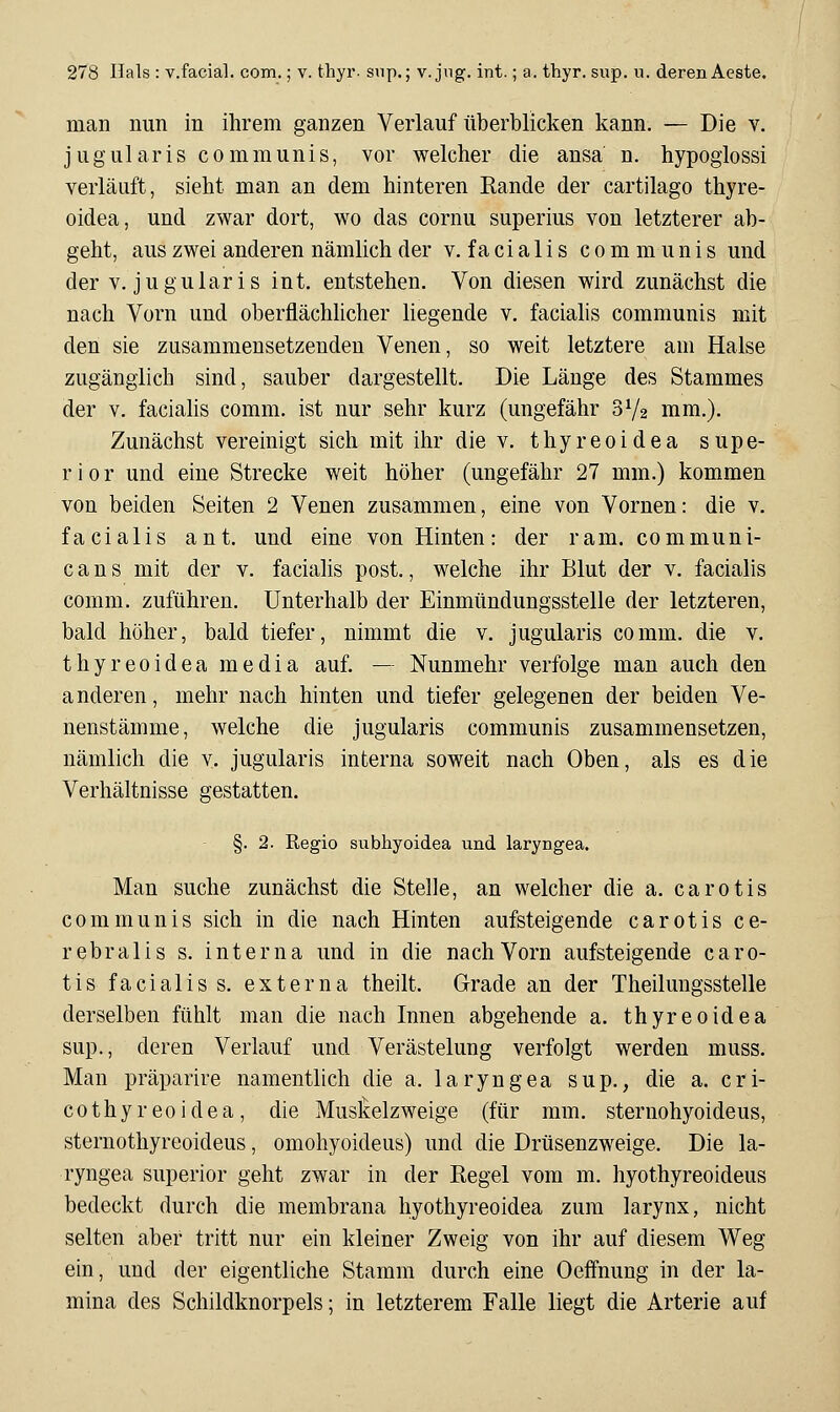man nun in ihrem ganzen Verlauf überblicken kann. — Die v. j u g u 1 ar i s communis, vor welcher die ansa n. hypoglossi verläuft, sieht man an dem hinteren Rande der cartilago thyre- oidea, und zwar dort, wo das cornu superius von letzterer ab- geht, aus zwei anderen nämlich der v. facialis communis und der V. jugularis int. entstehen. Von diesen wird zunächst die nach Vorn und oberflächlicher liegende v, facialis communis mit den sie zusammensetzenden Venen, so weit letztere am Halse zugänglich sind, sauber dargestellt. Die Länge des Stammes der V. facialis comm. ist nur sehr kurz (ungefähr 3V2 mm.). Zunächst vereinigt sich mit ihr die v. thyreoidea supe- r i 0 r und eine Strecke weit höher (ungefähr 27 mm.) kommen von beiden Seiten 2 Venen zusammen, eine von Vornen: die v. facialis ant. und eine von Hinten: der ram. communi- c a n s mit der v. facialis post., welche ihr Blut der v. facialis comm. zuführen. Unterhalb der Einmündungsstelle der letzteren, bald höher, bald tiefer, nimmt die v. jugularis comm. die v. thyreoidea media auf. — Nunmehr verfolge man auch den anderen, mehr nach hinten und tiefer gelegenen der beiden Ve- nenstämme, welche die jugularis communis zusammensetzen, nämlich die v. jugularis interna soweit nach Oben, als es die Verhältnisse gestatten. §. 2. Regio subliyoidea und laryngea. Man suche zunächst die Stelle, an welcher die a. carotis communis sich in die nach Hinten aufsteigende carotis ce- rebralis s. interna und in die nach Vorn aufsteigende caro- tis facialis s. externa theilt. Grade an der Theilungsstelle derselben fühlt man die nach Innen abgehende a. thyreoidea sup., deren Verlauf und Verästelung verfolgt werden muss. Man präparire namentlich die a. laryngea sup., die a. cri- cothyreoidea, die Musfielzweige (für mm. sternohyoideus, sternothyreoideus, omohyoideus) und die Drüsenzweige. Die la- ryngea superior geht zwar in der Regel vom m. hyothyreoideus bedeckt durch die membrana hyothyreoidea zum larynx, nicht selten aber tritt nur ein kleiner Zweig von ihr auf diesem Weg ein, und der eigentliche Stamm durch eine Oeffnung in der la- mina des Schildknorpels; in letzterem Falle liegt die Arterie auf