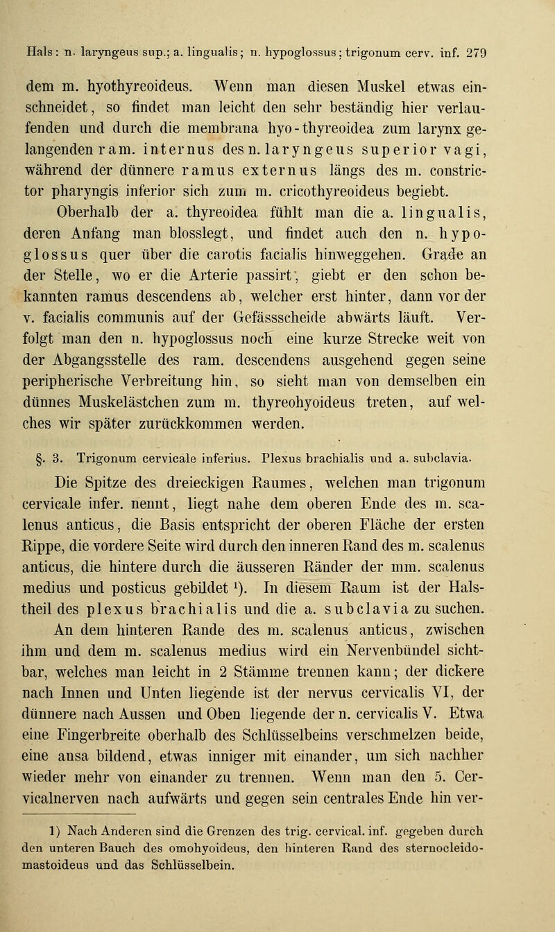 dem m. hyothyreoideus. Wenn man diesen Muskel etwas ein- schneidet , so findet man leicht den sehr beständig hier verlau- fenden und durch die membrana hyo - thyreoidea zum larynx ge- langenden ram. internus des n. laryngeus superior vagi, während der dünnere ramus externus längs des m. constric- tor pharyngis inferior sich zum m. cricothyreoideus begiebt. Oberhalb der a. thyreoidea fühlt man die a. lingualis, deren Anfang man blosslegt, und findet auch den n. hypo- glossus quer über die carotis faciahs hinweggehen. Grade an der Stelle, wo er die Arterie passirt, giebt er den schon be- kannten ramus descendens ab, welcher erst hinter, dann vor der V. facialis communis auf der Gefässscheide abwärts läuft. Ver- folgt man den n. hypoglossus noch eine kurze Strecke weit von der Abgangsstelle des ram. descendens ausgehend gegen seine peripherische Verbreitung hin, so sieht man von demselben ein dünnes Muskelästchen zum m. thyreohyoideus treten, auf wel- ches wir später zurückkommen werden. §. 3. Trigonum cervicale inferius. Plexus brachialis und a. subclavia. Die Spitze des dreieckigen Kaumes, welchen man trigonum cervicale infer. nennt, liegt nahe dem oberen Ende des m. sca- lenus anticus, die Basis entspricht der oberen Fläche der ersten Rippe, die vordere Seite wird durch den inneren Rand des m. scalenus anticus, die hintere durch die äusseren Ränder der mm. scalenus medius und posticus gebildet ^). In diesem Raum ist der Hals- theil des plexus brachialis und die a. subclavia zu suchen. An dem hinteren Rande des ra. scalenus anticus, zwischen ihm und dem m. scalenus medius wird ein Nervenbündel sicht- bar, welches man leicht in 2 Stämme trennen kann; der dickere nach Innen und Unten liegende ist der nervus cervicalis VI, der dünnere nach Aussen und Oben liegende der n. cervicalis V. Etwa eine Fingerbreite oberhalb des Schlüsselbeins verschmelzen beide, eine ansa bildend, etwas inniger mit einander, um sich nachher wieder mehr von einander zu trennen. Wenn man den 5. Cer- vicalnerven nach aufwärts und gegen sein centrales Ende hin ver- 1) Nach Anderen sind die Grenzen des trig. cervical. inf. gegeben durch den unteren Bauch des omohyoideus, den hinteren Rand des sternocleido- mastoideus und das Schlüsselbein.