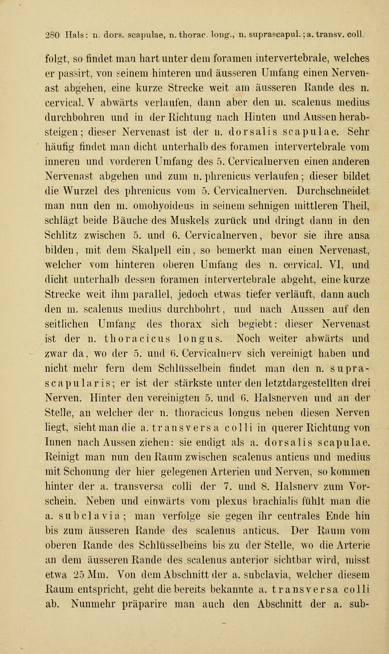 folgt, SO findet man hart unter dem foramen intervertebrale, welches er passirt, von seinem hinteren und äusseren Umfang einen Nerven- ast abgehen, eine kurze Strecke weit am äusseren Rande des n. cervical. V abwärts verlaufen, dann aber den m. scalenus medius durchbohren und in der Richtung nach Hinten und Aussen herab- steigen; dieser Nervenast ist der n. dorsalis scapulae. Sehr häufig findet man dicht unterhalb des foramen intervertebrale vom inneren und vorderen Umfang des 5. Cervicalnerven einen anderen Nervenast abgehen und zum n. phrenicus verlaufen; dieser bildet die Wurzel des phrenicus vom 5. Cervicalnerven. Durchschneidet man nun den m. omohyoideus in seinem sehnigen mittleren Theil, schlägt beide Bäuche des Muskels zurück und dringt dann in den Schlitz zwischen 5. und 6. Cervicalnerven, bevor sie ihre ansa bilden, mit dem Skalpell ein, so bemerkt man einen Nervenast, welcher vom hinteren oberen Umfang des n. cervical. VI, und dicht unterhalb dessen foramen intervertebrale abgeht, eine kurze Strecke weit ihm parallel, jedoch etwas tiefer verläuft, dann auch den m. scalenus medius durchbohrt, und nach Aussen auf den seitlichen Umfang des thorax sich begiebt: dieser Nervenast ist der u. thoracicus longus. Noch weiter abwärts und zwar da, wo der 5. und 6. Cervicalnerv sich vereinigt haben und nicht mehr fern dem Schlüsselbein findet man den n. supra- scapularis; er ist der stärkste unter den letztdargestellten drei Nerven. Hinter den vei-einigten 5. und 6. Halsnerven und an der Stelle, an welcher der n. thoracicus longus neben diesen Nerven hegt, sieht man die a. t r an s v e r s a colli in querer Richtung von Innen nach Aussen ziehen: sie endigt als a. dorsalis scapulae. Reinigt man nun den Raum zwischen scalenus anticus und medius mit Schonung der hier gelegenen Arterien und Nerven, so kommen hinter der a. transversa colli der 7, und 8. Halsnei'v zum Vor- schein. Neben und einwärts vom plexus brachialis fühlt man die a. subclavia; man verfolge sie gegen ihr centrales Ende hin bis zum äusseren Rande des scalenus anticus. Der Raum vom oberen Rande des Schlüsselbeins bis zu der Stelle, wo die Arterie an dem äusseren Rande des.scalenus anterior sichtbar wird, misst etwa 25 Mm. Von dem Abschnitt der a. subclavia, welcher diesem Raum entspricht, geht die bereits bekannte a. transversa colli ab. Nunmehr präparire man auch den Abschnitt der a. sub-