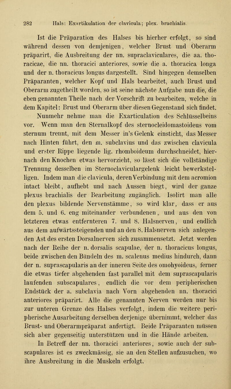 Ist die Präparation des Halses bis hierher erfolgt, so sind während dessen von demjenigen, welcher Brust und Oberarm präparirt, die Ausbreitung der nn. supraclaviculares, die aa. tho- racicae, die nn. thoracici anteriores, sowie die a. thoracica longa und der n. tboracicus longus dargestellt. Sind hingegen demselben Präparanten, welcher Kopf und Hals bearbeitet, auch Brust und Oberarm zugetheilt worden, so ist seine nächste Aufgabe nun die, die eben genannten Theile nach der Vorschrift zu bearbeiten, welche in dem Kapitel: Brust und Oberarm über diesen Gegenstand sich findet. Nunmehr nehme man die Exarticulation des Schlüsselbeins vor. Wenn man den Sternalkopf des sternocleidomastoideus vom sternum trennt, mit dem Messer in's Gelenk einsticht, das Messer nach Hinten führt, den m. subclavius und das zwischen clavicula und erster Rippe liegende lig. rhomboideum durchschneidet, hier- nach den Knochen etwas hervorzieht, so lässt sich die vollständige Trennung desselben im Sternoclaviculargelenk leicht bewerkstel- hgen. Indem man die clavicula, deren Verbindung mit dem acromion intact bleibt, aufhebt und nach Aussen biegt, wird der ganze plexus brachialis der Bearbeitung zugänglich. Isolirt man alle den plexus bildende Nervenstämme, so wird klar, dass er aus dem 5. und 6. eng miteinander verbundenen, und aus den von letzteren etwas entfernteren 7. und 8. Halsnerven, und endlich aus dem aufwärtssteigenden und an den 8. Halsnerven sich anlegen- den Ast des ersten Dorsalnerven sich zusammensetzt. Jetzt werden nach der Reihe der n. dorsalis scapulae, der n. thoracicus longus, beide zwischen den Bündeln des m. scalenus medius hindurch, dann der n. suprascapularis an der inneren Seite des omohyoideus, ferner die etwas tiefer abgehenden fast parallel mit dem suprascapularis laufenden subscapulares, endlich die vor dem peripherischen Endstück der a. subclavia nach Vorn abgehenden nn. thoracici anteriores präparirt. Alle die genannten Nerven werden nur bis zur unteren Grenze des Halses verfolgt, indem die weitere peri- pherische Ausarbeitung derselben derjenige übernimmt, welcher das Brust- und Oberarmpräparat anfertigt. Beide Präparanten müssen sich aber gegenseitig unterstützen und in die Hände arbeiten. In Betreff der nn. thoracici anteriores, sowie auch der sub- scapulares ist es zweckmässig, sie an den Stellen aufzusuchen, wo ihre Ausbreitung in die Muskeln erfolgt.