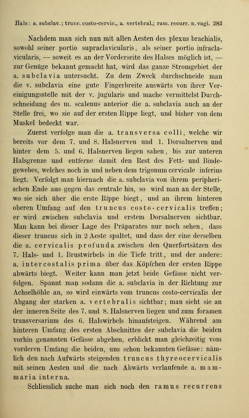 Nachdem man sich nun mit allen Aesten des plexus brachialis, sowohl seiner portio supraclavicularis, als seiner portio infracla- vicularis, — soweit es an der Vorderseite des Halses möglich ist, — zur Genüge bekannt gemacht hat, wird das ganze Stromgebiet der a. subclavia untersucht. Zu dem Zweck durchschneide man die V. subclavia eine gute Fingerbreite auswärts von ihrer Ver- einigungsstelle mit der v. jugularis und mache vermittelst Durch- schneidung des m. scalenus anterior die a. subclavia auch an der Stelle frei, wo sie auf der ersten Rippe liegt, und bisher von dem Muskel bedeckt war. Zuerst verfolge man die a. transversa colli, welche wir bereits vor dem 7. und 8. Halsnerven und 1. Dorsalnerven und hinter dem 5. und 6. Halsnerven liegen sahen, bis zur unteren Halsgrenze und entferne damit den Rest des Fett- und Binde- gewebes, welches noch in und neben dem trigonum cervicale inferius liegt. Verfolgt man hiernach die a. subclavia von ihrem peripheri- schen Ende aus gegen das centrale hin, so wird man an der Stelle, wo sie sich über die erste Rippe biegt, und an ihrem hinteren oberen Umfang auf den truncus costo-cervicalis treffen; er wird zwischen subclavia und erstem Dorsalnerven sichtbar. Man kann bei dieser Lage des Präparates nur noch sehen, dass dieser truncus sich in 2 Aeste spaltet, und dass der eine derselben die a. cervicalis profunda zwischen den Querfortsätzen des 7. Hals- und 1. Brustwirbels in die Tiefe tritt, und der andere: a. intercostalis prima über das Köpfchen der ersten Rippe abwärts biegt. Weiter kann man jetzt beide Gefässe nicht ver- folgen. Spannt maii sodann die a. subclavia in der Richtung zur Achselhöhle an, so wird einwärts vom truncus costo-cervicalis der Abgang der starken a. vertebralis sichtbar; man sieht sie an der inneren Seite des 7. und 8. Halsnerven liegen und zum foramen transversarium des 6. Halswirbels hinaufsteigen. Während am hinteren Umfang, des ersten Abschnittes der subclavia die beiden vorhin genannten Gefässe abgehen, erblickt man gleichzeitig vom vorderen Umfang die beiden, uns schon bekannten Gefässe: näm- lich den nach Aufwärts steigenden truncus thyreocervicalis mit seinen Aesten und die nach Abwärts verlaufende a. m a m - maria interna. Schliesslich suche man sich noch den ramus recurrens