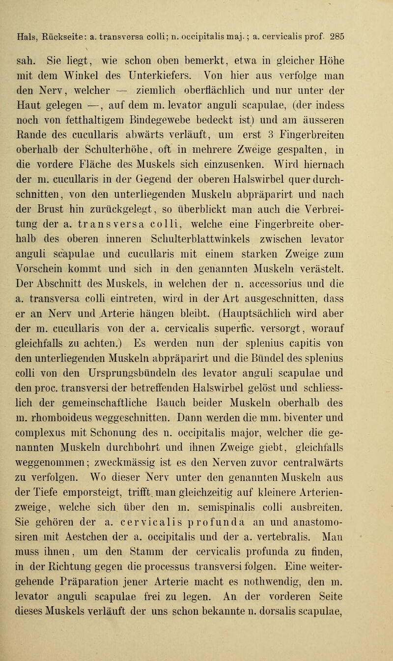 sah. Sie liegt, wie schon oben bemerkt, etwa in gleicher Höhe mit dem Winkel des Unterkiefers. Von hier aus verfolge man den Nerv, welcher — ziemlich oberflächlich und nur unter der Haut gelegen —, auf dem m. levator anguh scapulae, (der indess noch von fetthaltigem Bindegewebe bedeckt ist) und am äusseren Rande des cucullaris abwärts verläuft, um erst 3 Fingerbreiten oberhalb der Schulterhöhe, oft in mehrere Zweige gespalten, in die vordere Fläche des Muskels sich einzusenken. Wird hiernach der m. cucullaris in der Gegend der oberen Halswirbel quer durch- schnitten, von den unterliegenden Muskeln abpräparirt und nach der Brust hin zurückgelegt, so überblickt man auch die Verbrei- tung der a. transversa colli, welche eine Fingerbreite ober- halb des oberen inneren Schulterblattwinkels zwischen levator anguli scapulae und cucullaris mit einem starken Zweige zum Vorschein kommt und sich in den genannten Muskeln verästelt. Der Abschnitt des Muskels, in welchen der n. accessorius und die a, transversa colh eintreten, wird in der Art ausgeschnitten, dass er an Nerv und Arterie hängen bleibt. (Hauptsächlich wird aber der m. cucullaris von der a. cervicahs superfic. versorgt, worauf gleichfalls zu achten.) Es werden nun der splenius capitis von den unterliegenden Muskeln abpräparirt und die Bündel des splenius colli von den Ursprungsbündeln des levator anguli scapulae und den proc. transversi der betreffenden Halswirbel gelöst und schliess- lich der gemeinschaftliche Bauch beider Muskeln oberhalb des m, rhomboideus weggeschnitten. Dann werden die mm. biventer und complexus mit Schonung des n. occipitalis major, welcher die ge- nannten Muskeln durchbohrt und ihnen Zweige giebt, gleichfalls weggenommen; zweckmässig ist es den Nerven zuvor centralwärts zu verfolgen. Wo dieser Nerv unter den genannten Muskeln aus der Tiefe emporsteigt, trifft, man gleichzeitig auf kleinere Arterien- zweige, welche sich über den m. semispinalis colli ausbreiten. Sie gehören der a. cervicalis p rofunda an und anastomo- siren mit Aestchen der a. occipitalis und der a. vertebralis. Man muss ihnen, um den Stamm der cervicalis profunda zu finden, in der Richtung gegen die processus transversi folgen. Eine weiter- gehende Präparation jener Arterie macht es nothwendig, den m. levator anguli scapulae frei zu legen. An der vorderen Seite dieses Muskels verläuft der uns schon bekannte n. dorsalis scapulae,