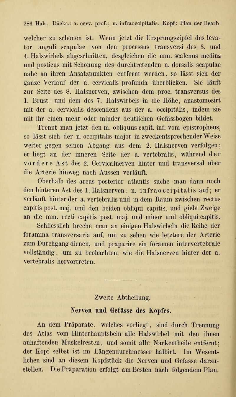 welcher zu schonen ist. Wenn jetzt die Ursprungszipfel des leva- tor anguli scapulae von den processus transversi des 3. und 4. Halswirbels abgeschnitten, desgleichen die mm. scalenus medius und posticus mit Schonung des durchtretenden n. dorsahs scapulae nahe an ihren Ansatzpunkten entfernt werden, so lässt sich der ganze Verlauf der a. cervicalis profunda überbUcken. Sie läuft zur Seite des 8. Halsnerven, zwischen dem proc. transversus des 1. Brust- und dem des 7. Halswirbels in die Höhe, anastomosirt mit der a. cervicalis descendens aus der a. occipitälis, indem sie mit ihr einen mehr oder minder deutlichen Gefässbogen bildet. Trennt man jetzt den m. obliquus capit. inf. vom epistropheus, so lässt sich der n. occipitälis major in zweckentsprechender Weise weiter gegen seinen Abgang aus dem 2. Halsnerven verfolgen; er liegt an der inneren Seite der a. vertebralis, während der vordere Ast des 2. Cervicalnerven hinter und transversal über die Arterie hinweg nach Aussen verläuft. Oberhalb des arcus posterior atlantis suche man dann noch den hinteren Ast des 1. Halsnerven : n. infraoccipitalis auf; er verläuft hinter der a. vertebralis und in dem Raum zwischen rectus capitis post. maj. und den beiden obliqui capitis, und giebt Zweige an die mm. recti capitis post. maj. und minor und obhqui capitis. Schliesshch breche man an einigen Halswirbeln die Reihe der foramina transversaria auf, um zu sehen wie letztere der Arterie zum Durchgang dienen, und präparire ein foramen intervertebrale vollständig, um zu beobachten, wie die Halsnerven hinter der a. vertebralis hervortreten. Zweite Abtheilung. Nerven und Gefässe des Kopfes. An dem Präparate, welches vorliegt, sind durch Trennung des Atlas vom Hinterhauptsbein alle Halswirbel mit den ihnen anhaftenden Muskelresten, und somit alle Nackentheile entfernt; der Kopf selbst ist im Längendurchmesser halbirt. Im Wesent- lichen sind an diesem Kopfstück die Nerven und Gefässe darzu- stellen. Die Präparation erfolgt am Besten nach folgendem Plan.