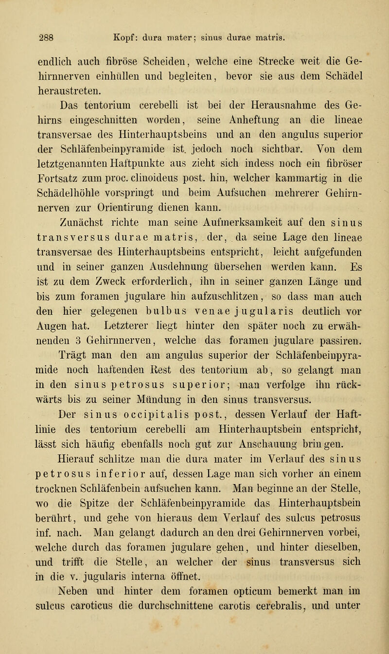endlich auch fibröse Scheiden, welche eine Strecke weit die Ge- hirnnerven einhüllen und begleiten, bevor sie aus dem Schädel heraustreten. Das tentorium cerebelli ist bei der Herausnahme des Ge- hirns eingeschnitten worden, seine Anheftung an die lineae transversae des Hinterhauptsbeins und an den angulus superior der Schläfenbeinpyramide ist. jedoch noch sichtbar. Von dem letztgenannten Haftpunkte aus zieht sich indess noch ein fibröser Fortsatz zum proc. clinoideus post. hin, welcher kammartig in die Schädel höhle vorspringt und beim Aufsuchen mehrerer Gehirn- nerven zur Orientirung dienen kann. Zunächst richte man seine Aufmerksamkeit auf den sinus tr ans versus durae matris, der, da seine Lage den lineae transversae des Hinterhauptsbeins entspricht, leicht aufgefunden und in seiner ganzen Ausdehnung übersehen werden kann. Es ist zu dem Zweck erforderlich, ihn in seiner ganzen Länge und bis zum foramen jugulare hin aufzuschlitzen, so dass man auch den hier gelegenen bulbus venaejugularis deutlich vor Augen hat. Letzterer liegt hinter den später noch zu erwäh- nenden 3 Gehirnnerven, welche das foramen jugulare passiren. Trägt man den am angulus superior der Schläfenbeinpyra- mide noch haftenden Rest des tentorium ab, so gelangt man in den sinus petrosus superior; man verfolge ihn rück- wärts bis zu seiner Mündung in den sinus transversus. Der sinus occipitalis post., dessen Verlauf der Haft- linie des tentorium cerebelli am Hinterhauptsbein entspricht, lässt sich häufig ebenfalls noch gut zur Anschauung bringen. Hierauf schlitze man die dura mater im Verlauf des sinus petrosus inferior auf, dessen Lage man sich vorher an einem trocknen Schläfenbein aufsuchen kann. Man beginne an der Stelle, wo die Spitze der Schläfenbeinpyramide das Hinterhauptsbein berührt, und gehe von hieraus dem Verlauf des sulcus petrosus inf. nach. Man gelangt dadurch an den drei Gehirnnerven vorbei, welche durch das foramen jugulare gehen, und hinter dieselben, und triift die Stelle, an welcher der sinus transversus sich in die v. jugularis interna öffnet. Neben und hinter dem foramen opticum bemerkt man im sulcus caroticus die durchschnittene carotis cerebralis, und unter