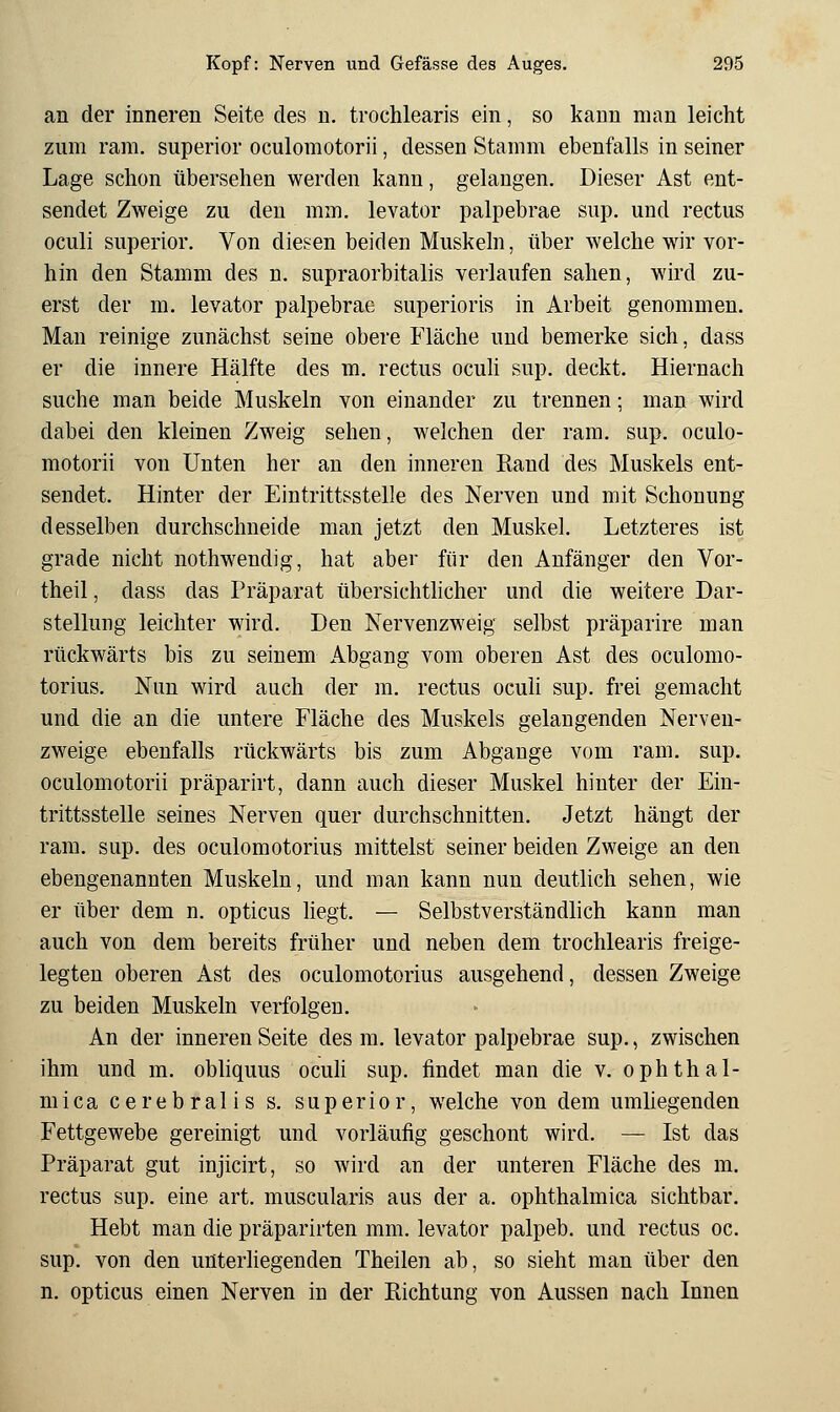 an der inneren Seite des u. trochlearis ein, so kann man leicht zum ram. superior oculomotorii, dessen Stamm ebenfalls in seiner Lage schon übersehen werden kann, gelangen. Dieser Ast ent- sendet Zweige zu den mm. levator palpebrae sup. und rectus oculi superior. Von diesen beiden Muskeln, über welche wir vor- hin den Stamm des n. supraorbitalis verlaufen sahen, wird zu- erst der m. levator palpebrae superioris in Arbeit genommen. Man reinige zunächst seine obere Fläche und bemerke sich, dass er die innere Hälfte des m. rectus oculi sup. deckt. Hiernach suche man beide Muskeln von einander zu trennen; man wird dabei den kleinen Zweig sehen, welchen der ram. sup. oculo- motorii von Unten her an den inneren Rand des Muskels ent- sendet. Hinter der Eintrittsstelle des Nerven und mit Schonung desselben durchschneide man jetzt den Muskel. Letzteres ist grade nicht nothwendig, hat aber für den Anfänger den Vor- theil, dass das Präparat übersichtlicher und die weitere Dar- stellung leichter wird. Den Nervenzweig selbst präparire man rückwärts bis zu seinem Abgang vom oberen Ast des oculomo- torius. Nun wird auch der ra. rectus oculi sup. frei gemacht und die an die untere Fläche des Muskels gelangenden Nerven- zweige ebenfalls rückwärts bis zum Abgange vom ram. sup. oculomotorii präparirt, dann auch dieser Muskel hinter der Ein- trittsstelle seines Nerven quer durchschnitten. Jetzt hängt der ram. sup. des oculomotorius mittelst seiner beiden Zweige an den ebengenannten Muskeln, und man kann nun deutlich sehen, wie er über dem n. opticus liegt. — Selbstverständlich kann man auch von dem bereits früher und neben dem trochlearis freige- legten oberen Ast des oculomotorius ausgehend, dessen Zweige zu beiden Muskeln verfolgen. An der inneren Seite des m. levator palpebrae sup., zwischen ihm und m. obliquus ocuh sup. findet man die v. ophthal- mica cerebralis s. superior, welche von dem umliegenden Fettgewebe gereinigt und vorläufig geschont wird. — Ist das Präparat gut injicirt, so wird an der unteren Fläche des m. rectus sup. eine art. muscularis aus der a. ophthalmica sichtbar. Hebt man die präparirten mm. levator palpeb. und rectus oc. sup. von den unterhegenden Theilen ab, so sieht man über den n. opticus einen Nerven in der Richtung von Aussen nach Innen