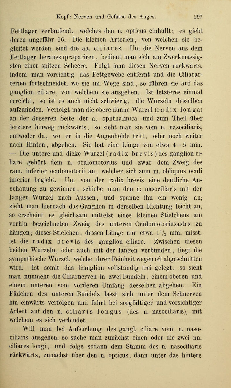 Fettlager verlaufend, welches den n. opticus einhüllt; es giebt deren ungefähr 16. Die kleinen Arterien, von welchen sie be- gleitet werden, sind die aa. ciliares. Um die Nerven aus dem Fettlager herauszupräparireu, bedient man sich am Zweckmässig- sten einer spitzen Scheere. Folgt man diesen Nerven rückwärts, indem man vorsichtig das Fettgewebe entfernt und die Ciliarar- terien fortschneidet, wo sie im Wege sind, so führen sie auf das ganglion ciliare, von welchem sie ausgehen. Ist letzteres einmal erreicht, so ist es auch nicht schwierig, die Wurzeln desselben aufzufinden. Verfolgt man die obere dünne Wurzel (radix longa) an der äusseren Seite der a. ophthalmica und zum Theil über letztere hinweg rückwärts, so sieht man sie vom n. nasociliaris, entweder da, wo er in die Augenhöhle tritt, oder noch weiter nach Hinten, abgehen. Sie hat eine Länge von etwa 4— 5 mm. — Die untere und dicke Wurzel (r ad ix bre vis) des ganglion ci- liare gehört dem n. oculomotorius und zwar dem Zweig des ram. inferior oculomotorii an, welcher sich zum m. obliquus oculi inferior begiebt. Um von der radix brevis eine deutliche An- schauung zu gewinnen, schiebe man den n: nasociliaris mit der langen Wurzel nach Aussen, und spanne ihn ein wenig an; zieht man hiernach das Ganghon in derselben Richtung leicht an, so erscheint es gleichsam mittelst eines kleinen Stielchens am vorhin bezeichneten Zweig des unteren Oculomotoriusastes zu hängen; dieses Stielchen, dessen Länge nur etwa 1V2 mm. misst, ist die radix brevis des ganglion ciliare. Zwischen diesen beiden Wurzeln, oder auch mit der langen verbunden, liegt die sympathische Wurzel, welche ihrer Feinheit wegen oft abgeschnitten wird. Ist somit das Ganglion vollständig frei gelegt, so sieht man nunmehr die Ciliarnerven in zwei Bündeln, einem oberen und einem unteren vom vorderen Umfang desselben abgehen. Ein Fädchen des unteren Bündels lässt sich unter dem Sehnerven hin einwärts verfolgen und führt bei sorgfältiger und vorsichtiger Arbeit auf den n. ciliaris longus (des n. nasociliaris), mit welchem es sich verbindet. Will man bei Aufsuchung des gangl. ciliare vom n. naso- ciliaris ausgehen, so suche man zunächst einen oder die zwei nn. ciliares longi, und folge sodann dem Stamm des n. nasociliaris rückwärts, zunächst über den n. opticus, dann unter das hintere