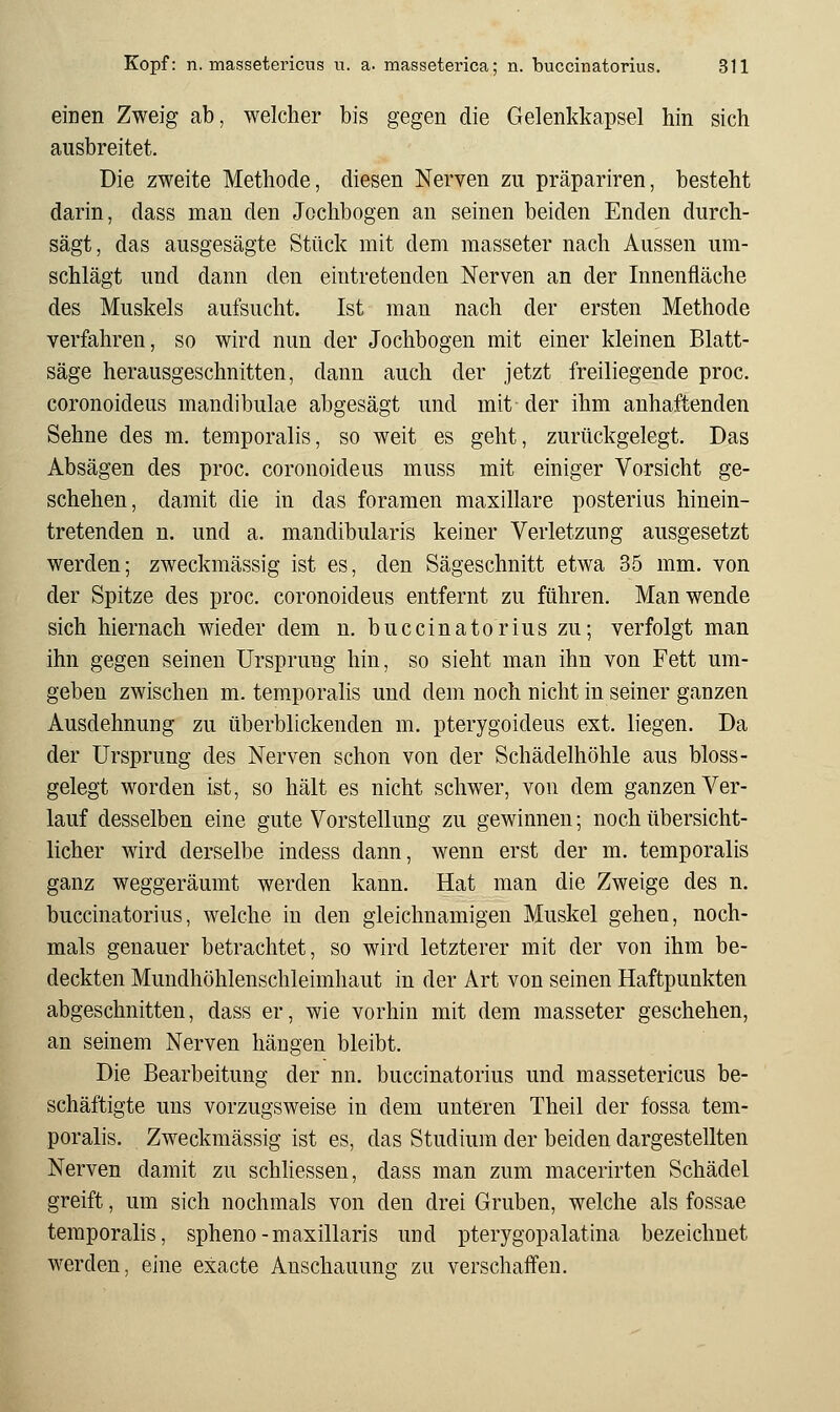 einen Zweig ab, welcher bis gegen die Gelenkkapsel hin sich ausbreitet. Die zweite Methode, diesen Nerven zu präpariren, besteht darin, dass man den Jochbogen an seinen beiden Enden durch- sägt, das ausgesägte Stück mit dem masseter nach Aussen um- schlägt und dann den eintretenden Nerven an der Innenfläche des Muskels aufsucht. Ist man nach der ersten Methode verfahren, so wird nun der Jochbogen mit einer kleinen Blatt- säge herausgeschnitten, dann auch der jetzt freiliegende proc. coronoideus mandibulae abgesägt und mit der ihm anhaftenden Sehne des m. temporalis, so weit es geht, zurückgelegt. Das Absägen des proc. coronoideus muss mit einiger Vorsicht ge- schehen, damit die in das foramen maxillare posterius hinein- tretenden n. und a. mandibularis keiner Verletzung ausgesetzt werden; zweckmässig ist es, den Sägeschnitt etwa 35 mm. von der Spitze des proc. coronoideus entfernt zu führen. Man wende sich hiernach wieder dem n. buccinatorius zu; verfolgt man ihn gegen seinen Ursprung hin, so sieht man ihn von Fett um- geben zwischen m. temporalis und dem noch nicht in seiner ganzen Ausdehnung zu tiberblickenden m. pterygoideus ext. liegen. Da der Ursprung des Nerven schon von der Schädelhöhle aus bloss- gelegt worden ist, so hält es nicht schwer, von dem ganzen Ver- lauf desselben eine gute Vorstellung zu gewinnen; noch übersicht- licher wird derselbe indess dann, wenn erst der m. temporalis ganz weggeräumt werden kann. Hat man die Zweige des n. buccinatorius, welche in den gleichnamigen Muskel gehen, noch- mals genauer betrachtet, so wird letzterer mit der von ihm be- deckten Mundhöhlenschleimhaut in der Art von seinen Haftpunkten abgeschnitten, dass er, wie vorhin mit dem masseter geschehen, an seinem Nerven hängen bleibt. Die Bearbeitung der nn. buccinatorius und massetericns be- schäftigte uns vorzugsweise in dem unteren Theil der fossa tem- poralis. Zweckmässig ist es, das Studium der beiden dargestellten Nerven damit zu schliessen, dass man zum macerirten Schädel greift, um sich nochmals von den drei Gruben, welche als fossae temporalis, spheno-maxillaris und pterygopalatina bezeichnet werden, eine exacte Anschauung zu verschaffen.