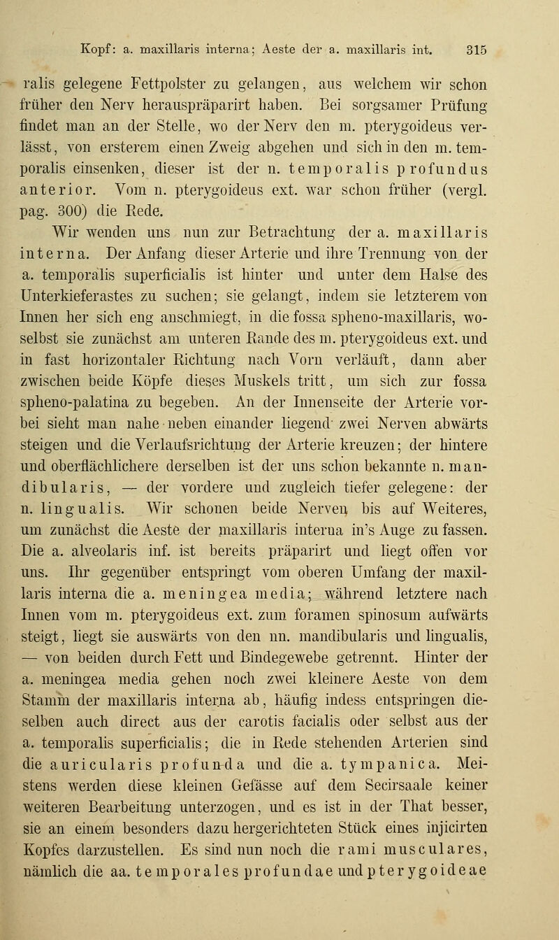 ralis gelegene Fettpolster zu gelangen, aus welchem wir schon früher den Nerv herauspräparirt haben. Bei sorgsamer Prüfung findet man an der Stelle, wo der Nerv den m. pterygoideus ver- lässt, von ersterem einen Zweig abgehen und sich in den m. tem- poral] s einsenken, dieser ist der n. t e ra p o r a 1 i s p r o f u n d u s anterior. Vom n. pterygoideus ext. war schon früher (vergl. pag. 300) die Rede. Wir wenden uns nun zur Betrachtung der a. maxillaris interna. Der Anfang dieser Arterie und ihre Trennung von der a. temporalis superficialis ist hinter und unter dem Halse des Unterkieferastes zu suchen; sie gelangt, indem sie letzterem von Innen her sich eng anschmiegt, in die fossa spheno-maxillaris, wo- selbst sie zunächst am unteren Rande des m. pterygoideus ext. und in fast horizontaler Richtung nach Vorn verläuft, dann aber zwischen beide Köpfe dieses Muskels tritt, um sich zur fossa spheno-palatina zu begeben. An der Innenseite der Arterie vor- bei sieht man nahe neben einander liegend' zwei Nerven abwärts steigen und die Verlaufsrichtung der Arterie kreuzen; der hintere und oberflächlichere derselben ist der uns schon bekannte n. man- dibularis, — der vordere und zugleich tiefer gelegene: der n. lingualis. Wir schonen beide Nerven bis auf Weiteres, um zunächst die Aeste der maxillaris interna in's Auge zu fassen. Die a. alveolaris inf. ist bereits präparirt und liegt offen vor uns. Ihr gegenüber entspringt vom oberen Umfang der maxil- laris interna die a. meningea media; während letztere nach Innen vom m. pterygoideus ext. zum foramen spinosum aufwärts steigt, liegt sie auswärts von den nn. mandibularis und linguahs, — von beiden durch Fett und Bindegewebe getrennt. Hinter der a. meningea media gehen noch zwei kleinere Aeste von dem Stamm der maxillaris interna ab, häufig indess entspringen die- selben auch direct aus der carotis facialis oder selbst aus der a. temporalis superficialis; die in Rede stehenden Arterien sind die auricularis profunda und die a. tympanica. Mei- stens werden diese kleinen Gefässe auf dem Secirsaale keiner weiteren Bearbeitung unterzogen, und es ist in der That besser, sie an einem besonders dazu hergerichteten Stück eines injicirten Kopfes darzustellen. Es sind nun noch die rami musculares, nämhch die aa. te mporales profundae undpterygoideae