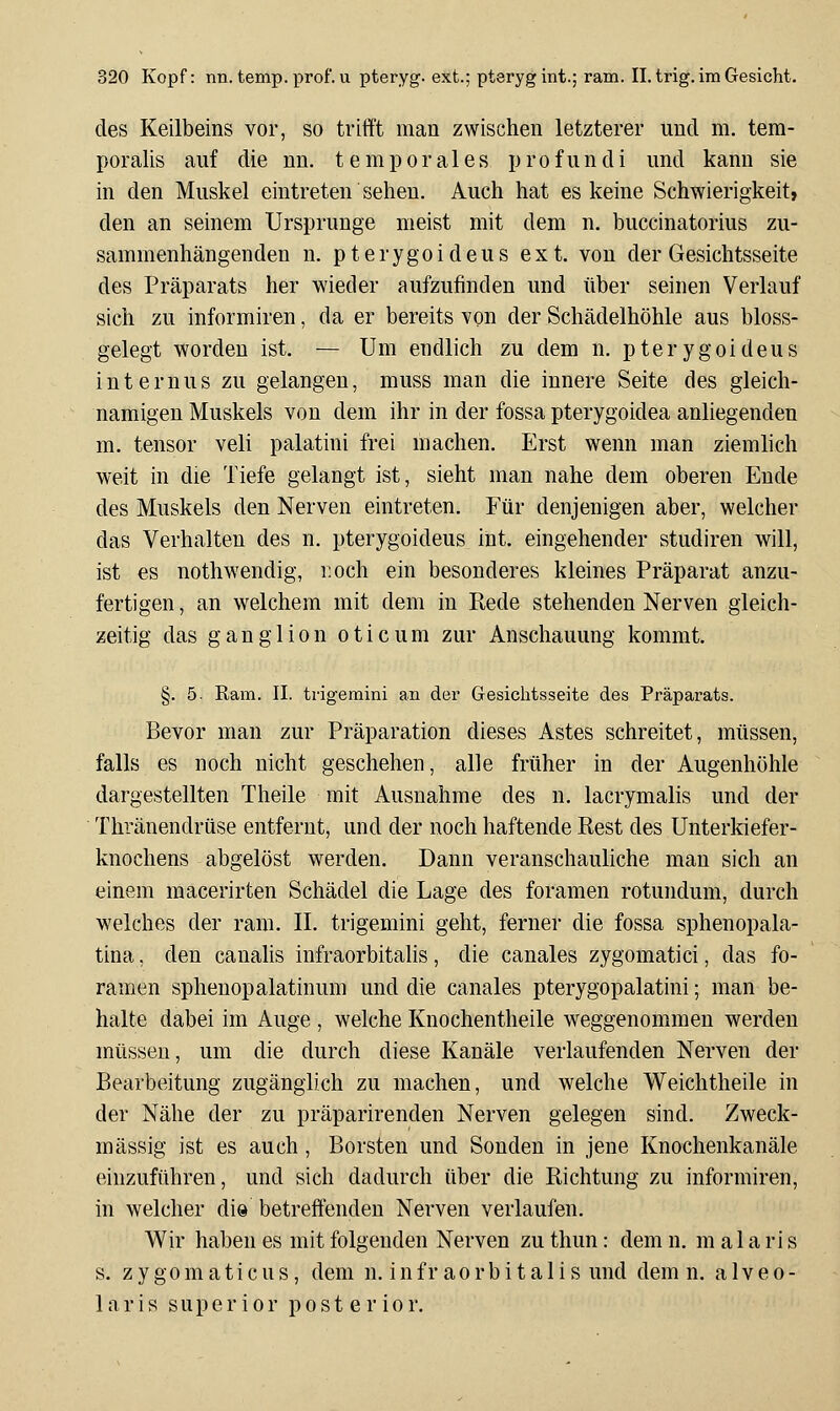 des Keilbeins vor, so trifft man zwischen letzterer und m. tera- poralis auf die nn. temporales profundi und kann sie in den Muskel eintreten sehen. Auch hat es keine Schwierigkeit, den an seinem Ursprünge meist mit dem n. buccinatorius zu- sammenhängenden n. pterygoideus ext. von der Gesichtsseite des Präparats her wieder aufzufinden und über seinen Verlauf sich zu informiren, da er bereits von der Schädelhöhle aus bloss- gelegt worden ist. — Um endlich zu dem n, pterygoideus internus zu gelangen, muss man die innere Seite des gleich- namigen Muskels von dem ihr in der fossa pterygoidea anliegenden m. tensor veli palatini frei machen. Erst wenn man ziemlich weit in die Tiefe gelangt ist, sieht man nahe dem oberen Ende des Muskels den Nerven eintreten. Für denjenigen aber, welcher das Verhalten des n. pterygoideus int. eingehender studiren will, ist es nothwendig, noch ein besonderes kleines Präparat anzu- fertigen , an welchem mit dem in Rede stehenden Nerven gleich- zeitig das ganglion oticum zur Anschauung kommt. §. 5. Ram. IL trigemini an der Gesichtsseite des Präparats. Bevor man zur Präparation dieses Astes schreitet, müssen, falls es noch nicht geschehen, alle früher in der Augenhöhle dargestellten Theile mit Ausnahme des n. lacrymalis und der Thränendrüse entfernt, und der noch haftende Rest des Unterkiefer- knochens abgelöst werden. Dann veranschauliche man sich an einem macerirten Schädel die Lage des foramen rotundum, durch welches der ram. II. trigemini geht, ferner die fossa sphenopala- tina, den canalis infraorbitalis, die canales zygomatici, das fo- ramen sphenopalatinum und die canales pterygopalatini; man be- halte dabei im Auge , welche Knochentheile weggenommen werden müssen, um die durch diese Kanäle verlaufenden Nerven der Bearbeitung zugänglich zu machen, und welche W^eichtheile in der Nähe der zu präparirenden Nerven gelegen sind. Zweck- mässig ist es auch, Borsten und Sonden in jene Knochenkanäle einzuführen, und sich dadurch über die Richtung zu informiren, in welcher die betreffenden Nerven verlaufen. Wir haben es mit folgenden Nerven zu thun: dem n. m al a ri s s. z y go m a ti c u s, dem n. in fr ao r b i t a 1 i s und dem n. a 1 v e o- laris superior posterior.