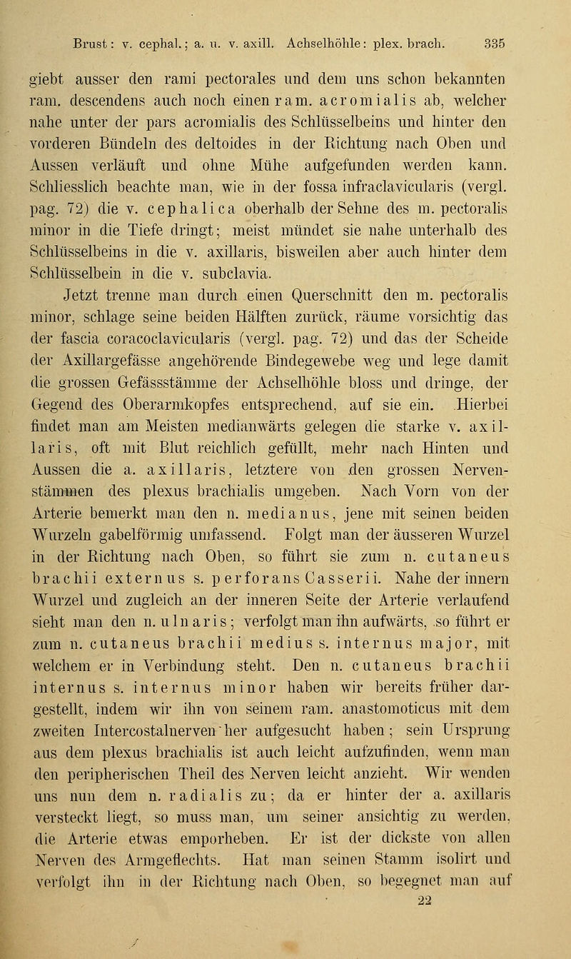 giebt ausser den rami pectorales und dem uns schon bekannten ram. descendens auch noch einen ram. acromialis ab, welcher nahe unter der pars acromiahs des Schlüsselbeins und hinter den vorderen Bündeln des deltoides in der Richtung nach Oben und Aussen verläuft und ohne Mühe aufgefunden werden kann. Schliesslich beachte man, wie in der fossa infraclavicularis (vergl. pag. 72) die v. cephalica oberhalb der Sehne des m. pectoralis minor in die Tiefe dringt; meist mündet sie nahe unterhalb des Schlüsselbeins in die v. axillaris, bisweilen aber auch hinter dem Schlüsselbein in die v. subclavia. Jetzt trenne man durch einen Querschnitt den m. pectoralis minor, schlage seine beiden Hälften zurück, räume vorsichtig das der fascia coracoclavicularis (vergl, pag. 72) und das der Scheide der Axillargefässe angehörende Bindegewebe weg und lege damit die grossen Gefässstämme der Achselhöhle bloss und dringe, der Gegend des Oberarmkopfes entsprechend, auf sie ein. Hierbei findet man am Meisten medianwärts gelegen die starke v. axil- laris, oft mit Blut reicUich gefüllt, mehr nach Hinten und Aussen die a. axillaris, letztere von .den grossen Nerven- stämmen des plexus brachialis umgeben. Nach Vorn von der Arterie bemerkt man den n. medianus, jene mit seinen beiden Wurzeln gabelförmig umfassend. Folgt man der äusseren Wurzel in der Richtung nach Oben, so führt sie zum n. cutaneus brachii extern us s. p erforans Casserii. Nahe der Innern Wurzel und zugleich an der inneren Seite der Arterie verlaufend sieht man den n. uln aris ; verfolgt mau ihn aufwärts, so führt er zum n. cutaneus brachii medius s. internus major, mit welchem er in Verbindung steht. Den n. cutaneus brachii internus s. internus minor haben wir bereits früher dar- gestellt, indem wir ihn von seinem ram. anastomoticus mit dem zweiten Intercostalnervenher aufgesucht haben; sein Ursprung aus dem plexus brachiahs ist auch leicht aufzufinden, wenn mau den peripherischen Theil des Nerven leicht anzieht. Wir wenden uns nun dem n. r a d i a 1 i s zu ; da er hinter der a. axillaris versteckt liegt, so muss man, um seiner ansichtig zu werden, die Arterie etwas emporheben. Er ist der dickste von allen Nerven des Armgeflechts. Hat man seinen Stamm isolirt und verfolgt ihn in der Richtung nach Oben, so begegnet man auf 22