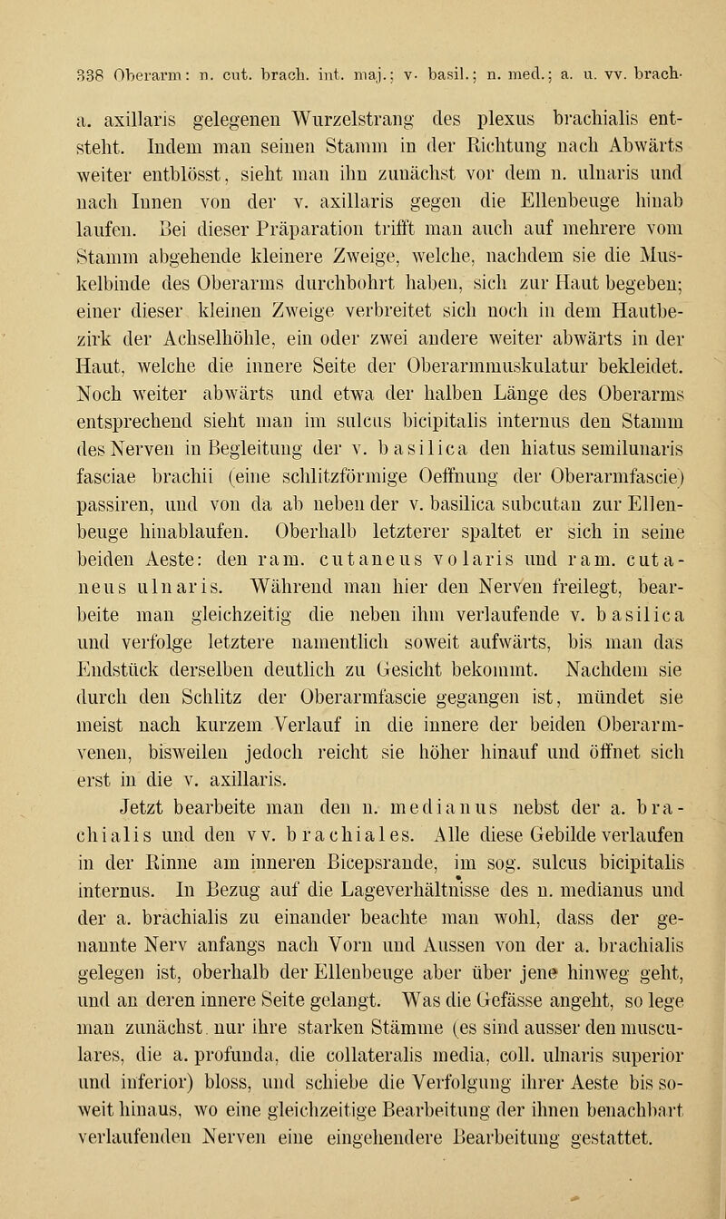 a. axillaris gelegenen Wurzelstrang des plexiis brachialis ent- steht. Indem man seinen Stamm in der Richtung nach Abwärts weiter entblösst, sieht man ihn zunächst vor dem n. ulnaris und nach Innen von der v. axillaris gegen die Ellenbeuge hinab laufen. Bei dieser Präparation trifft man auch auf mehrere vom Stamm abgehende kleinere Zweige, welche, nachdem sie die Mus- kelbinde des Oberarms durchbohrt haben, sich zur Haut begeben; einer dieser kleinen Zweige verbreitet sich noch in dem Hautbe- zirk der Achselhöhle, ein oder zwei andere weiter abwärts in der Haut, welche die innere Seite der Oberarmmuskulatur bekleidet. Noch weiter abwärts und etwa der halben Länge des Oberarms entsprechend sieht man im sulcus bicipitalis internus den Stamm des Nerven in Begleitung der v. basilica den hiatus semilunaris fasciae brachii (eine schlitzförmige Oeffnung der Oberarmfascie) passiren, und von da ab neben der v. basilica subcutan zur Ellen- beuge hinablaufen. Oberhalb letzterer spaltet er sich in seine beiden Aeste: den ram. cutaneus volaris und ram. cuta- neus ulnaris. Während man hier den Nerven freilegt, bear- beite man gleichzeitig die neben ihm verlaufende v. basilica und verfolge letztere namenthch soweit aufwärts, bis man das Endstück derselben deutMch zu Gesicht bekommt. Nachdem sie durch den Schlitz der Oberarmfascie gegangen ist, mündet sie meist nach kurzem Verlauf in die innere der beiden Oberarm- venen, bisweilen jedoch reicht sie höher hinauf und öffnet sich erst in die v. axillaris. Jetzt bearbeite man den n. medianus nebst der a. bra- chialis und den vv. brachiales. Alle diese Gebilde verlaufen in der Rinne am inneren Bicepsrande, im sog. sulcus bicipitalis internus. In Bezug auf die Lageverhältnisse des n. medianus und der a. brachialis zu einander beachte man wohl, dass der ge- nannte Nerv anfangs nach Vorn und Aussen von der a. brachialis gelegen ist, oberhalb der Ellenbeuge aber über jene hinweg geht, und an deren innere Seite gelangt. Was die Gefässe angeht, so lege man zunächst, nur ihre starken Stämme (es sind ausser den muscu- lares, die a. profunda, die collateralis media, coli, ulnaris superior und inferior) bloss, und schiebe die Verfolgung ihrer Aeste bis so- weit hinaus, wo eine gleichzeitige Bearbeitung der ihnen benachliart verlaufenden Nerven eine eingehendere Bearbeitung gestattet.