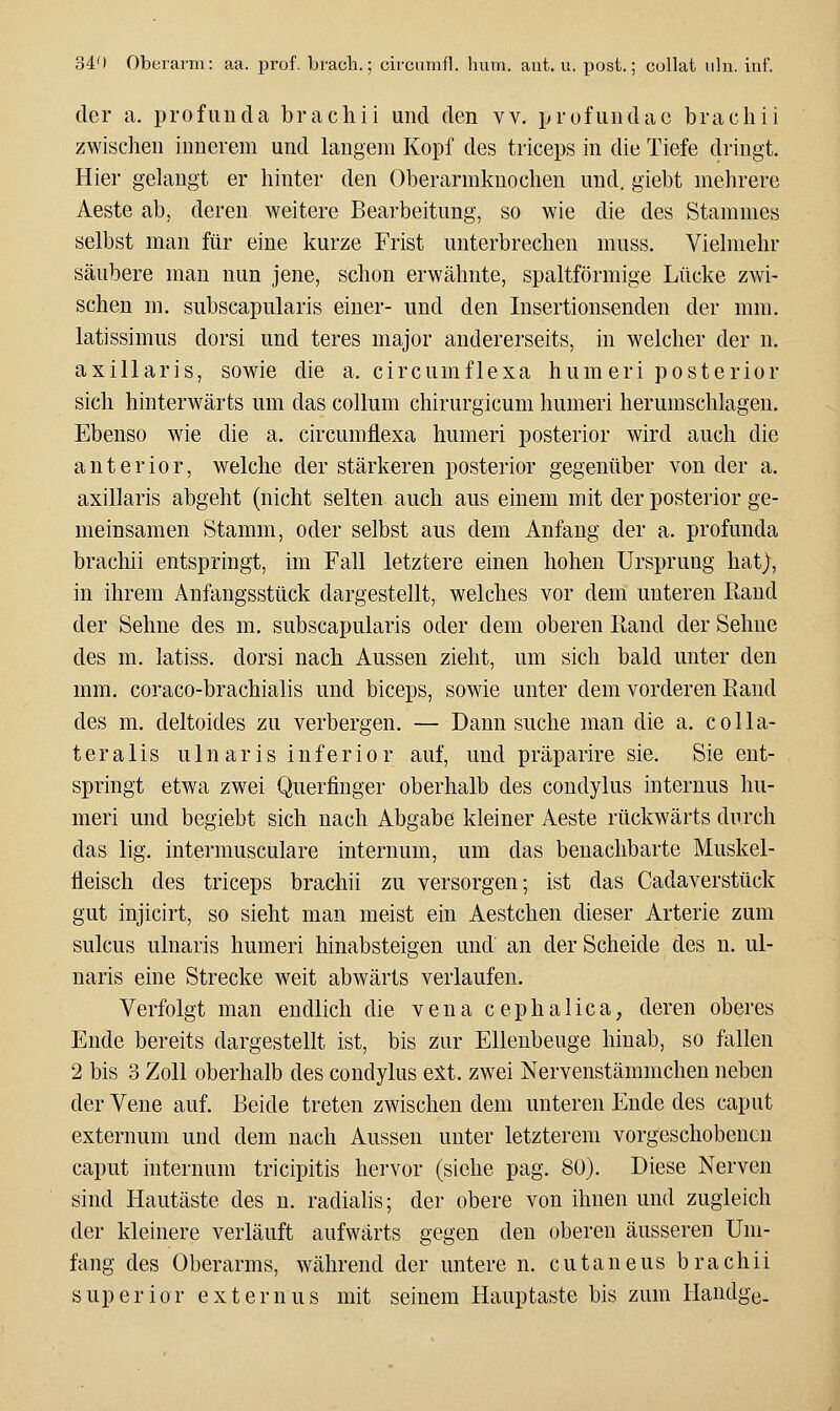 der a. profunda brachii und den vv. prufundae bracliii zwischen innerem und langem Kopf des triceps in die Tiefe dringt. Hier gelangt er hinter den Oberarmknochen und. giebt mehrere Aeste ab, deren weitere Bearbeitung, so wie die des Stammes selbst man für eine kurze Frist unterbrechen muss. Vielmehr säubere man nun jene, schon erwähnte, spaltförmige Lücke zwi- schen m. subscapularis einer- und den Insertionsenden der mm. latissimus dorsi und teres major andererseits, in welcher der n. axillaris, sowie die a. circumflexa hum eri posterior sich hinterwärts um das Collum chirurgicum humeri herumschlagen. Ebenso wie die a. circumflexa humeri posterior wird auch die anterior, welche der stärkeren posterior gegenüber von der a. axillaris abgeht (nicht selten auch aus einem mit der posterior ge- meinsamen Stamm, oder selbst aus dem Anfang der a. profunda brachii entspringt, im Fall letztere einen hohen Ursprung hat), in ihrem Anfangsstück dargestellt, welches vor dem unteren Rand der Sehne des m. subscapularis oder dem oberen Rand der Sehne des m. latiss. dorsi nach Aussen zieht, um sich bald unter den mm. coraco-brachialis und biceps, sowie unter dem vorderen Eand des m. deltoides zu verbergen. — Dann suche man die a. colla- t e r a 1 i s u 1 n a r i s inferior auf, und präparire sie. Sie ent- springt etwa zwei Querfinger oberhalb des coudylus internus hu- meri und begiebt sich nach Abgabe kleiner Aeste rückwärts durch das lig. intermusculare internum, um das benachbarte Muskel- fleisch des triceps brachii zu versorgen; ist das Cadaverstück gut injicirt, so sieht man meist ein Aestchen dieser Arterie zum sulcus ulnaris humeri hinabsteigen und an der Scheide des u. ul- naris eine Strecke weit abwärts verlaufen. Verfolgt man endlich die vena cephalica, deren oberes Ende bereits dargestellt ist, bis zur Ellenbeuge hinab, so fallen 2 bis 3 Zoll oberhalb des condylus eXt. zwei Nervenstämmchen neben der Vene auf. Beide treten zwischen dem unteren Ende des caput externum und dem nach Aussen unter letzterem vorgeschobenen Caput internum tricipitis hervor (siehe pag. 80). Diese Nerven sind Hautäste des n. radialis; der obere von ihnen und zugleich der kleinere verläuft aufwärts gegen den oberen äusseren Um- fang des Oberarms, während der untere n. cutaneus brachii superior externus mit seinem Hauptaste bis zum Handge.