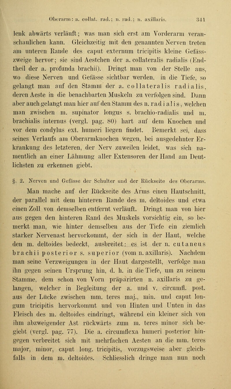 lenk abwärts verläuft; was man sich erst am Vorderarm veran- schaulichen kann. Gleichzeitig mit den genannten Nerven treten am unteren Rande des caput externum tricipitis kleine Gefäss- zweige hervor; sie sind Aestchen der a. collateralis radialis (End- theil der a. profunda brachii). Dringt man von der Stelle aus, wo diese Nerven und Gefässe sichtbar werden, in die Tiefe, so gelangt man auf den Stamm der a. collateralis radialis, deren Aeste in die benachbarten Muskeln zu verfolgen sind. Dann aber auch gelangt man hier auf den Stamm des n. rad i ali s, welchen man zwischen m. supinator longus s. brachio-radialis und m. brachialis internus (vergl. pag. 80) hart auf dem Knochen und vor dem condylus ext. humeri liegen findet. Bemerkt sei, dass seines Verlaufs am Oberarmknochen wegen, bei ausgedehnter Er- krankung des letzteren, der Nerv zuweilen leidet, was sich na- mentlich an einer Lähmung aller Exteusoren der Hand am Deut- lichsten zu erkennen giebt. §. 2. Nerven und Gefässe der Schulter und der Rückseite des Oberarms. Man mache auf der Rückseite des Arms einen Hautschnitt, der parallel mit dem hinteren Rande des m. deltoides und etwa einen Zoll von demselben entfernt verläuft. Dringt man von hier aus gegen den hinteren Rand des Muskels vorsichtig ein, so be- merkt man, wie hinter demselben aus der Tiefe ein ziemlich starker Nervenast hervorkommt, der sich in der Haut, welche den m. deltoides bedeckt, ausbreitet: es ist der n. cutaneus brachii posterior s. s u p e r i o r (vom n. axillaris). Nachdem man seine Verzweigungen in der Haut dargestellt, verfolge man ihn gegen seinen Ursprung hin, d. h. in die Tiefe, um zu seinem Stamme, dem schon von Vorn präparirten n. axillaris zu ge- langen, welcher in Begleitung der a. und v. circumfl. post. aus der Lücke zwischen mm. teres maj., min. und caput lon- gum tricipitis hervorkommt und von Hinten und Unten in das Fleisch des m. deltoides eindringt, während ein kleiner sich von ihm abzweigender Ast rückwärts zum m. teres minor sich be- giebt (vergl. pag. 77). Die a. circumflexa humeri posterior hin- gegen verbreitet sich mit mehrfachen Aesten an die mm. teres major, minor, caput long, tricipitis, vorzugsweise aber gleich- falls in dem m. deltoides. Schliesslich dringe man nun noch