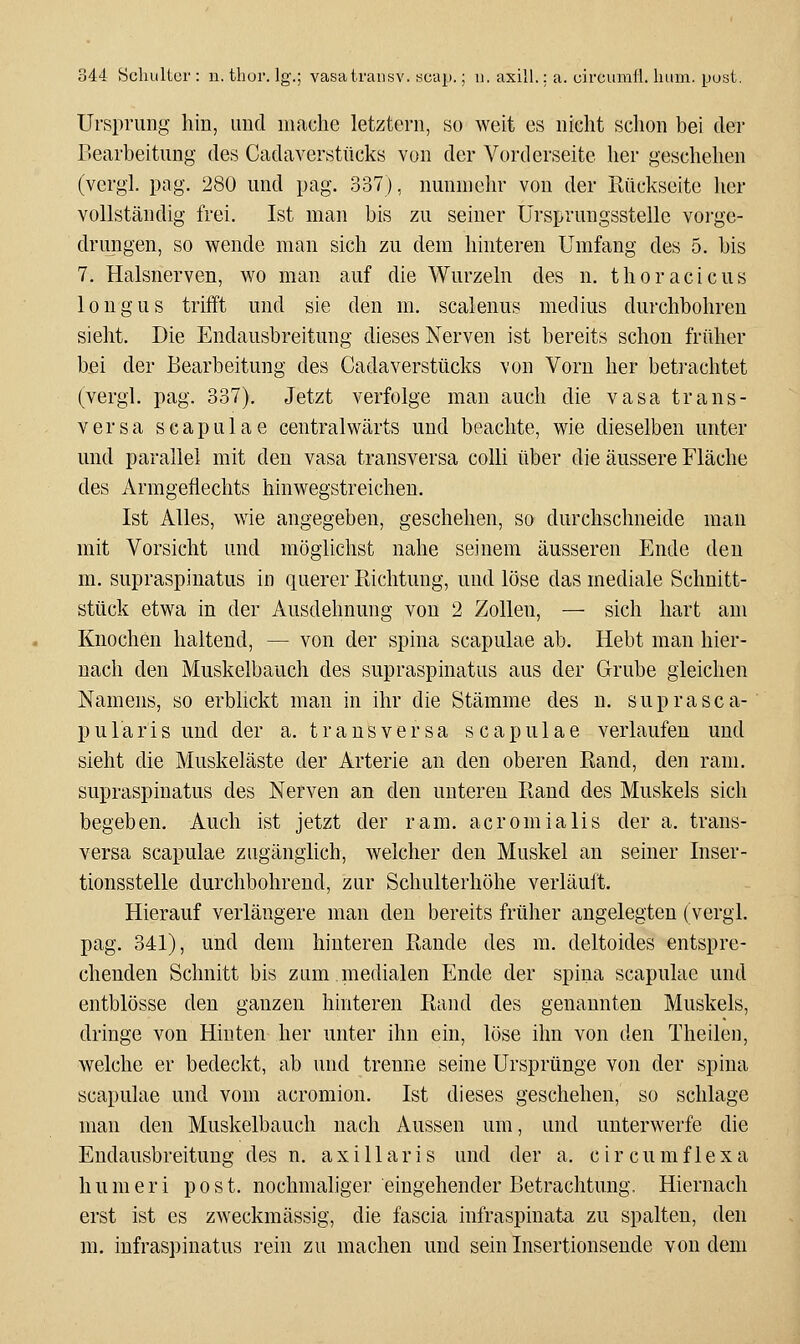 Ursprung- hin, und mache letztern, so weit es nicht schon bei der Bearbeitung des Cadaverstücks von der Vorderseite her geschehen (vergl. pag. 280 und pag. 337), nunmehr von der Rückseite her vollständig frei. Ist man bis zu seiner Ursprungsstelle vorge- drungen, so wende man sich zu dem hinteren Umfang des 5. bis 7. Halsnerven, wo man auf die Wurzeln des n. thoracicus 10 n g u s trifft und sie den m. scalenus medius durchbohren sieht. Die Endausbreitung dieses Nerven ist bereits schon früher bei der Bearbeitung des Cadaverstücks von Vorn her betrachtet (vergl. pag. 337). Jetzt verfolge man auch die vasa trans- versa scapulae centralwärts und beachte, wie dieselben unter und parallel mit den vasa transversa colli über die äussere Fläche des Armgeflechts liinwegstreicheu. Ist Alles, wie angegeben, geschehen, so durchschneide man mit Vorsicht und möglichst nahe seinem äusseren Ende den m. supraspinatus in querer Richtung, und löse das mediale Schnitt- stück etwa in der Ausdehnung von 2 Zollen, — sich hart am Knochen haltend, — von der spina scapulae ab. Hebt man hier- nach den Muskelbauch des supraspinatus aus der Grube gleichen Namens, so erblickt man in ihr die Stämme des n. suprasca- pu 1 aris und der a. transversa scapulae verlaufen und sieht die Muskeläste der Arterie an den oberen Rand, den ram. supraspinatus des Nerven an den unteren Rand des Muskels sich begeben. Auch ist jetzt der ram. acromialis der a. trans- versa scapulae zugänglich, welcher den Muskel an seiner Inser- tionsstelle durchbohrend, zur Schulterhöhe verläuft. Hierauf verlängere man den bereits früher angelegten (vergl. pag. 341), und dem hinteren Rande des m. deltoides entspre- chenden Schnitt bis zum.medialen Ende der spina scapulae und entblösse den ganzen hinteren Rand des genannten Muskels, dringe von Hinten her unter ihn ein, löse ihn von den Theilen, welche er bedeckt, ab und trenne seine Ursprünge von der spina scapulae und vom acromion. Ist dieses geschehen, so schlage man den Muskelbauch nach Aussen um, und unterwerfe die Endausbreitung des n. axillaris und der a. circumflexa humeri post. nochmahger eingehender Betrachtung. Hiernach erst ist es zweckmässig, die fascia infraspinata zu spalten, den m. iufraspinatus rein zu machen und sein Insertionsende von dem