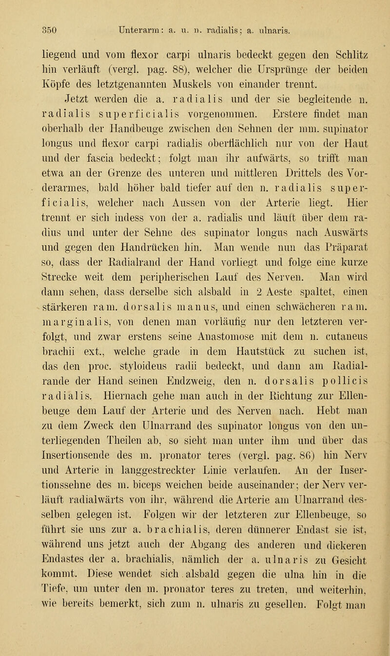 liegend und vom flexor carpi ulnaris bedeckt gegen den Schlitz hin verläuft (vergl. pag. 88), welcher die Ursprünge der beiden Köpfe des letztgenannten Muskels von einander trennt. Jetzt werden die a. radialis und der sie begleitende n. radialis superficialis vorgenommen. Erstere findet man oberhalb der Handbeuge zwischen den Sehnen der mm. supinator longus und flexor carpi radialis oberflächlich nur von der Haut und der fascia bedeckt; folgt man ihr aufwärts, so trifft man etwa an der Grenze des unteren und mittleren Drittels des Vor- derarmes, bald höher bald tiefer auf den n. radialis super- ficialis, welcher nach Aussen von der Arterie liegt. Hier trennt er sich indess von der a. radiahs und läuft über dem ra- dius und unter der Sehne des supinator longus nach Auswärts und gegen den Handrücken hin. Man wende nun das Präparat so, dass der Radialrand der Hand vorliegt und folge eine kurze Strecke weit dem peripherischen Lauf des Nerven. Man wird dann sehen, dass derselbe sich alsbald in 2 Aeste spaltet, einen stärkeren ram. dorsalis manus, und einen schwächeren ram. marginalis, von denen man vorläufig nur den letzteren ver- folgt, und zwar erstens seine Anastomose mit dem n. cutaneus brachii ext., welche grade in dem Hautstück zu suchen ist, das den proc. styloideus radii bedeckt, und dann am Kadial- rande der Hand seinen Endzweig, den n. dorsalis pollicis radialis. Hiernach gehe man auch in der llichtung zur Ellen- beuge dem Lauf der Arterie und des Nerven nach. Hebt man zu dem Zweck den ülnarrand des supinator longus von den un- terliegenden Theilen ab, so sieht man unter ihm und über das Insertionsende des m. pronator teres (vergl. pag. 86) hin Nerv und Arterie in langgestreckte]- Linie verlaufen. An der luser- tionssehne des m. biceps weichen beide auseinander; der Nerv ver- läuft radialwärts von ihr, während die Arterie am Ülnarrand des- selben gelegen ist. Folgen wir der letzteren zur Ellenbeuge, so führt sie uns zur a. brachialis, deren dünnerer Endast sie ist, während uns jetzt auch der Abgang des anderen und dickeren Endastes der a. brachialis, nämlich der a. ulnaris zu Gesicht kommt. Diese wendet sich. alsbald gegen die ulna hin in die Tiefe, um unter den m. pronator teres zu treten, und weiterhin, wie bereits bemerkt, sich zum n. ulnaris zu gesellen. Folgt man