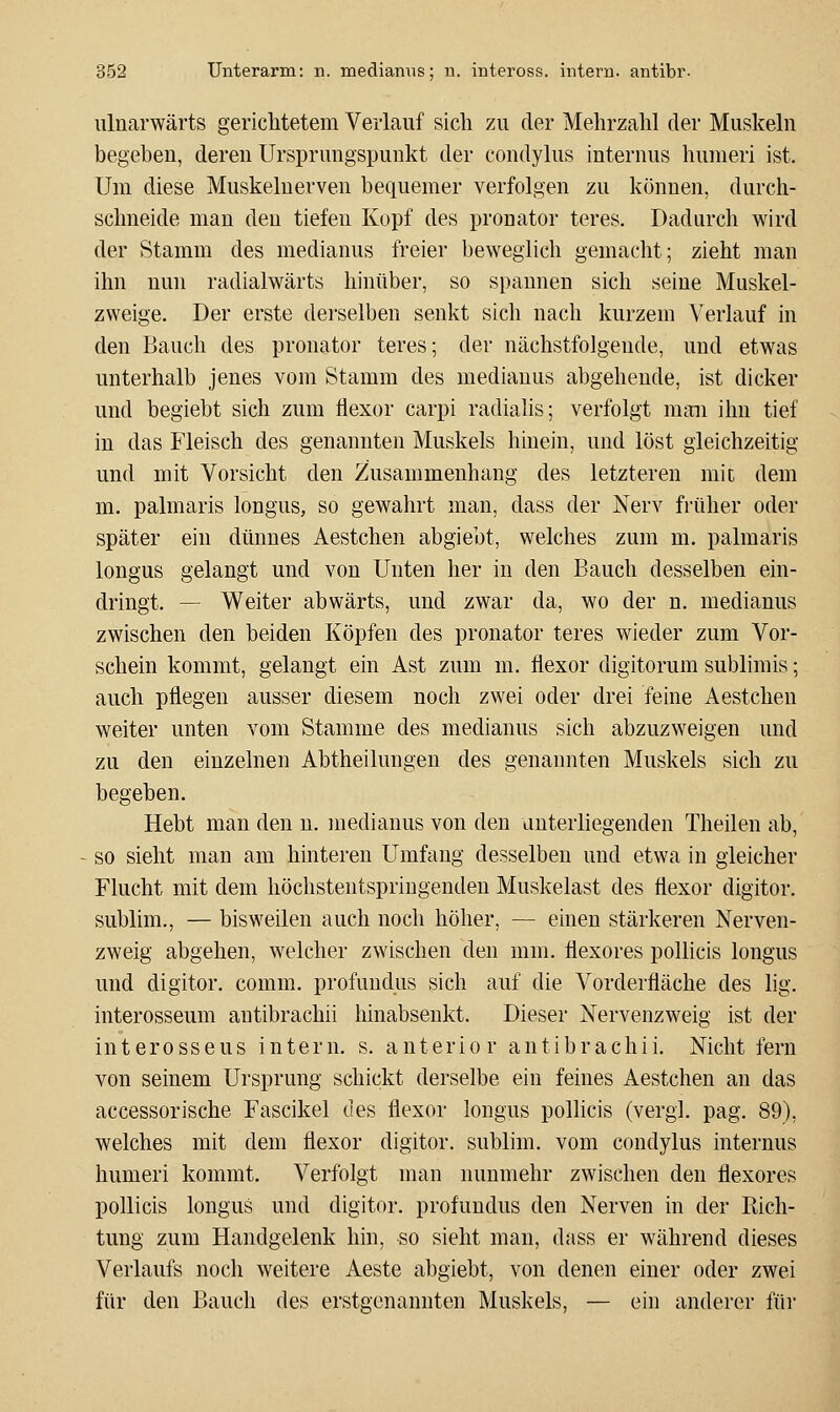 ulnarwärts gerichtetem Verlauf sich zu der Mehrzahl der Muskeln begehen, deren Ursprungspunkt der condylus internus hunieri ist. Um diese Muskelnerven bequemer verfolgen zu können, durch- schneide man den tiefen Kopf des pronator teres. Dadurch wird der Stamm des medianus freier beweglich gemacht; zieht man ihn nun radialwärts hinüber, so spannen sich seine Muskel- zweige. Der erste derselben senkt sich nach kurzem A'erlauf in den Bauch des pronator teres; der nächstfolgende, und etwas unterhalb jenes vom Stamm des medianus abgehende, ist dicker und begiebt sich zum flexor carpi radialis; verfolgt man ihn tief in das Fleisch des genannten Muskels hinein, und löst gleichzeitig und mit Vorsicht den Zusammenhang des letzteren mit dem m. palmaris longus, so gewahrt man, dass der Nerv früher oder später ein dünnes Aestchen abgiebt, welches zum m. palmaris longus gelangt und von Unten her in den Bauch desselben ein- dringt. — Weiter abwärts, und zwar da, wo der n. medianus zwischen den beiden Köpfen des pronator teres wieder zum Vor- schein kommt, gelangt ein Ast zum m. flexor digitorum sublimis; auch pflegen ausser diesem noch zwei oder drei feine Aestchen weiter unten vom Stamme des medianus sich abzuzweigen und zu den einzelnen Abtheilungen des genannten Muskels sich zu begeben. Hebt man den n. medianus von den unterliegenden Theilen ab, so sieht man am hinteren Umfang desselben und etwa in gleicher Flucht mit dem höchstentspringenden Muskelast des flexor digitor. sublim., — bisweilen auch noch höher, — einen stärkeren Nerven- zweig abgehen, welcher zwischen den mm. flexores pollicis longus und digitor. comm. profundus sich auf die Vorderfläche des lig. interosseum antibrachii hinabsenkt. Dieser Nervenzweig ist der interosseus intern, s. anterior antibrachii. Nicht fern von seinem Ursprung schickt derselbe ein feines Aestchen an das accessorische Fascikel des flexor longus pollicis (vergl. pag. 89), welches mit dem flexor digitor. sublim, vom condylus internus humeri kommt. Verfolgt man nunmehr zwischen den flexores pollicis longus und digitor. profundus den Nerven in der Rich- tung zum Handgelenk hin, so sieht man, dass er während dieses Verlaufs noch weitere Aeste abgiebt, von denen einer oder zwei für den Bauch des erstgenannten Muskels, — ein anderer für