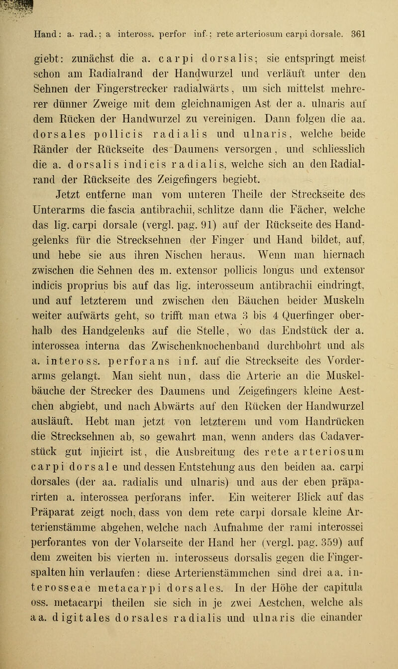 giebt: zunächst die a. carpi dorsalis; sie entspringt meist schon am Radialrand der Handwurzel und verläuft unter den Sehnen der Fingerstrecker radialwärts, um sich mittelst mehre- rer dünner Zweige mit dem gleichnamigen Ast der a. ulnaris auf dem Rücken der Handwurzel zu vereinigen. Dann folgen die aa, dorsales pollicis radialis und ulnaris, welche beide Ränder der Rückseite des Daumens versorgen, und schliesslich die a. dorsalis indicis radialis, welche sich an den Radial- rand der Rückseite des Zeigefingers begiebt. Jetzt entferne man vom unteren Theile der Streckseite des Unterarms die fascia antibrachii, schlitze dann die Fächer, welche das lig. carpi dorsale (vergl. pag. 91) auf der Rückseite des Hand- gelenks für die Strecksehnen der Finger und Hand bildet, auf, und hebe sie aus ihren Nischen heraus. Wenn man hiernach zwischen die Sehnen des m. extensor pollicis longus und extensor indicis proprius bis auf das lig. interosseum antibrachii eindringt, und auf letzterem und zwischen den Bäuchen beider Muskeln weiter aufwärts geht, so trifft man etwa 3 bis 4 Querfinger ober- halb des Handgelenks auf die Stelle, wo das Endstück der a. interossea interna das Zwischenknochenband durchbohrt und als a. inteross. perfor ans inf. auf die Streckseite des Vorder- arms gelangt. Man sieht nun, dass die Arterie an die Muskel- bäuche der Strecker des Daumens und Zeigefingers kleine Aest- chen abgiebt, und nach Abwärts auf den Rücken der Handwurzel ausläuft. Hebt man jetzt von letzterem und vom Handrücken die Strecksehnen ab, so gewahrt man, wenn anders das Cadaver- stück gut injicirt ist, die Ausbreitung des rete arteriosum carpidorsale und dessen Entstehung aus den beiden aa. carpi dorsales (der aa. radialis und ulnaris) und aus der eben präpa- rirten a. interossea perforans infer. Ein weiterer Blick auf das Präparat zeigt noch, dass von dem rete carpi dorsale kleine Ar- terienstämme abgehen, welche nach Aufnahme der rami interossei perforantes von der Volarseite der Hand her (vergl. pag. 359) auf dem zweiten bis vierten m. interosseus dorsalis gegen die Finger- spalten hin verlaufen: diese Arterienstämmchen sind drei aa. in- terosseae metacarpi dorsales. In der Höhe der capitula oss. metacarpi theilen sie sich in je zwei Aestchen, welche als aa, digitales dorsales radialis und ulnaris die einander