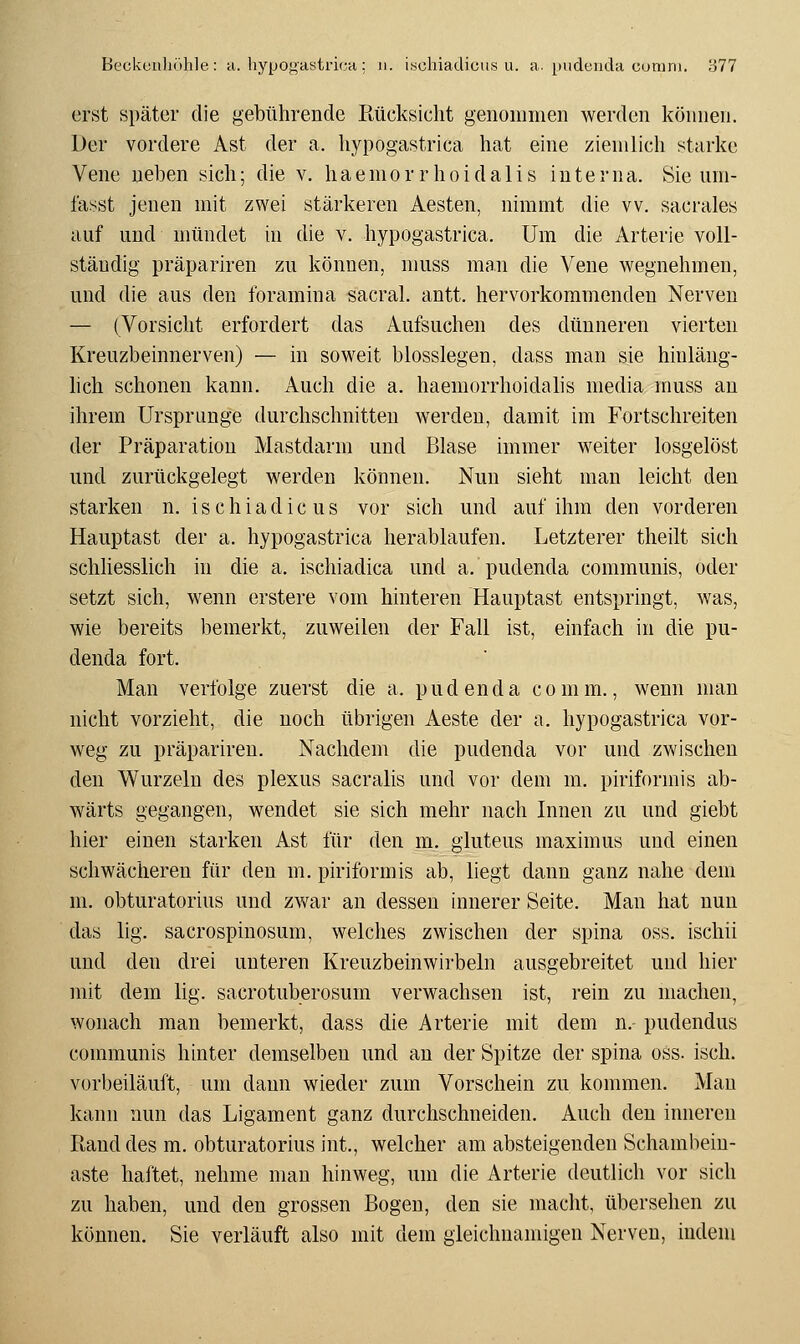 erst später die gebührende Rücksicht genommen werden können. Der vordere Ast der a. hypogastrica hat eine ziemlich starke Vene neben sich; die v. haemor rhoidalis interna. Sie uni- fasst jenen mit zwei stärkeren Aesten, nimmt die vv. sacrales auf und mündet in die v. hypogastrica. Um die Arterie voll- ständig präpariren zu können, nmss man die Vene wegnehmen, und die aus den foramina sacral. antt. hervorkommenden Nerven — (Vorsicht erfordert das Aufsuchen des dünneren vierten Kreuzbeinnerven) — in soweit biossiegen, dass man sie hinläng- hch schonen kann. Auch die a. haemorrhoidalis media muss an ihrem Ursprünge durchschnitten werden, damit im Fortschreiten der Präparation Mastdarm und Blase immer weiter losgelöst und zurückgelegt werden können. Nun sieht man leicht den starken n. ischiadicus vor sich und auf ihm den vorderen Hauptast der a. hypogastrica herablaufen. Letzterer theilt sich schhesslich in die a. ischiadica und a. pudenda communis, oder setzt sich, wenn erstere vom hinteren Hauptast entspringt, was, wie bereits bemerkt, zuweilen der Fall ist, einfach in die pu- denda fort. Man verfolge zuerst die a. pudenda comm., wenn man nicht vorzieht, die noch übrigen Aeste der a. hypogastrica vor- weg zu präpariren. Nachdem die pudenda vor und zwischen den Wurzeln des plexus sacralis und vor dem m. piriformis ab- wärts gegangen, wendet sie sich mehr nach Innen zu und giebt hier einen starken Ast für den m. gluteus maximus und einen schwächeren für den m. piriformis ab, liegt dann ganz nahe dem m. obturatorius und zwar an dessen innerer Seite. Man hat nun das lig. sacrospinosum, welches zwischen der spina oss. iscliii und den drei unteren Kreuzbeinwirbeln ausgebreitet und hier mit dem lig. sacrotuberosum verwachsen ist, rein zu machen, wonach man bemerkt, dass die Arterie mit dem n. pudendus communis hinter demselben und an der Spitze der spina oss. isch. vorbeiläuft, um dann wieder zum Vorschein zu kommen. Man kann nun das Ligament ganz durchschneiden. Auch den inneren Rand des m. obturatorius int., welcher am absteigenden Schambein- aste haftet, nehme man hinweg, um die Arterie deutlich vor sich zu haben, und den grossen Bogen, den sie macht, übersehen zu können. Sie verläuft also mit dem gleichnamigen Nerven, indem