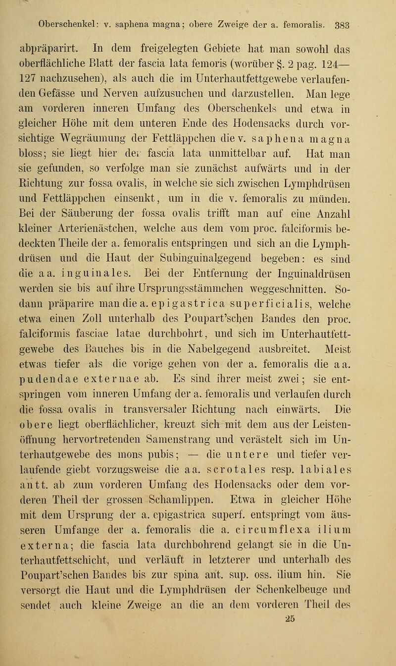 abpräparirt. In dem freigelegten Gebiete hat man sowohl das oberflächliche Blatt der fascia lata femoris (worüber §. 2 pag. 124— 127 nachzusehen), als auch die im Unterhautfettgewebe verlaufen- den Gefässe und Nerven aufzusuchen und darzustellen. Man lege am vorderen inneren Umfang des Oberschenkels und etwa in gleicher Höhe mit dem unteren Ende des Hodensacks durch vor- sichtige Wegräumung der Fettläpp cheu diev. saphena magna bloss; sie liegt hier der fascia lata unmittelbar auf. Hat man sie gefunden, so verfolge man sie zunächst aufwärts und in der Richtung zur fossa ovalis, in welche sie sich zwischen Lymphdrüsen und Fettläppchen einsenkt, um in die v. femorahs zu münden. Bei der Säuberung der fossa ovalis trifft man auf eine Anzahl kleiner Arterienästchen, welche aus dem vom proc. falciformis be- deckten Theile der a. femoralis entspringen und sich an die Lymph- drüsen und die Haut der Subinguinalgegeud begeben: es sind die aa. inguinales. Bei der Entfernung der Inguinaldrüsen werden sie bis auf ihre Ursprungsstämmchen weggeschnitten. So- dann präparire man diea. epigastr ica superficialis, welche etwa einen Zoll unterhalb des Poupart'schen Bandes den proc. falciformis fasciae latae durchbohrt, und sich im Unterhautfett- gewebe des Bauches bis in die Nabelgegend ausbreitet. Meist etwas tiefer als die vorige gehen von der a. femoralis die aa. pudendae externae ab. Es sind ihrer meist zwei; sie ent- springen vom inneren Umfang der a. femoralis und verlaufen durch die fossa ovalis in transversaler Eichtung nach einwärts. Die obere liegt oberflächhcher, kreuzt sich mit dem aus der Leisten- öffnung hervortretenden Samenstrang und verästelt sich im Un- terhautgewebe des mons pubis; — die untere und tiefer ver- laufende giebt vorzugsweise die aa. scrotales resp. labiales antt. ab zum vorderen Umfang des Hodensacks oder dem vor- deren Theil der grossen Schamlippen. Etwa in gleicher Höhe mit dem Ursprung der a. epigastrica superf. entspringt vom äus- seren Umfange der a. femoralis die a, circumflexa ilium externa; die fascia lata durchbohrend gelangt sie in die Un- terhautfettschicht, und verläuft in letzterer und unterhalb des Poupart'schen Bandes bis zur spina ant. sup. oss. ilium hin. Sie versorgt die Haut und die Lymphdrüsen der Schenkelbeuge und sendet auch klehie Zweige an die an dem vorderen Theil des 25