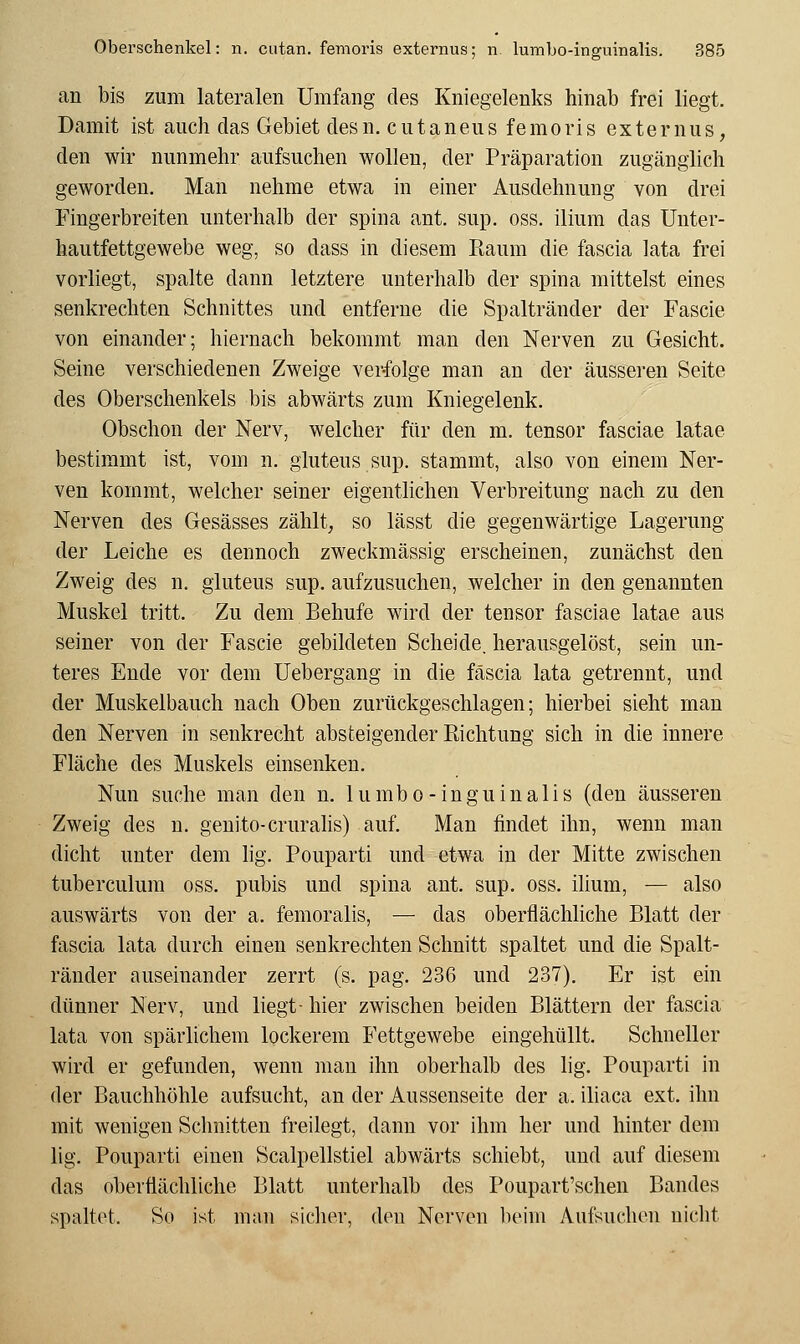 an bis zum lateralen Umfang des Kniegelenks hinab frei liegt. Damit ist auch das Gebiet desn. cutaneus femoris externus, den wir nunmehr aufsuchen wollen, der Präparation zugänglich geworden. Man nehme etwa in einer Ausdehnung von drei Fingerbreiten unterhalb der spina ant. sup, oss. ilium das Unter- hautfettgewebe weg, so dass in diesem Raum die fascia lata frei vorliegt, spalte dann letztere unterhalb der spina mittelst eines senkrechten Schnittes und entferne die Spaltränder der Fascie von einander; hiernach bekommt man den Nerven zu Gesicht. Seine verschiedenen Zweige verfolge man an der äusseren Seite des Oberschenkels bis abwärts zum Kniegelenk. Obschon der Nerv, welcher für den m. tensor fasciae latae bestimmt ist, vom n. gluteus sup. stammt, also von einem Ner- ven kommt, welcher seiner eigentlichen Verbreitung nach zu den Nerven des Gesässes zählt, so lässt die gegenwärtige Lagerung der Leiche es dennoch zweckmässig erscheinen, zunächst den Zweig des n, gluteus sup. aufzusuchen, welcher in den genannten Muskel tritt. Zu dem Behufe wird der tensor fasciae latae aus seiner von der Fascie gebildeten Scheide, herausgelöst, sein un- teres Ende vor dem Uebergang in die fäscia lata getrennt, und der Muskelbauch nach Oben zurückgeschlagen; hierbei sieht man den Nerven in senkrecht absteigender Richtung sich in die innere Fläche des Muskels einsenken. Nun suche man den n. lumbo-inguinalis (den äusseren Zweig des n. genito-cruralis) auf. Man findet ihn, wenn man dicht unter dem lig. Pouparti und etwa in der Mitte zwischen tuberculum oss. pubis und spina ant. sup. oss. ilium, — also auswärts von der a. femoralis, — das oberflächhche Blatt der fascia lata durch einen senkrechten Schnitt spaltet und die Spalt- ränder auseinander zerrt (s. pag. 236 und 237). Er ist ein dünner Nerv, und liegt- hier zwischen beiden Blättern der fascia lata von spärlichem lockerem Fettgewebe eingehüllt. Schneller wird er gefunden, wenn man ihn oberhalb des lig. Pouparti in der Bauchhöhle aufsucht, an der Aussenseite der a. iliaca ext. ihn mit wenigen Schnitten freilegt, dann vor ihm her und hinter dem lig. Pouparti einen Scalpellstiel abwärts schiebt, und auf diesem das oberflächliche Blatt unterhalb des Poupart'schen Bandes spaltet. So ist man sicher, den Nerven beim Aufsuchen nicht
