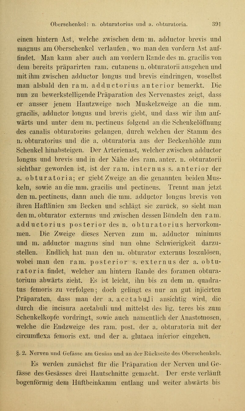 einen hintern Ast, welche zwischen dem m. adductor brevis und magnus am Oberschenkel verlaufen, wo man den vordem Ast auf- findet. Man kann aber auch am vordem Rande des m. gracilis von dem bereits präparirten ram. cutaneus n. obturatorii ausgehen und mit ihm zwischen adductor longus und brevis eindringen, woselbst man alsbald den ram. adductor ins anterior bemerkt. Die nun zu bewerkstelligende Präparation des Nervenastes zeigt, dass er ausser jenem Hautzweige noch Muskelzweige an die mm. gracilis, adductor longus und brevis giebt, und dass wir ihm auf- wärts und unter dem m. pectineus folgend au die Schenkelöffnung des canalis obturatorius gelangen, durch welchen der Stamm des n. obturatorius und die a. obturatoria aus der Beckenhöhle zum Schenkel hinabsteigen. Der Arterienast, welcher zwischen adductor longus und brevis und in der Nähe des ram. anter. n. obturatorii sichtbar geworden ist, ist der ram. internus s. anterior der a. obturatoria; er giebt Zweige an die genannten beiden Mus- keln, sowie an die mm. gracilis und pectineus. Trennt man jetzt den m. pectineus, dann auch die mm. adductor longus brevis von ihren Haftlinieu am Becken und schlägt sie zurück, so sieht man denm. obturator externus und zwischen dessen Bündeln den ram. adductorius posterior des n. obturatorius hervorkom- men. Die Zweige dieses Nerven zum m. adductor minimus und m. adductor magnus sind nun ohne Schwierigkeit darzu- stellen. Endlich hat man den m. obturator externus loszulösen, wobei man den ram. posterior s. externus der a. obtu- ratoria findet, welcher am hintern Rande des foramen obtura- torium abwärts zieht. Es ist leicht, ihn bis zu dem m. quadra- tus femoris zu verfolgen; doch gehngt es nur an gut injicirten Präparaten, dass man der a. acetabuji ansichtig wird, die durch die incisura acetabuli und mittelst des lig. teres bis zum Schenkelkopfe vordringt, sowie auch namentlich der Anastomosen, welche die Endzweige des ram. post. der a. obturatoria mit der circumilexa femoris ext. und der a. glutaea inferior eingehen. §. 2. Nerven und Gefässe am Gesäss und an der Kückseito des Olicrsclieukels. Es werden zunächst für die Präparation der Nerven und Ge- fässe des Gesässes drei Ilautschnitte gemacht. Der erste verläuft bogenförmig dem Hüftbeinkamm entlang und weiter abwärts bis