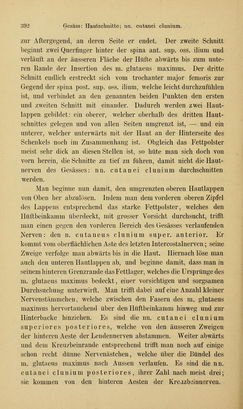 zur Aftergegend, an deren Seite er endet. Der zweite Schnitt beginnt zwei Querfinger hinter der spina aut. sup. oss. iliuni und verläuft an der äusseren Fläche der Hüfte abwärts bis zum unte- ren Rande der Insertion des m. glutaeus maximus. Der dritte Schnitt endlich erstreckt sich vom trochanter major femoris zur Gegend der spina post. sup. oss. ilium, welche leicht durchzufühlen ist, und verbindet an den genannten beiden Punkten den ersten und zweiten Schnitt mit einander. Dadurch werden zwei Haut- lappen gebildet: ein oberer, welcher oberhalb des dritten Haut- schnittes gelegen und von allen Seiten umgrenzt ist, — und ein unterer, welcher unterwärts mit der Haut an der Hinterseite des Schenkels noch im Zusammenhang ist. Obgleich das Fettpolster meist sehr dick an diesen Stellen ist, so hüte man sich doch von vorn herein, die Schnitte zu tief zu führen, damit nicht die Haut- nerven des Gesässes: nn. cutanei clunium durchschnitten werden. Man beginne nun damit, den umgrenzten oberen Hautlappen von Obeu her abzulösen. Indem man dem vorderen oberen Zipfel des Lappens entsprechend das starke Fettpolster, welches den Hüftbeinkamm überdeckt, mit grosser Vorsicht durchsucht, trifft man einen gegen den vorderen Bereich des Gesässes verlaufenden Nerven: den n. cutaneus clunium super, anterior. Er kommt vom oberflächlichen Aste des letzten Intercostaluerven; seine Zweige verfolge man abwärts bis in die Haut, Hiernach löse man auch den unteren Hautlappen ab, und beginne damit, dass man in seinem hinteren Grenzrande das Fettlager, welches die Ursprünge des m. glutaeus maximus bedeckt, einer vorsichtigen und sorgsamen Durchsuchung unterwirft. Man trifft dabei auf eine Anzahl kleiner Nervenstämmchen, welche zwischen den Fasern des m. glutaeus maximus hervortauchend über den Hüftbeinkamm hinweg und zur Hinterbacke hinziehen. Es sind die nn. cutanei clunium supcriores posteriores, welche von den äusseren Zweigen der hinteren Aeste der Leudennerven abstammen. Weiter abwärts und dem Kreu/beinrande entsprechend trifft man noch auf einige schon recht dünne Nervenästchen, welche über die Bündel des m. glutaeus maximus nach Aussen verlaufen. Es sind die nn. cutanei clunium posteriores, ihrer Zahl nach meist drei; sie kommen von den hinteren Aesten der Kreazbeinnerven,