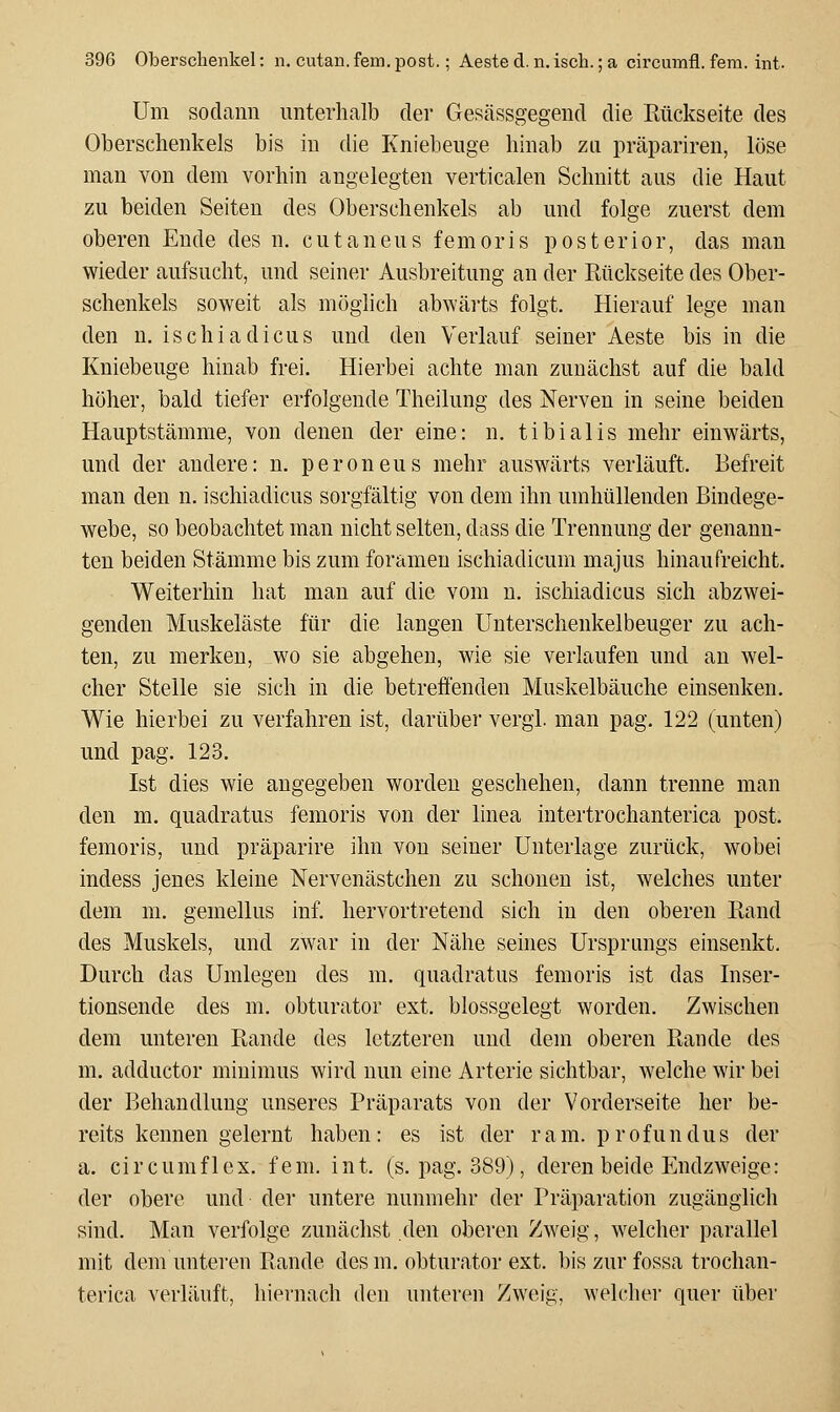 39G Oberschenkel: n. cutan. fem. post.; Aeste d. n. iscli.; a circuinfl. fem. int. Um sodann unterhalb der Gesässgegend die Rückseite des Oberschenkels bis in die Kniebeuge hinab zu präparireu, löse man von dem vorhin angelegten verticalen Schnitt aus die Haut zu beiden Seiten des Oberschenkels ab und folge zuerst dem oberen Ende des n. cutaneus femoris posterior, das man wieder aufsucht, und seiner Ausbreitung an der Rückseite des Ober- schenkels soweit als möglich abwärts folgt. Hierauf lege man den n. ischiadicus und den Verlauf seiner Aeste bis in die Kniebeuge hinab frei. Hierbei achte man zunächst auf die bald höher, bald tiefer erfolgende Theilung des Nerven in seine beiden Hauptstämme, von denen der eine: n. tibialis mehr einwärts, und der andere: n. peroneus mehr auswärts verläuft. Befreit man den n. ischiadicus sorgfältig von dem ihn umhüllenden Bindege- webe, so beobachtet man nicht selten, dass die Trennung der genann- ten beiden Stämme bis zum foramen ischiadicum majus hinaufreicht. Weiterhin hat man auf die vom n. ischiadicus sich abzwei- genden Muskeläste für die langen Unterschenkelbeuger zu ach- ten, zu merken, wo sie abgehen, wie sie verlaufen und au wel- cher Stelle sie sich in die betreffenden Muskelbäuche einsenken. Wie hierbei zu verfahren ist, darüber vergl. man pag. 122 (unten) und pag, 123. Ist dies wie angegeben worden geschehen, dann trenne man den m. quadratus femoris von der linea intertrochanterica post. femoris, und präparire ihn von seiner Unterlage zurück, wobei indess jenes kleine Nervenästchen zu schonen ist, welches unter dem m. gemellus inf. hervortretend sich in den oberen Rand des Muskels, und zwar in der Nähe seines Ursprungs einsenkt. Durch das Umlegen des m. quadratus femoris ist das Inser- tionsende des m. obturator ext. blossgelegt worden. Zwischen dem unteren Rande des letzteren und dem oberen Rande des m. adductor minimus wird nun eine Arterie sichtbar, welche wir bei der Behandlung unseres Präparats von der Vorderseite her be- reits kennen gelernt haben: es ist der ram. profundus der a. circumflex, fem, int, (s, pag. 389), deren beide Endzweige: der obere und der untere nunmehr der Präparation zugänglich sind. Man verfolge zunächst den oberen Zweig, welcher parallel mit dem unteren Rande des m, obturator ext, bis zur fossa trochan- terica verläuft, hiernach den unteren Zweig, welcher quer über
