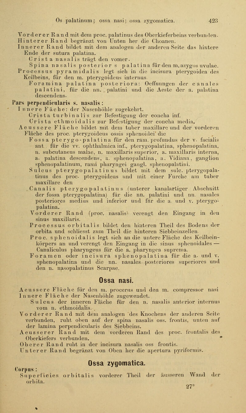 Vorderer Rand mit dem proc. palatinus des Oberkieferbeins verbnn<len. Hinterer Rand begränzt von Unten her die Clioanen. Innerer Rand bildet mit dem analogen der anderen Seite das hintere Ende der sutura palatina. (J r i s t a n a s a, 1 i s trägt den vomer. Spina nasalis posterior s palatina für den m. azygos uvulae. Processus pyramidalis legt sich in die iucisura pterygoidea des Keilbeins, für den rn. pterj'goideuy internus. Foramina palatina posteriora: Oeifnnngen der c anales palatini, für die nn. palatini und die Aeste der a. palatina descendens. Pars perpendicnlai'is s. nasjilis: T nnere Fache: der Nasenhöhle zugekehrt. Crista turbinalis zur Befestigung der concha inf. Crista ethmoidalis zur Befestigung der concha media. Aeussere Fläche bildet mit dem tuber maxillare und der vorderen Fläche des proc. pterygoideus ossis sphenoidei' die Fossa pterygo-palatina für den ram. profundus der v. facialis ant.. für die vv. ophthalmica inf., pterygopalatina, sphenopalatina, n. snbcutaneus malae, n. maxillaris superior, a. raaxillaris interna, a. palatina descendens, a. sphenopalatina, a. Vidiana, ganglion sphenopalafcinum, rami pharyngei gaiigl. sphenopalatini. Sulcus pterygo 13 alat in US bildet mit dem sulc. pterygopala- tinus des proc pterygoideus und mit einer Furche am tuber maxillare den .Canalis pterygopalatinus (unterer kanalartiger Abschnitt der fossa pterygopalatina) für die nn. palatini und nn. nasales posteriores medius und inferior und für die a. und v. pterygo- palatina. Vorderer Rand (proc. nasalis^ verengt den Eingang in den sinus maxillaris. Processus orbitalis bildet den hinteren Theil des Bodens der orbita und schliesst zum Theil die hinteren Siebbeinzellen. Proc. sphenoidalis legt sich an die untere Fläche des Keilbein- körpers an und verengt den Eingang in die sinus sphenoidales — Ganaliculns pharyngeus für die a. pharyngea suprema. F o r a ni e n oder incisiira sphenopalatina für die a. und v. sphenopalatina und die nn. nasales posteriores superiores und den n. nasopalatinus Scarpae. Ossa nasi. Aeussere Fläche für den m. procerus und deu m. compressor nasi Innere Fläche der Nasenhöhle zugewendet. Sulcus der inneren Fläche für den n. nasalis anterior internus vom n. ethmoidalis. Vorderer Rand mit dem analugen des Knochens der anderen Seite verbunden, ruht oben auf der spina nasalis oss. frontis, unten auf der lamina perpendicularis des Siebbeins. Aeusserer Rand mit dem vorderen Rand des proc. frontalis des Oberkiefers verbunden.  Oberer Rand ruht in der iucisura nasalis oss frontis. Unterer Rand begränzt von Oben her die apertura pyriformis. Ossa zygomatica. Corpus : Superficies orbitalis vorderer Theil der äusseren Wand der orbita. 27*