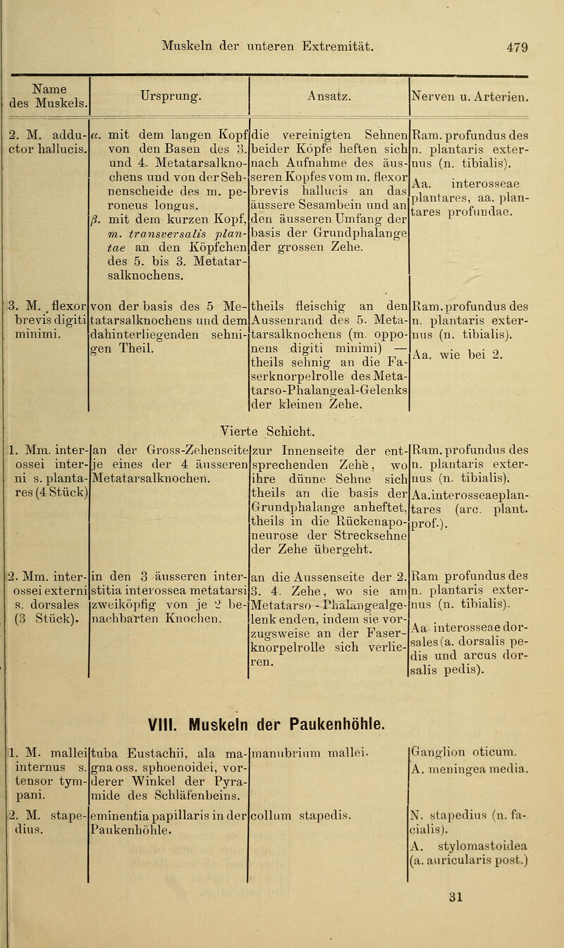 Name des Muskels. Ursprung. Ansatz. Nerven u. Arterien. 2. M. addu- ctor hallucis. 3. M. ,flexor brevis digiti minimi. a. mit dem langen Kopf von den Basen des 8. und 4. Metatarsalkno- chens und von der Seh- nenscheide des m. pe- roneus longus. ß. mit dem kurzen Kopf, m. transversalis plan- tae an den Köpfchen des 5. bis 3. Metatar- salknochens. von der basis des 5 Me- tatarsalknochens und dem dahinterliegenden sehni gen Theil. die vereinigten Sehnen beider Köpfe heften sich nach Aufnahme des aus seren Kopfes vom m. flexor brevis hallucis an das äussere Sesambein und an den äusseren Umfang der basis der Grundphalange der grossen Zehe. theils fleischig an den Aussenrand des 5. Meta tarsalknochens (m. oppo- nens digiti minimi) — theils sehnig an die Fa serknorpelrolle des Meta tarso-Phalangeal-Gelenks der kleinen Zehe. Rara. profundus des n. plantaris exter- nus (n. tibialis). Aa. interosseae plantares, aa. plan- tares profundae. Ram. profundus des n. plantaris exter- nus (n. tibialis). Aa. wie bei 2. 1. Mm. inter- ossei inter ni s. planta- res (4 Stück) i2. Mm. inter- ossei externi R. dorsales (3 Stück). Vierte Schicht an der Gross-Zehenseite je eines der 4 äusseren Metatarsalknochen. in den 3 äiisseren inter- stitia interossea metatarsi zweiköpfig von je '2 be- nachbarten Knochen. zur Innenseite der ent- sprechenden Zehe, wo ihre dünne Sehne sich theils an die basis der Grundphalange anheftet, theils in die Rückenapo- neurose der Strecksehne der Zehe übergeht. an die Aussenseite der 2. 4. Zehe, wo sie am Metatarso - Thalarigealge- lenk enden, indem sie vor- zugsweise an der Faser- knorpelrolle sich verlie- VIII. Muskeln der Paukenhöhle. 1. M. mallei internus s. tensor tym- pani. 2. M. stape- dius. tuba Eustachi], ala ma gnaoss. sphoenoidei, vor derer Winkel der Pyra- mide des Schläfenbeins eminentia papillaris in der Paukenhöhle. manubrinm mallei- Collum stapedif^ Ram. profundus des n. plantaris exter- nus (n. tibialis). Aa.interosseaeplan- tares (arc. plant, prof.). Ram profundus des n. plantaris exter- nus (n. tibialis). Aa interosseae dor- sales (a. dorsalis pe- dis und arcus dor- salis pedis). Ganglion oticum. A. rneuino-ea media. N. stapedius (n. fa- cialis). A. stylomastoidea (a. auricularis post.) 31