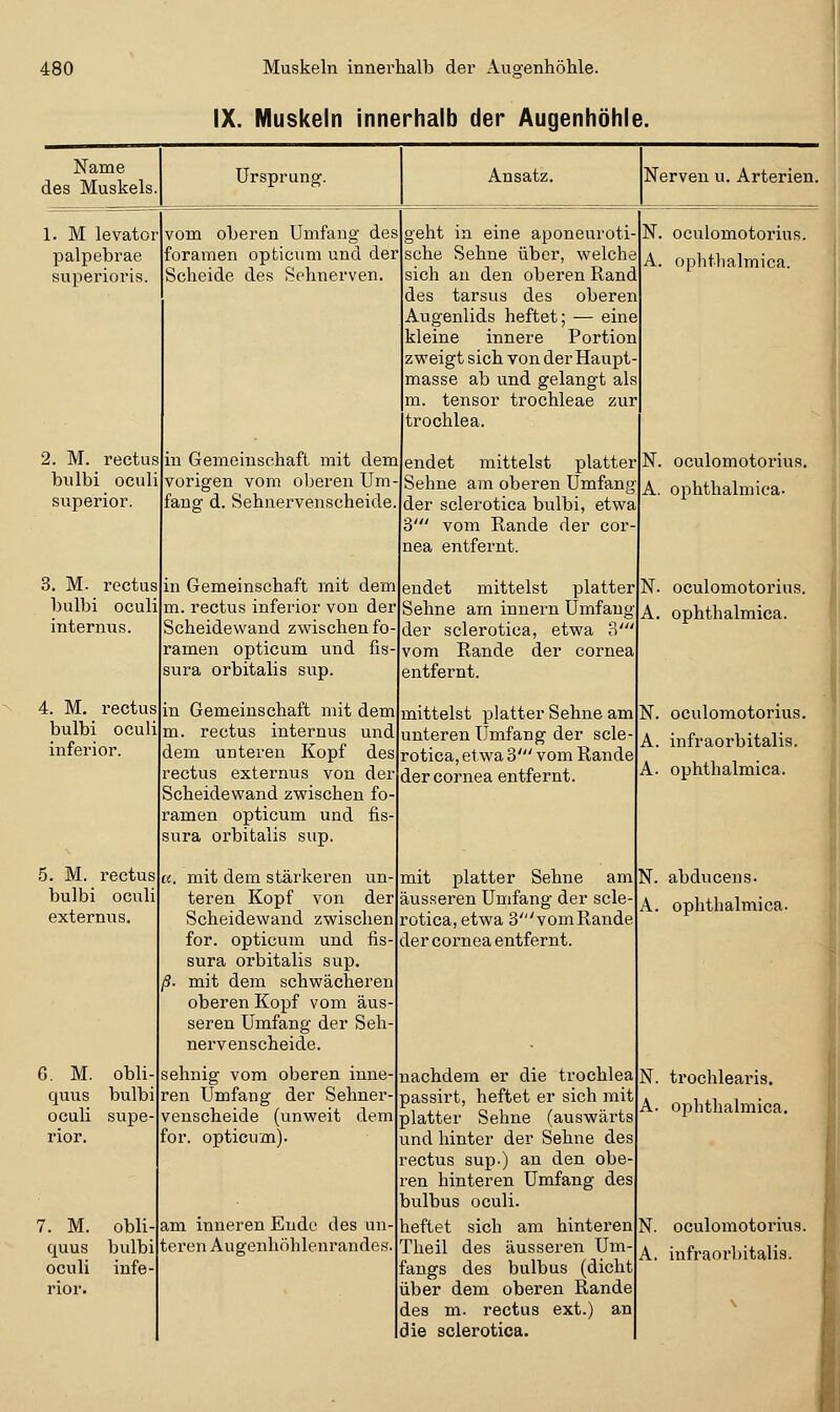 IX. Muskeln Innerhalb der Augenhöhle. Name des Muskels. Ursprung. Ansatz. Nerven u. Arterien. 1. M levator palpebrae superioris. vom oberen Umfang des foraraen opticiini und der Scheide des Sehnerven 2. M. rectus bulbi oculi superior. in Gemeinschaft mit dem vorigen vom oberen Um fansf d. Sehnervenscheide 3. M. rectus bulbi oculi internus. 4. M. rectus bulbi oculi inferior. 5. M. rectus bulbi oculi externus. G. M. obli- quus bulbi oculi supe- rior. 7. M. obli- quus bulbi oculi infe- rior. in Gemeinschaft mit dem m. rectus inferior von der Scheidewand zwischen fo ramen opticum und fis- sura orbitalis sup. in Gemeinschaft mit dem m. rectus internus und dem unteren Kopf des rectus externus von der Scheidewand zwischen fo- ramen opticum und fis- sura orbitalis sup. «. mit dem stärkeren un- teren Kopf von der Scheidewand zwischen for. opticum und fis- sura orbitalis sup. ß. mit dem schwächeren oberen Kopf vom äus- seren Umfang der Seli- nervenscheide. sehnig vom oberen inne- ren Umfang der Sehner- venscheide (unweit dem for. opticum). am inneren Ende des un- teren Augenhöhlenrandes. geht in eine aponeuroti sehe Sehne über, welch« sich an den oberen Rand des tarsus des oberen Augenlids heftet; — eine kleine innere Portion zweigt sich von der Haupt masse ab und gelangt als m. tensor trochleae zur trochlea. endet mittelst platter Sehne am oberen Umfang der sclerotica bulbi, etwa 3' vom Rande der cor nea entfernt. endet mittelst platter Sehne am Innern Umfang der sclerotica, etwa 3' vom Rande der Cornea entfernt. mittelst platter Sehne am unteren Umfang der scle rotica, etwa 3' vom Rande der Cornea entfernt. mit platter Sehne am äusseren Umfang der scle- rotica, etwa 3' vom Rande der Cornea entfernt. nachdem er die trochlea passirt, heftet er sich mit platter Sehne (auswärts und hinter der Sehne des rectus sup.) an den obe- ren hinteren Umfang des bulbus oculi. heftet sich am hinteren Theil des äusseren Um- fangs des bulbus (dicht über dem oberen Rande des m. rectus ext.) an die sclerotica. N. oculomotorius. A. ophthalmica. N. oculomotorius. A. ophthalmica. N. oculomotorius. A. ophthalmica. N. oculomotorius. A. infraorbitalis. A. ophthalmica. abducens. ophthalmica. trochlearis. ojohtbalmica. oculomotorius. infraorbitalis.