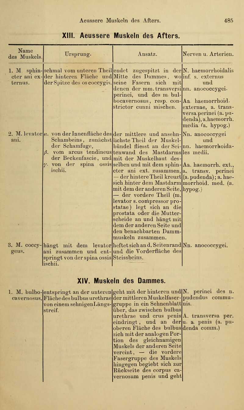 Aeussere Muskeln des Afters. XIII. Aeussere Muskeln des Afters. 485 Name des Muskels Ansatz. Nerven u. Arterien, 1. M, sphin- cter ani ex ternus. schmal vom unteren Theil der hinteren Fläche und der Spitze des oscoccygis. 2. M. levator ani. a. von der Innenfläche des Schambeins, zunächst der Schamfuge, /?. vom arcus tendineus der Beckenfascie, und y- von der spina os; ischii. 3. M. coccy- geus. hängt mit dem levator ani zusammen und ent- springt von der spina ossis ischii. endet zugespitzt in der Mitte des Dammes, wo seine Fasern sich mit denen der mm. transversi perinei, und des ni. bul- bocavernosus, resp. con- strictor cunni mischen. der mittlere und ansehn- lichste Theil der Muskel- bündel fliesst an der Sei- tenwand des Mastdarms mit der Muskelhaut des- selben und mit dem sphin- cter ani ext. zusammen, der hintere Theil kreuzt sich hinter dem Mastdarm mit dem der anderen Seite, — der vordere Theil (m. levator s. compressor pro- statae) legt sich an die prostata oder die Mutter- scheide an und hängt mit dem der anderen Seite und den benachbarten Damm- muskeln zusammen, heftet sich an d. Seitenrand und die Vorderfläche des Steissbeins. N. haemorrhoidalis inf s. externus und nn. anococcygei. Aa. haemorrhoid- externae, a. trans- versa perinei (a. pu- denda), a.haemorrh. media ''a. hypog.) Nn. anococcygei und nn. haemorrhoida- les medii. Aa. haemorrh. ext., a. transv. perinei (a. pudenda); a. hae- morrhoid. med. (a. hypog.) Nn. anococcygei. XIV. Muskeln des Dammes. 1. M. bulbo- cavernosus, entspringt an der unteren Fläche des bulbus urethrae von einem sehnigenLängs- streif. geht mit der hinteren und der mittlerenMuskelfaser- gruppe in ein Sehnenblatt über, das zwischen bulbus urethrae und crus penis eindringt, und an der oberen Fläche des bulbus ich mit der analogen Por- tion des gleichnamigen Muskels der anderen Seite vereint, — die vordere Fasergruppe des Muskels hingegen begiebt sich zur Rückseite des corpus ca- vernosum penis und geht N. perinei dos n. pudendus commu- nis. A. transversa per. u. a. penis (a. pu- denda comm.)