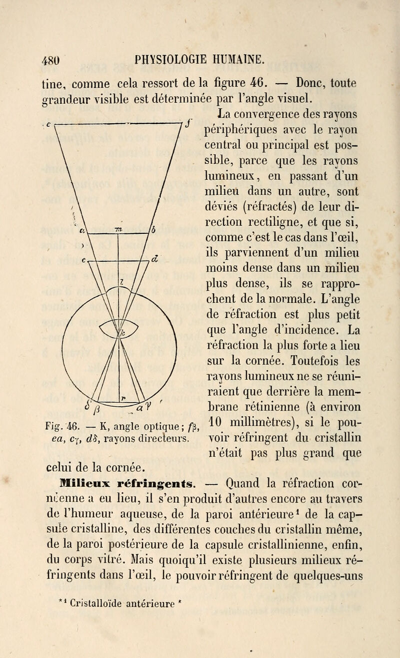 tine, comme cela ressort de la figure 46. — Done, toute grandeur visible est determinee par Tangle visuel. La convergence des rayons peripheriques avec le rayon central ou principal est pos- sible, parce que les rayons lumineux, en passant d'un milieu dans un autre, sont devies (refractes) de leur di- rection rectiligne, et que si, comme e'est le cas dans l'ceil, ils parviennent d'un milieu moins dense dans un milieu plus dense, ils se rappro- chent delanormale. L'angle de refraction est plus petit que Tangle d'incidence. La refraction la plus forte a lieu sur la cornee. Toutefois les rayons lumineux ne se reuni- raient que derriere la mem- brane retinienne (a environ 10 millimetres), si le pou- voir refringent du cristallin n'etait pas plus grand que — Quand la refraction cor- Fig. 46. — K, angle optique; /p, ea, c-(, d$, rayons directeurs. celui de la cornee. Milieux refringents. ncenne a eu lieu, il s'en produit d'autres encore au travers de Thumeur aqueuse, de la paroi anterieure1 de la cap- sule cristalline, des differentes couches du cristallin meme, de la paroi posterieure de la capsule cristallinienne, enfin, du corps vilre. Mais quoiqu'il existe plusieurs milieux re- fringents dans l'ceil, le pouvoir refringent de quelques-uns *d Cristallo'ide anterieure