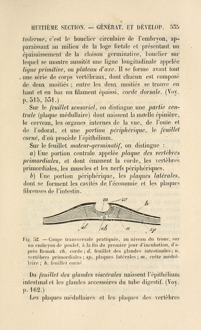 toderme, c'est le bouclier circulaire de l'embryon, ap- paraissant au milieu de la loge foetale et presentant, un epaississement de la cloison germinative, bouclier sur lequel se montre aussitot une ligne longiludinale appelee ligne primitive, ou plateau d'axe. II se forme avant tout une serie de corps vertebraux, dont chacun est compose de deux moities ; entre les deux moities se trouve en haut et en bas un filament epaissi, corde dor sale. (Voy. p. 515, 551.) Sur le feuillet sensoriel, on distingue une partie cen- trale (plaque medullaire) dont naissent la maelle epiniere, le cerveau, les organes internes de la vue, de Fouie et de l'odorat, et une portion peripherique, le feuillet come, d'ou procede repithelium. Sur le feuillet moteur-germinatif, on distingue : a) Une portion centrale appelee plaque des veriebres primordiales, et dont emanent la corde, les vertebres primordiales, les muscles et les nerfs peripheriques. b) Une portion peripherique, les plaques laierales, dont se forment les cavites de l'economie et les plaques fibreuses de l'intestin. Fig. .i2. — Coupe transversale pratiquee, au niveau du trouc, sur un eniluyon de poulef, a la fin du premier jour d'incubation, d'a- pres Remak. ch, corde ; d, feuillet des glandes intestinales; «, vertebres primordiales; s;;, plaques laterales ; m, erete medul- laire ; h, feuillet conn''. Du feuillet des glandes viscerales naissent repithelium intestinal el les glandes accessoires du tube digestif. (Voy. p. m.) Les plaques medullaires et les plaques des vertebres