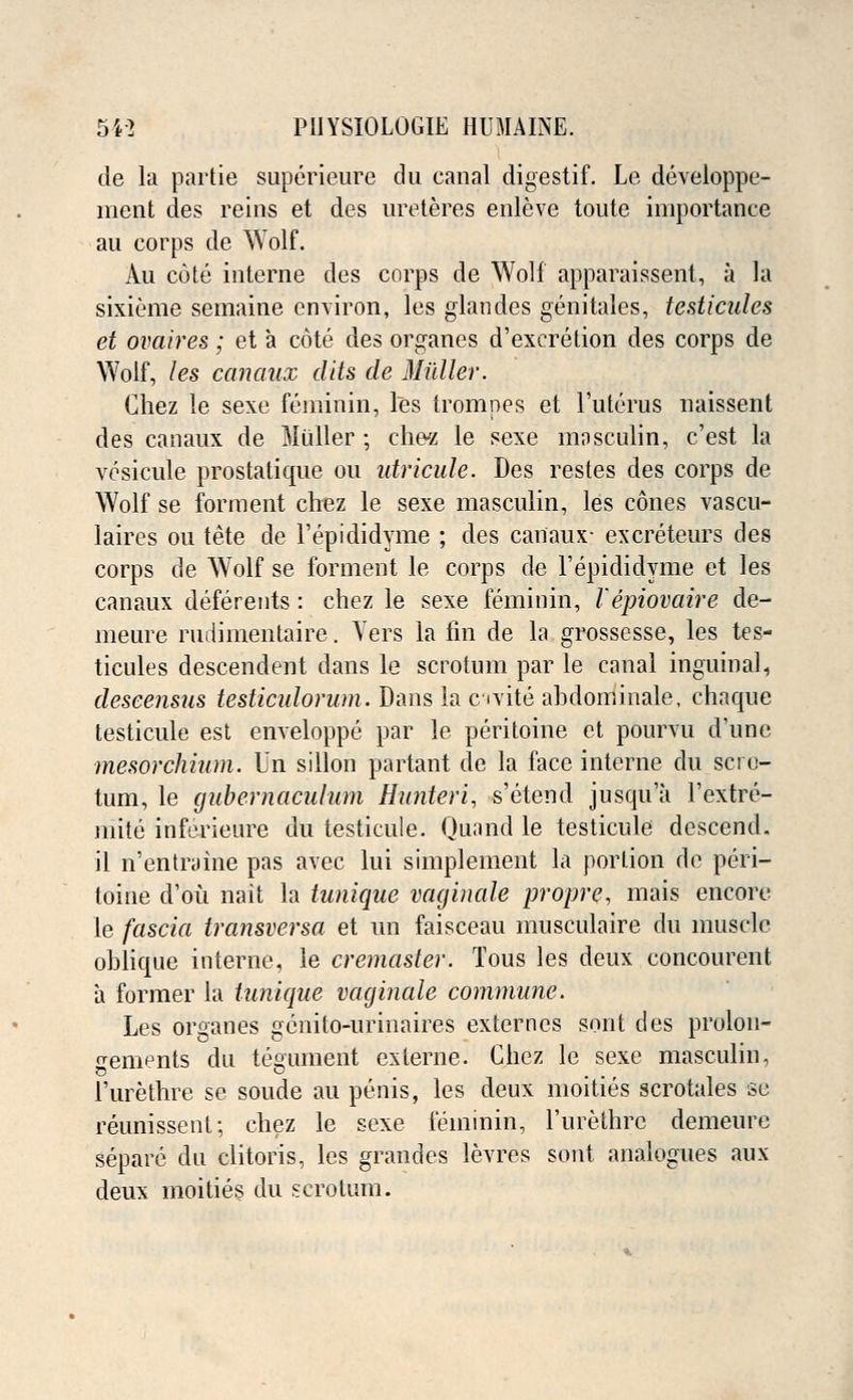 de la par tie superieure du canal digestif. Le developpe- ment des reins et des ureteres enleve toute importance au corps de Wolf. Au cote interne des corps de Wolf apparaissent, a la sixieme semaine environ, les glandes genitales, testicules et ovaires; et a cote des organes d'exeretion des corps de Wolf, les canaux dits de Miiller. Chez le sexe feminin, les trompes et l'uterus naissent des canaux de Miiller ; chez le sexe masculin, c'est la vcsicule prostatique ou utricule. Des restes des corps de Wolf se forraent chez le sexe masculin, les cones vascu- laires on tete de l'epididyme ; des canaux- excreteurs des corps de Wolf se forment le corps de l'epididyme et les canaux deferents : chez le sexe feminin, Vepiovaire de- meure rudimentaire. Vers la fin de la grossesse, les tes- ticules descendent dans le scrotum par le canal inguinal, descensus testiculorum. Dans la c ivite abdominale, chaque testicule est enveloppe par le peritoine et pourvu d'une mesorchium. Un sillon partant de la face interne du scro- tum, le gubernaculum Hiinteri, s'etend jusqua l'extre- mite inferieure du testicule. Quand le testicule descend, il n'entraine pas avec lui simplement la portion de peri- toine d'ou nait la tunique vagihale propre, mais encore le fascia transversa et un faisceau musculaire du muscle oblique interne, le cremaster. Tous les deux concourent a former la tunique vaginale commune. Les organes gcnito-urinaires externcs sont des prolon- ^ements du tegument exlerne. Chez le sexe masculin, I'urethre se sonde au penis, les deux moities scrotales se reunissent; chez le sexe feminin, I'urethre demeure separe du clitoris, les grandes levres sont analogues aux deux moities du scrotum.