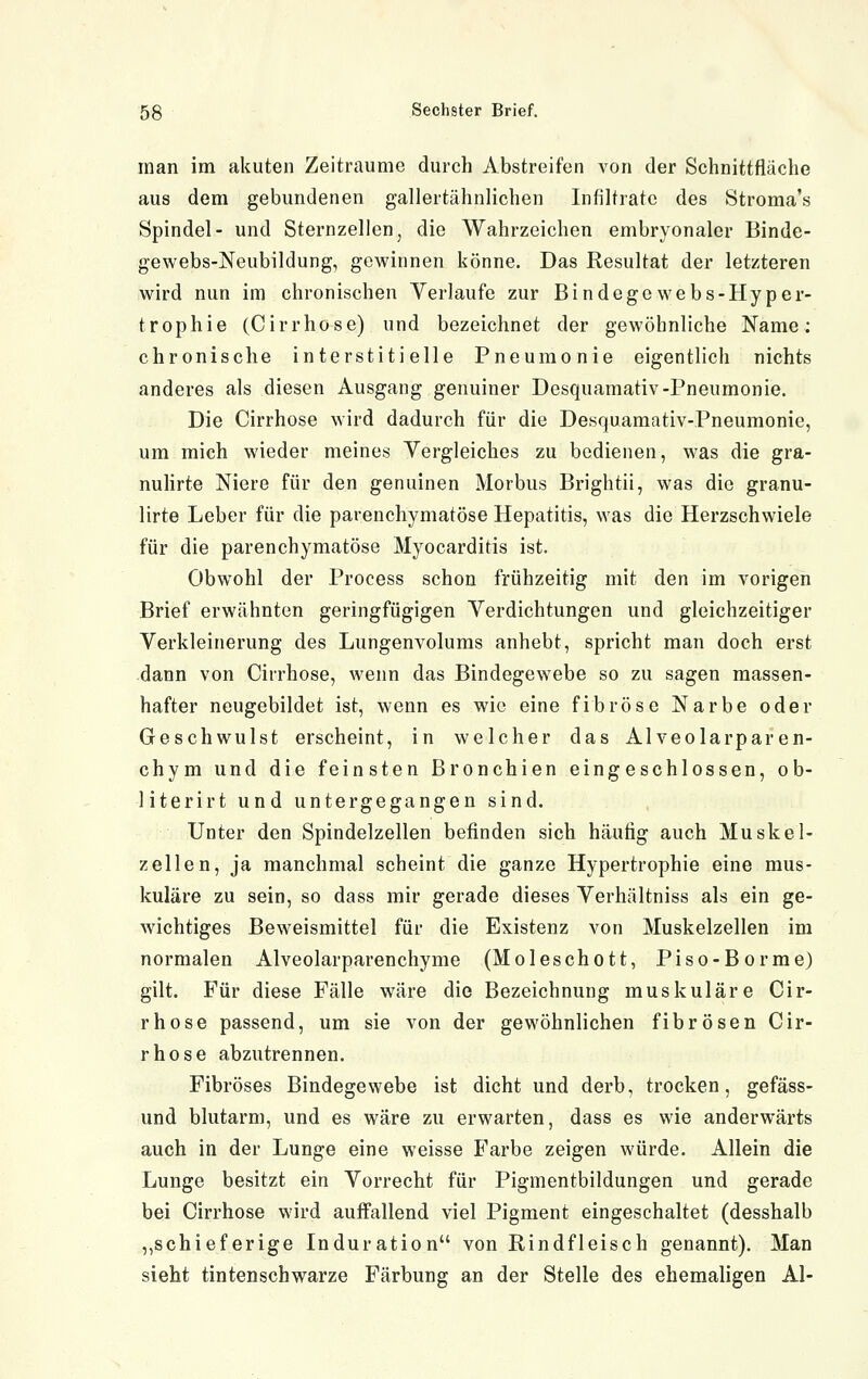 man im akuten Zeiträume durch Abstreifen von der Schnittfläche aus dem gebundenen gallertähnlichen Intihratc des Stroma's Spindel- und Sternzellen, die Wahrzeichen embryonaler Binde- gewebs-Neubildung, gewinnen könne. Das Resultat der letzteren wird nun im chronischen Yerlaufe zur Bindegewebs-Hyper- trophie (C irr hose) und bezeichnet der gewöhnliche Name: chronische interstitielle Pneumonie eigentlich nichts anderes als diesen Ausgang genuiner Desquamativ-Pneumonie. Die Cirrhose wird dadurch für die Desquamativ-Pneumonie, um mich wieder meines Vergleiches zu bedienen, was die gra- nulirte Niere für den genuinen Morbus Brightii, was die granu- lirte Leber für die parenchymatöse Hepatitis, was die Herzschwiele für die parenchymatöse Myocarditis ist. Obwohl der Process schon frühzeitig mit den im vorigen Brief erwähnten geringfügigen Verdichtungen und gleichzeitiger Verkleinerung des Lungenvolums anhebt, spricht man doch erst dann von Cirrhose, wenn das Bindegewebe so zu sagen massen- hafter neugebildet ist, wenn es wie eine fibröse Narbe oder Geschwulst erscheint, in welcher das Alveolarparen- chym und die feinsten Bronchien eingeschlossen, ob- literirt und untergegangen sind. Unter den Spindelzellen befinden sich häufig auch Muskel- zellen, ja manchmal scheint die ganze Hypertrophie eine mus- kuläre zu sein, so dass mir gerade dieses Verhältniss als ein ge- wichtiges Beweismittel für die Existenz von Muskelzellen im normalen Alveolarparenchyme (Moleschott, Piso-Borme) gilt. Für diese Fälle wäre die Bezeichnung muskuläre Cir- rhose passend, um sie von der gewöhnlichen fibrösen Cir- rhose abzutrennen. Fibröses Bindegewebe ist dicht und derb, trocken, gefäss- und blutarm, und es wäre zu erwarten, dass es wie anderwärts auch in der Lunge eine weisse Farbe zeigen würde. Allein die Lunge besitzt ein Vorrecht für Pigmentbildungen und gerade bei Cirrhose wird auffallend viel Pigment eingeschaltet (desshalb ,,schieferige Induration von Rindfleisch genannt). Man sieht tintenschwarze Färbung an der Stelle des ehemaligen AI-