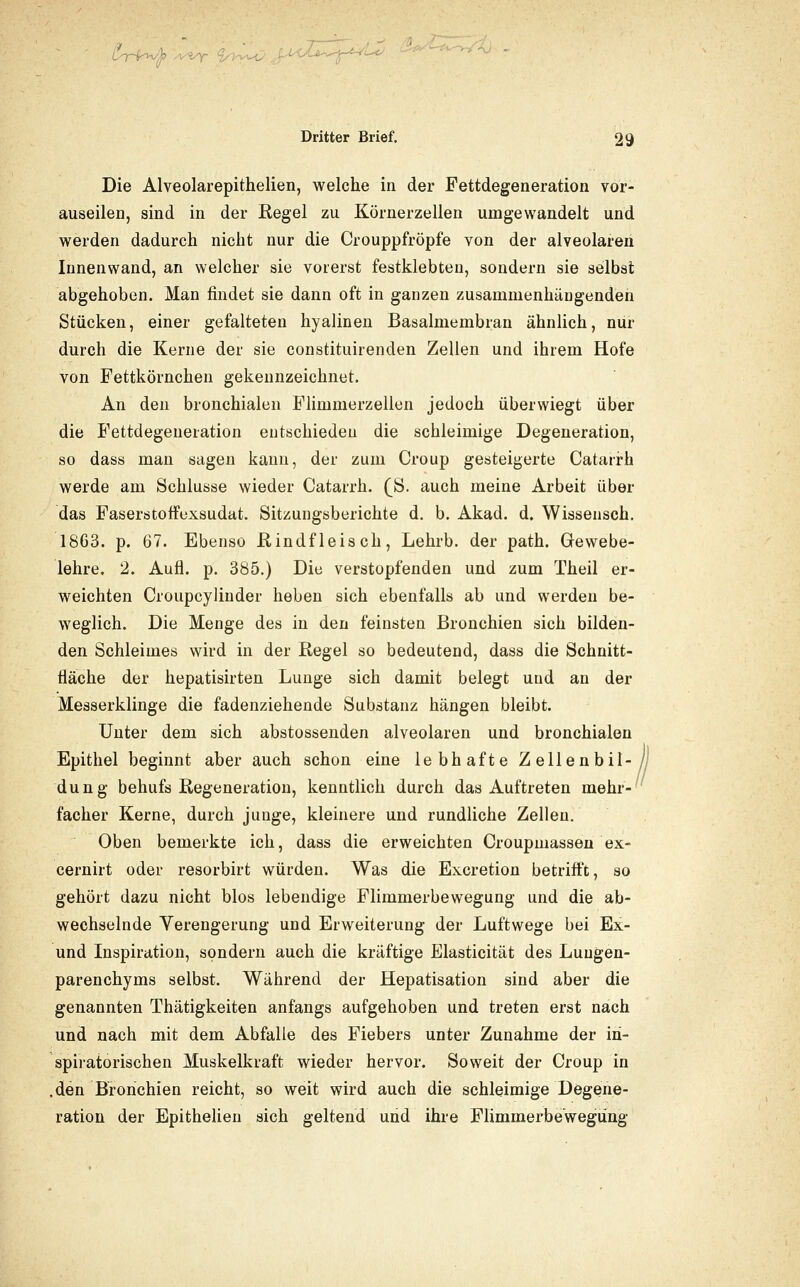 L-7-W^ >5^ ^lA^<^ ,f.i^<ZZC-^--<^tc/ =- Dritter Brief. 29 Die Alveolarepithelien, welche in der Fettdegeneration vor- auseilen, sind in der Regel zu Körnerzellen umgewandelt und werden dadurch nicht nur die Crouppfröpfe von der alveolaren Innenwand, an welcher sie vorerst festklebten, sondern sie selbst abgehoben. Man findet sie dann oft in ganzen zusammenhängenden Stücken, einer gefalteten hyalinen Basalmembran ähnlich, nur durch die Kerne der sie constituirenden Zellen und ihrem Hofe von Fettkörnchen gekennzeichnet. An den bronchialen Flimmerzellen jedoch überwiegt über die Fettdegeneration entschieden die schleimige Degeneration, so dass man sagen kann, der zum Croup gesteigerte Catarrh werde am Schlüsse wieder Catarrh. (^S. auch meine Arbeit über das Faserstoffexsudat. Sitzungsberichte d. b. Akad. d. Wissensch. 1863. p. 67. Ebenso Rindfleisch, Lehrb. der path. Gewebe- lehre. 2. Aufl. p. 385.) Die verstopfenden und zum Theil er- weichten Croupcylinder heben sich ebenfalls ab und werden be- weglich. Die Menge des in den feinsten Bronchien sich bilden- den Schleimes wird in der Regel so bedeutend, dass die Schnitt- fläche der hepatisirten Lunge sich damit belegt und an der Messerklinge die fadenziehende Substanz hängen bleibt. Unter dem sich abstossenden alveolaren und bronchialen Epithel beginnt aber auch schon eine lebhafte Zellenbil- dung behufs Regeneration, kenntlich durch das Auftreten mehr- facher Kerne, durch junge, kleinere und rundliche Zellen. Oben bemerkte ich, dass die erweichten Croupmassen ex- cernirt oder resorbirt würden. Was die Excretion betrifft, so gehört dazu nicht blos lebendige Flimmerbewegung und die ab- wechselnde Verengerung und Erweiterung der Luftwege bei Ex- und Inspiration, sondern auch die kräftige Elasticität des Lungen- parenchyms selbst. Während der Hepatisation sind aber die genannten Thätigkeiten anfangs aufgehoben und treten erst nach und nach mit dem Abfalle des Fiebers unter Zunahme der in- spiratorischen Muskelkraft wieder hervor. Soweit der Croup in .den Bronchien reicht, so weit wird auch die schleimige Degene- ration der Epithelien sich geltend und ihre Flimmerbewegüng